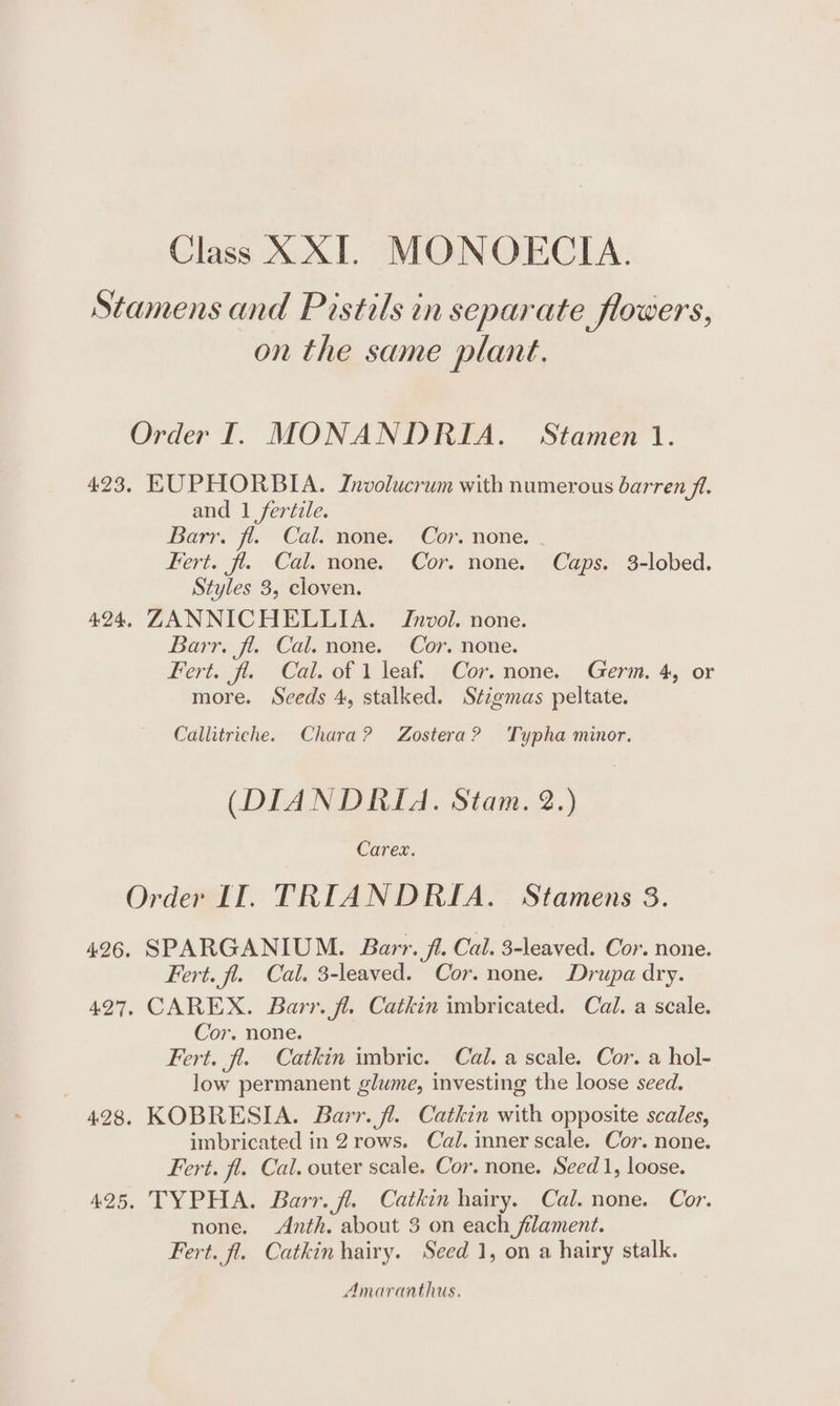 Stamens and Pistils in separate flowers, on the same plant. Order I. MONANDRIA. Stamen 1. 423, EUPHORBIA. Jnvolucrum with numerous barren fl. and 1 fertile. Barr. fl. Cal.taene,- “Cor. none. Fert. fl. Cal. none. Cor. none. Caps. 3-lobed. Styles 3, cloven. 494, ZANNICHELLIA. Jnvol. none. Barr. fl. Cal. none. Cor. none. Pert: Cai. of J leat. »Cor. movie. Germ. 4, or more. Seeds 4, stalked. Stzgmas peltate. Callitriche. Chara? Zostera? Typha minor. (DIANDRKIA. Stam. 2.) Carex. Order IT. TRIANDRIA. Stamens 8. 426. SPARGANIUM. Barr. 7i. Cal. 3-leaved. Cor. none. Fert. fl. Cal. 3-leaved. Cor. none. Drupa dry. 427, CAREX. Barr. fl. Cathkin imbricated. Cal. a scale. Cor. none. Fert. fl. Catkin imbric. Cal. a scale. Cor. a hol- low permanent glume, investing the loose seed. 428. KOBRESIA. Barr. fl. Catkin with opposite scales, imbricated in 2 rows. Cal. inner scale. Cor. none. Fert. fl. Cal. outer scale. Cor. none. Seed 1, loose. 425. TYPHA. Barr. fl. Catkin hairy. Cal. none. Cor. none. Anth. about 3 on each filament. Fert. fl. Cathkin hairy. Seed 1, on a hairy stalk. Amaranthus.