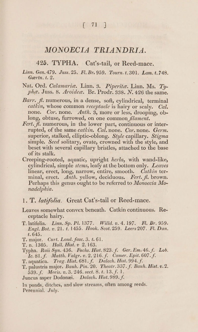 etd.) MONOECIA TRIANDRIA. 425. TYPHA. Cat’s-tail, or Reed-mace. Linn. Gen. 479. Juss. 25, Fl. Br. 959. Tourn. t.301. Lam. t.748. Gertn. t. 2. Nat. Ord. Calamarie. Linn. 3. Piperite. Linn. Ms. Ty- phe. Juss. 8. Aroidee. Br. Prodr. 338. N. 426 the same. Barr, fl. numerous, in a dense, soft, cylindrical, terminal catkin, whose common receptacle is hairy or scaly. Cal. none. Cor. none. Anh. 3, more or less, drooping, ob- long, obtuse, furrowed, on one common, filament. Fert. fl. numerous, in the lower part, continuous or inter- rupted, of the same cathin. Cal.none. Cor.none. Germ. superior, stalked, elliptic-oblong. Style capillary. Stigma simple. Seed solitary, ovate, crowned with the style, and beset with several capillary bristles, attached to the base of its stalk. Creeping-rooted, aquatic, upright herbs, with wand-like, cylindrical, simple stems, leafy at the bottom only. Leaves linear, erect, long, narrow, entire, smooth. Cathkin ter- minal, erect. Anth. yellow, deciduous. Fert. fl. brown. Perhaps this genus ought to be referred to Monoecia Mo- nadelphia. 1. T. latifolia. Great Cat’s-tail or Reed-mace. Leaves somewhat convex beneath. Catkin continuous. Re-- ceptacle hairy. T. latifolia. Linn. Sp. Pl.1377. Willd. v. 4.197. Fl. Br. 959. Engl. Bot. v.21. ¢. 1455. Hook. Scot.259. Leers 207. Fl. Dan. t.645. T. major. Curt. Lond. fase. 3. t. 61. Tot. ol 305;,; 2 Hall.cEhsizw &lt;2: 163. Typha. Rati Syn. 436. Fuchs. Hist. 823. f. Ger. Em. 46, f. Lob. Ic. 81. f. Matth. Valgr. v. 2.216. f. Camer. Epit. 607. f. T. aquatica. Trag. Hist. 681. f. Dalech. Hist. 994. f. T. palustris major. Bauh, Pin. 20. Theair.337. f. Bauh. Hist. v.2. 539. f. Moris. v. 3. 246. sect. 8. t. 13, f. 1. Juncus asper Dodonei. Dalech. Hist.989. /f. In ponds, ditches, and slow streams, often among reeds. Perennial. July.