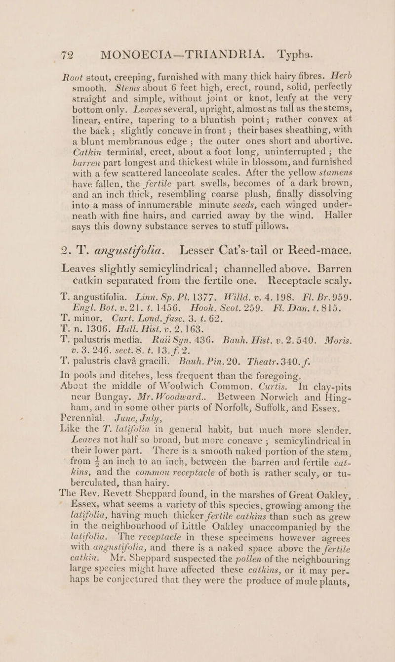 Root stout, creeping, furnished with many thick hairy fibres. Herb smooth. Stems about 6 feet high, erect, round, solid, perfectly straight and simple, without joint or knot, leafy at the very bottom only. Leaves several, upright, almost as tall as the stems, linear, entire, tapering to a bluntish point; rather convex at the back; slightly concave in front ; their bases sheathing, with a blunt membranous edge ; the outer ones short and abortive. Catkin terminal, erect, about a foot long, uninterrupted ; the barren part longest and thickest while in blossom, and furnished with a few scattered lanceolate scales. After the yellow stamens have fallen, the fertile part swells, becomes of a dark brown, and an inch thick, resembling coarse plush, finally dissolving into a mass of innumerable minute seeds, each winged under- neath with fine hairs, and carried away by the wind. Haller says this downy substance serves to stuff pillows. ee. angustifolia. Lesser Cat’s-tail or Reed-mace. Leaves slightly semicylindrical; channelled above. Barren catkin separated from the fertile one. Receptacle scaly. T. angustifolia. Linn. Sp. Pl.1377. Willd. v. 4.198. Fl. Br.959. Engl. Bot. v.21. ¢.1456. Hook. Scot. 259, TH. Dan. t. 815. ‘Temimer, Curt. Lond. fase. 354.62. T.n..1306. Hall. Fist, 0.2. 163. T. palustris media. Raii Syn. 436. Bauh. Hist. v.2.540. Moris. 03.240. sect. 8.'t. 13.9% 2. T. palustris clava gracili. Bauh. Pin. 20. Theatr.340. f. In pools and ditches, less frequent than the foregoing. About the middle of Woolwich Common. Curtis. In clay-pits near Bungay. Mr. Woodward.. Between Norwich and Hing- ham, and in some other parts of Norfolk, Suffolk, and Essex. Perennial. June, July, Like the T. latifolia in general habit, but much more slender. Leaves not half so broad, but more concave ; semicylindrical in their lower part. ‘There is a smooth naked portion of the stem, from 4 an inch to an inch, between the barren and fertile cat- kins, and the common receptacle of both is rather scaly, or tu- berculated, than hairy. The Rev. Revett Sheppard found, in the marshes of Great Oakley, | Essex, what seems a variety of this species, growing among the latifolia, having much thicker fertile catkins than such as grew in the neighbourhood of Little Oakley unaccompanied by the latifolia. ‘The recepiacle in these specimens however agrees with angustifolia, and there is a naked space above the fertile catkin. Mr. Sheppard suspected the pollen of the neighbouring large species might have affected these catkins, or it may per- haps be conjectured that they were the produce of mule plants,