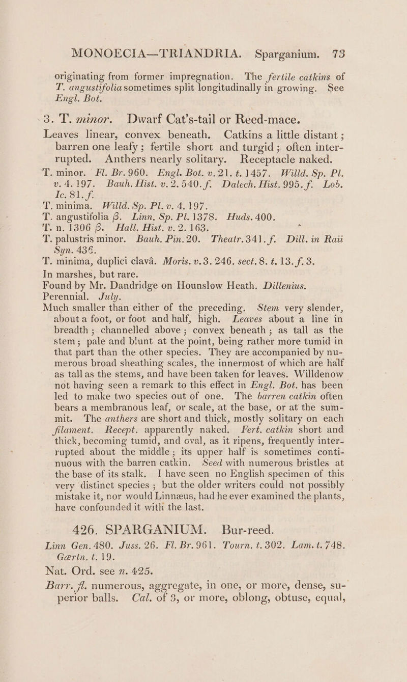 originating from former impregnation. The fertile catkins of T’. angustifoliasometimes split longitudinally in growing. See Engl. Bot. 3. T. minor. Dwarf Cat’s-tail or Reed-mace. Leaves linear, convex beneath. Catkins a little distant ; barren one leafy ; fertile short and turgid; often inter- rupted. Anthers nearly solitary. Receptacle naked. T. minor. Fl. Br.960. Engl. Bot. v.21. t.1457. Willd. Sp. Pl. v.4.197. Bauwh. Hist. v.2.540. f. Dalech. Hist.995. f. Lod. 1e81. f: T.minima. Willd. Sp. Pl. v. 4.197. T. angustifolia 8. Linn. Sp. Pl. 1378. Huds. 400. Tn, 1306 6. Hall. Mist. 0. 2.163: . T. palustris minor. Bauh. Pin.20. Theatr.341. f. Dill. in Rati Syn. 436. T. minima, duplici clava. Moris. v.3. 246. sect. 8. t.13. f. 3. In marshes, but rare. Found by Mr. Dandridge on Hounslow Heath. Dillenius. Perennial. July. Much smaller than either of the preceding. Stem very slender, about a foot, or foot and half, high. Leaves about a line in breadth ; channelled above ; convex beneath ; as tall as the stem; pale and blunt at the point, being rather more tumid in that part than the other species. They are accompanied by nu- merous broad sheathing scales, the innermost of which are half as tallas the stems, and have been taken for leaves. Willdenow not having seen a remark to this effect in Engl. Bot. has been led to make two species out of one. The barren catkin often bears a membranous leaf, or scale, at the base, or at the sum- mit. The anthers are short and thick, mostly solitary on each filament. Recept. apparently naked. Fert. catkin short and thick, becoming tumid, and oval, as it ripens, frequently inter- rupted about the middle; its upper half is sometimes conti- nuous with the barren catkin. Seed with numerous bristles at the base of its stalk. I have seen no English specimen of this very distinct species ; but the older writers could not possibly — mistake it, nor would Linneus, had he ever examined the plants, have confounded it with the last. 426. SPARGANIUM. | Bur-reed. Linn Gen. 480. Juss. 26. Fl. Br.961. Tourn. t. 302. Lam. t. 748. Gerin. t. 19. Nat. Ord. see n. 425. Barr. fl. numerous, aggregate, In one, or more, dense, su- perior balls. Cal. of 3, or more, oblong, obtuse, equal,