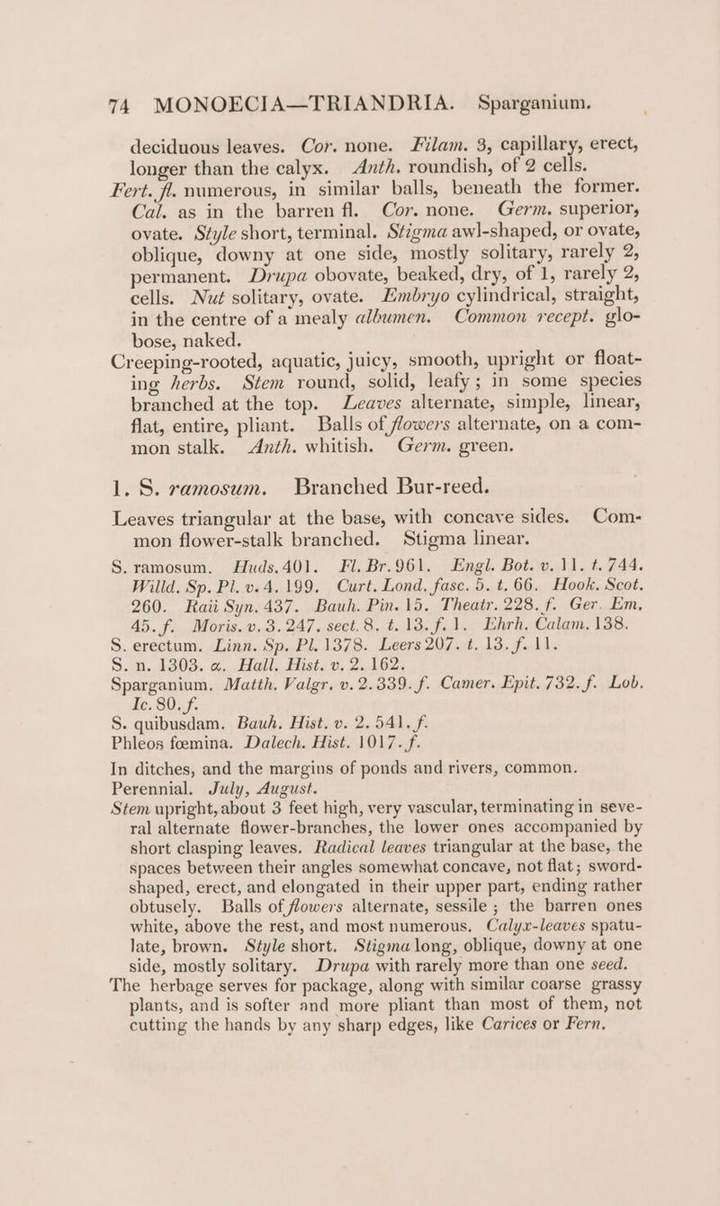 deciduous leaves. Cor. none. Filam. 3, capillary, erect, longer than the calyx. Anth, roundish, of 2 cells. Fert. fl. numerous, in similar balls, beneath the former. Cai. as in the barren fl. Cor. none. Germ. superior, ovate. Style short, terminal. St7gma awl-shaped, or ovate, oblique, downy at one side, mostly solitary, rarely 2, permanent. Drupa obovate, beaked, dry, of 1, rarely 2, cells. Nut solitary, ovate. Embryo cylindrical, straight, in the centre of a mealy albumen. Common recept. glo- bose, naked. Creeping-rooted, aquatic, juicy, smooth, upright or float- ing herbs. Stem round, solid, leafy; in some species branched at the top. Leaves alternate, simple, linear, flat, entire, pliant. Balls of flowers alternate, on a com- mon stalk. Anth. whitish. Germ. green. 1. S. ramosum. Branched Bur-reed. Leaves triangular at the base, with concave sides. Com- mon flower-stalk branched. Stigma linear. S.ramosum. Huds.401. Fl. Br.961. Engl. Bot. v.11. t. 744. Willd. Sp. Pl. v. 4.199. Curt. Lond. fasc. 5. t.66. Hook. Scot. 260. Raii Syn.437. Bauh. Pin. 15. Theatr. 228. f. Ger. Em, 45. f. Moris. v, 3.247. sect.8. t.13.f.1. Ehrh, Calam. 138. S.erectum. Linn. Sp. Pl. 1378. Leers 207. t. 13. f. 11. S. n..1303. @...Hall.. Hist. v. 2..162. Sparganium, Matth. Valgr. v. 2.339. f. Camer. Epit. 732. f. Lob. de. SO Gf S. quibusdam. Bauh. Hist. v. 2.541. f. Phleos foemina. Dalech. Hist. 1017. f. In ditches, and the margins of ponds and rivers, common. Perennial. July, August. Stem upright, about 3 feet high, very vascular, terminating in seve- ral alternate flower-branches, the lower ones accompanied by short clasping leaves. Radical leaves triangular at the base, the spaces between their angles somewhat concave, not flat; sword- shaped, erect, and elongated in their upper part, ending rather obtusely. Balls of flowers alternate, sessile ; the barren ones white, above the rest, and most numerous, Calyx-leaves spatu- late, brown. Style short. Stigma long, oblique, downy at one side, mostly solitary. Drupa with rarely more than one seed. The herbage serves for package, along with similar coarse grassy plants, and is softer and more pliant than most of them, not cutting the hands by any sharp edges, like Carices or Fern.