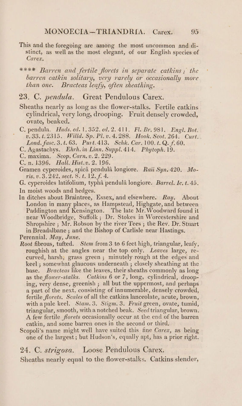 This and the foregoing are among the most uncommon and di- stinct, as well as the most elegant, of our English species of Carex. *#** Barren and fertile florets in separate catkins ; the barren catkin solitary, very rarely or occasionally more than one. Bracteas leafy, often sheathing. 23. C. pendula. Great Pendulous Carex. Sheaths nearly as long as the flower-stalks. Fertile catkins cylindrical, very long, drooping. Fruit densely crowded, ovate, beaked. C. pendula. Huds. ed. 1,352. ed.2.411. Fl. Br. 981. Engl. Bot. ; v. 33.t.2315. Willd. Sp. Pl.v. 4.288. Hook. Scot. 264. Curt. Lond. fase. 3.t.63. Purt.413. Schk. Car. 100. t. Q. f. 60. C. Agastachys. Ehrh.in Linn. Suppl.414. Phytoph. 19. C. maxima, Scop. Carn. v. 2, 229. C.n. 1396, Hall. Hist.v. 2. 196. Gramen cyperoides, spicd pendula longiore. Raii Syn.420. Mo- TiS, 0. 3,242. 'seets 856.12. f. 4. G. cyperoides latifolium, typha pendula longiore. Barrel. Ic, t. 45. In moist woods and hedges. In ditches about Braintree, Essex, and elsewhere. Ray. About London in many places, as Hampstead, Highgate, and between Paddington and Kensington. The late Mr. Woodward found it near Woodbridge, Suffolk; Dr. Stokes in Worcestershire and Shropshire ; Mr. Robson by the river Tees ; the Rev. Dr. Stuart in Breadalbane ; and the Bishop of Carlisle near Hastings. Perennial. May, June. Root fibrous, tufted. Stem from 3 to 6 feet high, triangular, leafy, roughish at the angles near the top only. Leaves large, re- curved, harsh, grass green; minutely rough at the edges and keel ; somewhat glaucous underneath ; closely sheathing at the base. Bracteas like the leaves, their sheaths commonly as long as the flower-stalks. Catkins 6 or 7, long, cylindrical, droop- ing, very dense, greenish ; all but the uppermost, and perhaps a part of the next, consisting of innumerable, densely crowded, fertile florets. Scales of all the catkins lanceolate, acute, brown, with apale keel. Siam.3. Siigm. 3. Fruit green, ovate, tumid, triangular, smooth, with a notched beak. Seed triangular, brown. A few fertile florets occasionally occur at the end of the barren catkin, and some barren ones in the second or third. Scopoli’s name might well have suited this fine Carex, as being one of the largest; but Hudson’s, equally apt, has a prior right. 24. C. strigosa. Loose Pendulous Carex. Sheaths nearly equal to the flower-stalks, Catkins slender,