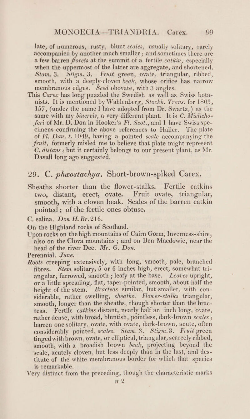 late, of numerous, rusty, blunt scales, usually solitary, rarely accompanied by another much smaller ; and sometimes there are a few barren florets at the summit of a fertile catkin, especially when the uppermost of the latter are aggregate, and shortened. Stam. 3. Stigm. 3. Fruit green, ovate, triangular, ribbed, smooth, with a deeply-cloven beak, whose orifice has narrow membranous edges. Seed obovate, with 3 angles. This Carex has long puzzled the Swedish as well as Swiss bota- nists. It is mentioned by Wahlenberg, Stockh. Trans. for 1803, 157, (undex the name I have adopted from Dr. Swartz,) as the same with my binervis, a very different plant. It is C. Mielicho- feri of Mr. D. Don in Hooker’s Fl. Scot., and I have Swiss spe- cimens confirming the above references to Haller. The plate of Fl. Dan. t. 1049, having a pointed scale accompanying the fruit, formerly misled me to believe that plate might represent C. distans ; but it certainly belongs to our present plant, as Mr. Davall long ago suggested. 29. C. pheostachya. Short-brown-spiked Carex. Sheaths shorter than the flower-stalks. Fertile catkins two, distant, erect, ovate. Fruit ovate, triangular, smooth, with a cloven beak. Scales of the barren catkin pointed ; of the fertile ones obtuse. C. salina. Don H. Br.216. On the Highland rocks of Scotland. Upon rocks on the high mountains of Cairn Gorm, Inverness-shire; also on the Clova mountains ; and on Ben Macdowie, near the head of the river Dee. Mr. G. Don. Perennial. June. Roots creeping extensively, with long, smooth, pale, branched fibres. Stem solitary, 5 or 6 inches high, erect, somewhat tri- angular, furrowed, smooth ; leafy at the base. Leaves upright, or a little spreading, flat, taper-pointed, smooth, about half the height of the stem. Bracteas similar, but smaller, with con- siderable, rather swelling, sheaths. Flower-stalks triangular, smooth, longer than the sheaths, though shorter than the brac- teas. Fertile catkins distant, nearly half an inch long, ovate, rather dense, with broad, bluntish, pointless, dark-brown scales ; barren one solitary, ovate, with ovate, dark-brown, acute, often considerably pointed, scales. Stam.3. Stigm.3. Fruit green tinged with brown, ovate, or elliptical, triangular, scarcely ribbed, smooth, with a broadish brown beak, projecting beyond the scale, acutely cloven, but less deeply than in the last, and des- titute of the white membranous border for which that species is remarkable. Very distinct from the preceding, though the characteristic marks H 2