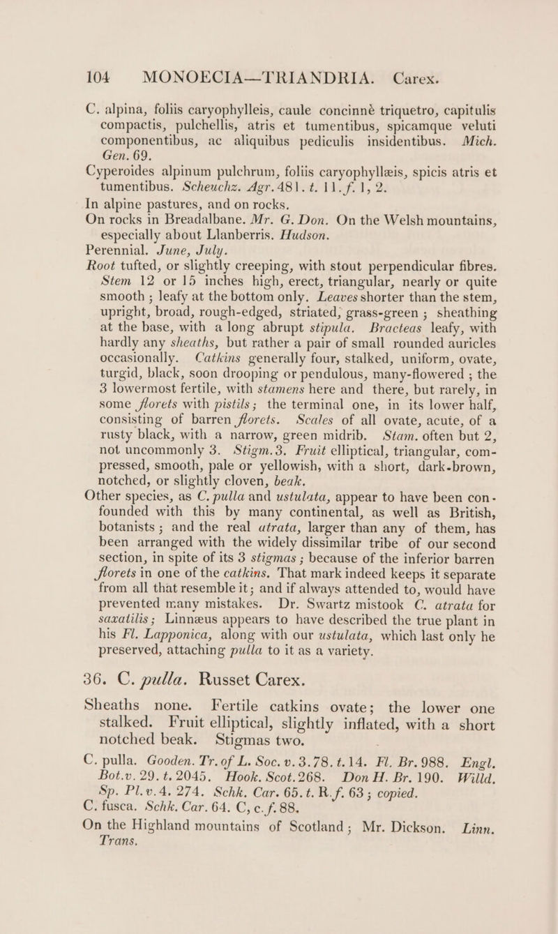 C. alpina, foliis caryophylleis, caule concinné triquetro, capitulis compactis, pulchellis, atris et tumentibus, spicamque veluti componentibus, ac aliquibus pediculis insidentibus. Mich. Gen. 69. Cyperoides alpinum pulchrum, foliis caryophylleis, spicis atris et tumentibus. Scheuchz. Agr.481.t. 11. f.1, 2. In alpine pastures, and on rocks. On rocks in Breadalbane. Mr. G. Don. On the Welsh mountains, especially about Llanberris. Hudson. Perennial. June, July. Root tufted, or slightly creeping, with stout perpendicular fibres. Stem 12 or 15 inches high, erect, triangular, nearly or quite smooth ; leafy at the bottom only. Leaves shorter than the stem, upright, broad, rough-edged, striated; grass-green ; sheathing at the base, with along abrupt stipula. Bracteas leafy, with hardly any sheaths, but rather a pair of small rounded auricles occasionally. Catkins generally four, stalked, uniform, ovate, turgid, black, soon drooping or pendulous, many-flowered ; the 3 lowermost fertile, with stamens here and there, but rarely, in some florets with pistils; the terminal one, in its lower half, consisting of barren florets. Scales of all ovate, acute, of a rusty black, with a narrow, green midrib. Stam. often but 2, not uncommonly 3. Stigm.3. Fruit elliptical, triangular, com- pressed, smooth, pale or yellowish, with a short, dark-brown, notched, or slightly cloven, beak. Other species, as C, pulla and ustulata, appear to have been con- founded with this by many continental, as well as British, botanists ; and the real atrata, larger than any of them, has been arranged with the widely dissimilar tribe of our second section, in spite of its 3 stigmas ; because of the inferior barren Jlorets in one of the catkins, That mark indeed keeps it separate from all that resemble it; and if always attended to, would have prevented many mistakes. Dr. Swartz mistook C. atrata for saxatilis ; Linneus appears to have described the true plant in his Fl. Lapponica, along with our ustulata, which last only he preserved, attaching pudla to it as a variety. 36. C. pulla. Russet Carex. Sheaths none. Fertile catkins ovate; the lower one stalked. Fruit elliptical, slightly inflated, with a short notched beak. Stigmas two. 7 C. pulla. Gooden. Tr. of L. Soc. v.3.78.t.14. Fl. Br. 988. Engl. Bot.v. 29. t. 2045. Hook. Scot.268. Don H. Br.190. Willd. Sp. Pl.v.4, 274. Schk. Car. 65.t. R.f. 63 ; copied. C. fusca. Schk. Car. 64. C, c.f. 88. On the Highland mountains of Scotland; Mr. Dickson. Linn. Trans,