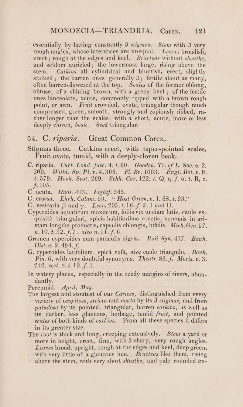 essentially by having constantly 3 stigmas. Stem with 3 very rough angles, whose interstices are unequal. Leaves broadish, erect ; rough at the edges and keel. Bracteas without sheaths, and seldom auricled; the lowermost large, rising above the stem. Catkins all cylindrical and bluntish, erect, slightly stalked ; the barren ones generally 3; fertile about as many, often barren-flowered at the top. Scales of the former oblong, obtuse, of a shining brown, witha green keel ; of the fertile ones lanceolate, acute, commonly tipped with a brown rough point, or awn. Fruit crowded, ovate, triangular though much compressed, green, smooth, strongly and copiously ribbed, ra- ther longer than the scales, with a short, acute, more or less deeply cloven, beak. Seed triangular. | 54. C. riparia. Great Common Carex. Stigmas three. Catkins erect, with taper-pointed scales. Fruit ovate, tumid, with a deeply-cloven beak. C. riparia. Curt. Lond. fasc. 4. t.60. Gooden. Tr. of L. Soc. v. 2. 200. Willd. Sp. Pl.v. 4.306. Fl. Br. 1003. Engl. Bot.v. 9. LD 9x Elooke Scot, 269 Senks Car, 2200 Oy gq. f Olt Ry vr. Jo05; C. acuta. Huds.413. Lightf. 565. C. crassa, Ehrh. Calam. 59. ‘‘ Host Gram.v. 1. 68. t.93.” C. vesicaria B and y. Leers 205. 4.16. f. 2, I and II. Cyperoides aquaticum maximum, foliis vix unciam latis, caule ex- quisité triangulari, spicis habitioribus erectis, squamis in ari- stam longits productis, capsulis oblongis, bifidis. Mich.Gen.57. NelO tS Pat A GlsO WEES, Gt Gramen cyperoides cum paniculis nigris. Haw Syn.417. Bauh. Hist.v. 2. 494. f. G. cyperoides latifolium, spica rufa, sive caule triangulo. Bauh. Pin. 6, with very doubtful synonyms. Theatr. 83. f. Moris. v. 3. 242. sect.8.¢.12. f. 1. In watery places, especially in the reedy margins of rivers, abun- dantly. Perennial. April, May. The largest and stoutest of our Carices, distinguished from every variety of cespitosa, stricta and acuta by its 3 stigmas, and from paludosa by its pointed, triangular, barren catkins, as well as its darker, less glaucous, herbage, tumid fruit, and pointed scales of both kinds of catkins. From all these species it differs in its greater size. The root is thick and long, creeping extensively. Stem a yard or more in height, erect, firm, with 3 sharp, very rough angles. Leaves broad, upright, rough at the edges and keel, deep green, with very little of a glaucous hue. Bracteas like them, rising above the stem, with very short sheaths, and pale rounded au-