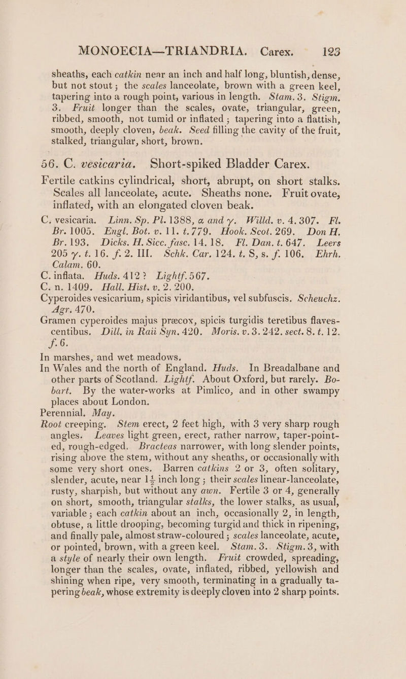 sheaths, each catkin near an inch and half long, bluntish, dense, but not stout ; the scales lanceolate, brown with a green keel, tapering into a rough point, various in length. Stam. 3. Stigm. 3. Fruit longer than the scales, ovate, triangular, green, ribbed, smooth, not tumid or inflated ; tapering into a flattish, smooth, deeply ‘cloven, beak. Seed filling the cavity of the fruit, stalked, triangular, short, brown. 56. C. vesicaria. Short-spiked Bladder Carex. Fertile catkins cylindrical, short, abrupt, on short stalks. Scales all lanceolate, acute. Sheaths none. Fruit ovate, inflated, with an elongated cloven beak. C, vesicaria. Linn. Sp. Pl.1388, a andy. Willd. v. 4.307. Fl. Br. 1005. Engl. Bot. v.11. ¢.779. Hook. Scot. 269. Don H. Br.193, Dicks. H. Sicc. fasc. 14.18, Fl. Dan. t.647. Leers 205 yt. 16. 7.2. WL. Sehk..Car,AZ4.t.5,8. sf. 106... Ehrh, Calam. 60. C. inflata. Huds.412? Lightf.567. C.n. 1409. all. Hist. v. 2. 200. Cyperoides vesicarium, spicis viridantibus, vel subfuscis. Scheuchz. Agr. 470. Gramen cyperoides majus precox, spicis turgidis teretibus flaves- centibus. Dill. in Ratt Syn.420. Moris. v. 3.242. sect. 8. ¢. 12. Jo0. In marshes, and wet meadows. In Wales and the north of England. Huds. In Breadalbane and other parts of Scotland. Lightf. About Oxford, but rarely. Bo- bart. By the water-works at Pimlico, oa in other swampy places about London. Perennial. May. Root creeping. Stem erect, 2 feet high, with 3 very sharp rough angles. Leaves light green, erect, rather narrow, taper-point- ed, rough-edged. Bracteas narrower, with long slender points, rising above the stem, without any sheaths, or occasionally with some very short ones. Barren catkins 2 or 3, often solitary, slender, acute, near 14 inch long; their scales linear- lanceolate, rusty, sharpish, but without any awn. Fertile 3 or 4, generally on short, smooth, triangular stalks, the lower stalks, as usual, variable ; each catkin about an inch, occasionally 2, in length, obtuse, a little drooping, becoming turgid and thick in ripening, and finally pale, almost straw-coloured ; scales lanceolate, acute, or pointed, brown, with a green keel, ’ Stam. 3. Stigm. 3, with a style of nearly their own length. Fruit crowded, spreading, longer than the scales, ovate, inflated, ribbed, yellowish and shining when ripe, very smooth, terminating in a gradually ta- pering beak, whose extremity is deeply cloven into 2 sharp points.