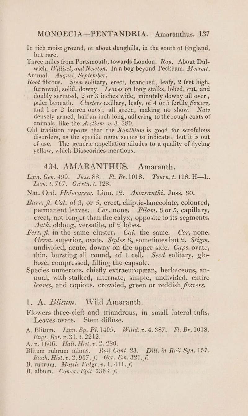 MONOECIA—PENTANDRIA. Amaranthus. 157 In rich moist ground, or about dunghills, in the south of England, but rare. Three miles from Portsmouth, towards London. Ray. About Dul- wich. Willisel, and Newton. In a bog beyond Peckham. Merrett. Annual. August, September. Root fibrous. Stem solitary, erect, branched, leafy, 2 feet high, furrowed, solid, downy. Leaves on long stalks, lobed, cut, and doubly serrated, 2 or 3 inches wide, minutely downy all over ; paler beneath. Clusters axillary, leafy, of 4 or 5 fertile fowers, and l or 2 barren ones; all green, making no show. Nuts densely armed, half an inch long, adhering to the rough coats of animals, like the Arctium, v. 3. 380. Cld tradition reports that the Xanthium is good for scrofulous disorders, as the specific name seems to indicate; but it is out of use. The generic appellation ailudes to a quality of dyeing yellow, which Dioscorides mentions. 434. AMARANTHUS. Amaranth. Linn. Gen. 490. Juss.88.. Fl. Br.1018. Tourn, t. 118. H—L. Lam. t. 767. Gerin t. 128. Nat. Ord. Holeracee. Linn. 12. Amaranthi. Juss. 380. Barr. ji. Cal. of 3, or 5, erect, elliptic-lanceolate, coloured, permanent leaves. Cor. none. lam. 3 or 5, capillary, erect, not longer than the calyx, opposite to its segments. Anth, oblong, versatile, of 2 lobes. Fert. fl. in the same cluster. Cal. the same. Cor. none. Germ. superior, ovate. Styles 3, sometimes but 2. Stzgm. undivided, acute, downy on the upper side. Caps. ovate, thin, bursting all round, of 1 cell. Seed solitary, glo- bose, compressed, filling the capsule. Species numerous, chiefly extraeuropsean, herbaceous, an- nual, with stalked, alternate, simple, undivided, entire leaves, and copious, crowded, green or reddish flowers. 1. A. Bhtum. Wild Amaranth. Flowers three-cleft and triandrous, in small lateral tufts. Leaves ovate. Stem diffuse. A. Blitum. Linn. Sp. Pl.1405. Willd. v, 4.387. Fl. Br. 1018. Engi. Bot. v.31. t. 2212. A.n. 1606. Hall. Hist. v. 2.280. Blitum rubrum minus. Raii Cant. 23. Dill. in Raii Syn. 157. Bauh, Hist. v. 2. 967. f. Ger. Em. 321, f. B. rubrum. Matth. Valgr.v. 1.411. ft B. album. Camer. Epit. 236? f.