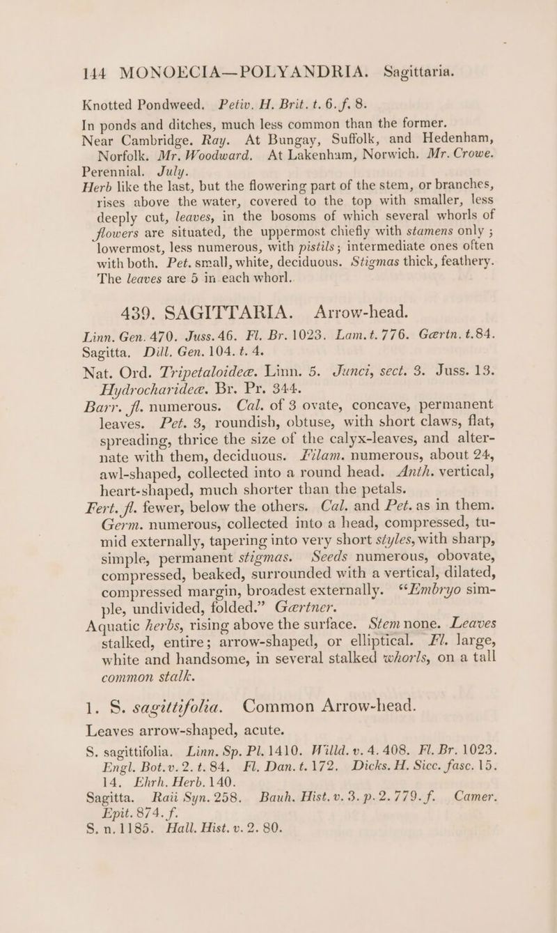 Knotted Pondweed. Petiv. H. Brit. t.6.f. 8. In ponds and ditches, much less common than the former. Near Cambridge. Ray. At Bungay, Suffolk, and Hedenham, Norfolk. Mr. Woodward. At Lakenham, Norwich. Mr. Crowe. Perennial. July. Herb like the last, but the flowering part of the stem, or branches, rises above the water, covered to the top with smaller, less deeply cut, leaves, in the bosoms of which several whorls of flowers are situated, the uppermost chiefly with s¢amens only ; lowermost, less numerous, with pis¢ils; intermediate ones often with both. Pet. small, white, deciduous. Stigmas thick, feathery. The leaves are 5 in each whorl.. 439. SAGITTARIA. Arrow-head. Linn. Gen. 470. Juss. 46. Fl. Br. 1023. Lam.t.776. Garin. t.84. Sagitta. Dill. Gen. 104. t. 4. Nat. Ord. Tripetaloidee. Linn. 5. Juncz, sect. 3. Juss. 13. Hydrocharidee. Br. Pr. 344. Barr. jl. numerous. Cal. of 3 ovate, concave, permanent leaves. Pet. 3, roundish, obtuse, with short claws, flat, spreading, thrice the size of the calyx-leaves, and alter- nate with them, deciduous. J%/am. numerous, about 24, awl-shaped, collected into a round head. Anth. vertical, heart-shaped, much shorter than the petals. Fert. fl. fewer, below the others. Cal. and Pet. as in them. Germ. numerous, collected into a head, compressed, tu- mid externally, tapering into very short s¢yles, with sharp, simple, permanent st7gmas. Seeds numerous, obovate, compressed, beaked, surrounded with a vertical, dilated, compressed margin, broadest externally. “‘Zimbryo sim- ple, undivided, folded.” Gertner. Aquatic herbs, rising above the surface. Stemnone. Leaves stalked, entire; arrow-shaped, or elliptical. 2. large, white and handsome, in several stalked whorls, on a tall common stalk. 1. S. sagettifolia. Common Arrow-head. Leaves arrow-shaped, acute. S. sagittifolia. Linn. Sp. Pl. 1410. Willd. v. 4.408. Fl. Br. 1023. Engl. Bot.v.2. t.84. Fl, Dan.t.172. Dicks. H. Sicc. fasc. 15. 14, Ehrh, Herb. 140. Sagitta. Raii Syn.258. Bauh. Hist.v.3.p.2.779.f. Camer. Epit. 874. f. S.n.1185. Hall. Hist. v. 2. 80.