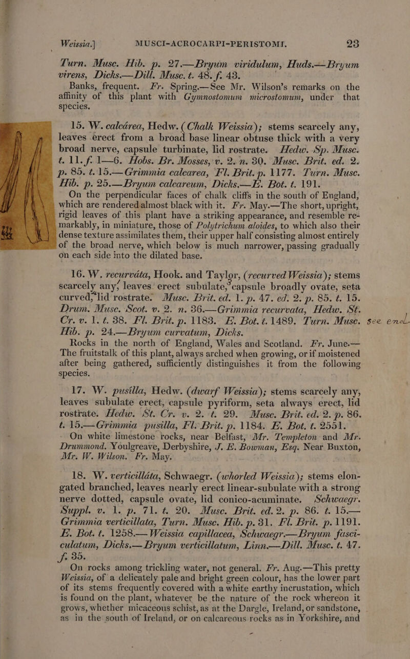 Lurn. Muse. Hib. p. 27.—Bryum viridulum, Huds.—Bryum virens, Dicks.— Dill. Muse. t. 48. f. 48. | Banks, frequent. Ir. Spring—See Mr. Wilson’s remarks on the affinity of this plant with Gymnostomum microstomum, under that species. 15. W. caledrea, Hedw. ( Chalk Weissia); stems scarcely any, leaves erect from a broad base linear obtuse thick with a very broad nerve, capsule turbinate, lid rostrate. Hedw. Sp. Muse. t. 11. f. 1—6. Hobs. Br. Mosses,'v. 2. n. 80. Musc. Brit. ed. 2. p. 85. t.15.— Grimmia calearea, Fl. Brit. p. 1177. Turn. Muse. Mb. p. 25.—Bryum calcareum, Dicks.—H. Bot. t. 191. On the perpendicular faces of chalk cliffs in the south of England, which are rendered.almost black with it. Fr. May.—The short, upright, rigid leaves of this plant have a striking appearance, and resemble re- markably, in miniature, those of Polytrichum aloides, to which also their dense texture assimilates them, their upper half consisting almost entirely of the broad nerve, which below is much narrower, passing gradually on each side into the dilated base. 16. W. recurvata, Hook. and Taylor, (recurved Weissia); stems scarcely any; leaves. erect subulate,’capsule broadly ovate, seta curved, lid rostrate: Muse. Brit. ed. 1. p. 47. ed. 2. p. 85. t. 15. Drum. Muse. ‘Scot. v. 2. n. 836.—Grimmia recurvata, Hedw. St. Cr. v. 1. t. 88. Fl. Brit. p. 1188. E. Bot.t.1489. Turn. Muse. see encl- Mb. p. 24.—Bryum curvatum, Dicks. Rocks in the north of England, Wales and Scotland. Fr. June.— The fruitstalk of this plant, always arched when growing, or if moistened after being gathered, sufficiently distinguishes it from the following species. 17. W. pusilla, Hedw. (dwarf Weissia); stems scarcely any, leaves subulate erect, capsule pyriform, seta always erect, lid rostrate. Hedw. St. Cr. v. 2. t. 29. Muse. Brit. ed. 2. p. 86. t. 15.—Grimmia pusilla, Fl. Brit. p. 1184. E. Bot. t. 2551. On white limestone. rocks, near Belfast, Mr. Templeton and Mr. Drummond. Youlgreave, Derbyshire, J. H. Bowman, Esq. Near Buxton, Mr. W. Wilson. Fr. May. 18. W. verticillata, Schwaegr. (whorled Weissia); stems elon- gated branched, leaves nearly erect linear-subulate with a strong nerve dotted, capsule ovate, lid conico-acuminate. Schwaegr. Suppl. v. 1. p. 71. t 20. Muse. Brit. ed.2. p. 86. t. 15.— Grimmia verticillata, Turn. Muse. Hib. p. 31. Fl. Brit. p.1191. Ei. Bot. t. 1258.— Weissia capillacea, Schwaegr—Bryum fasci- culatum, Dicks. — Bryum verticillatum, Linn.—Dill. Muse. t. 47. . BO. i On rocks among trickling water, not general. Fr. Aug.—This pretty Weissia, of a delicately pale and bright green colour, has the lower part of its stems frequently covered with a white earthy incrustation, which is found on the plant, whatever be the nature of the rock whereon it grows, whether micaceous schist, as at the Dargle, Ireland, or sandstone, as in the south of Ireland, or on calcareous rocks as in Yorkshire, and -
