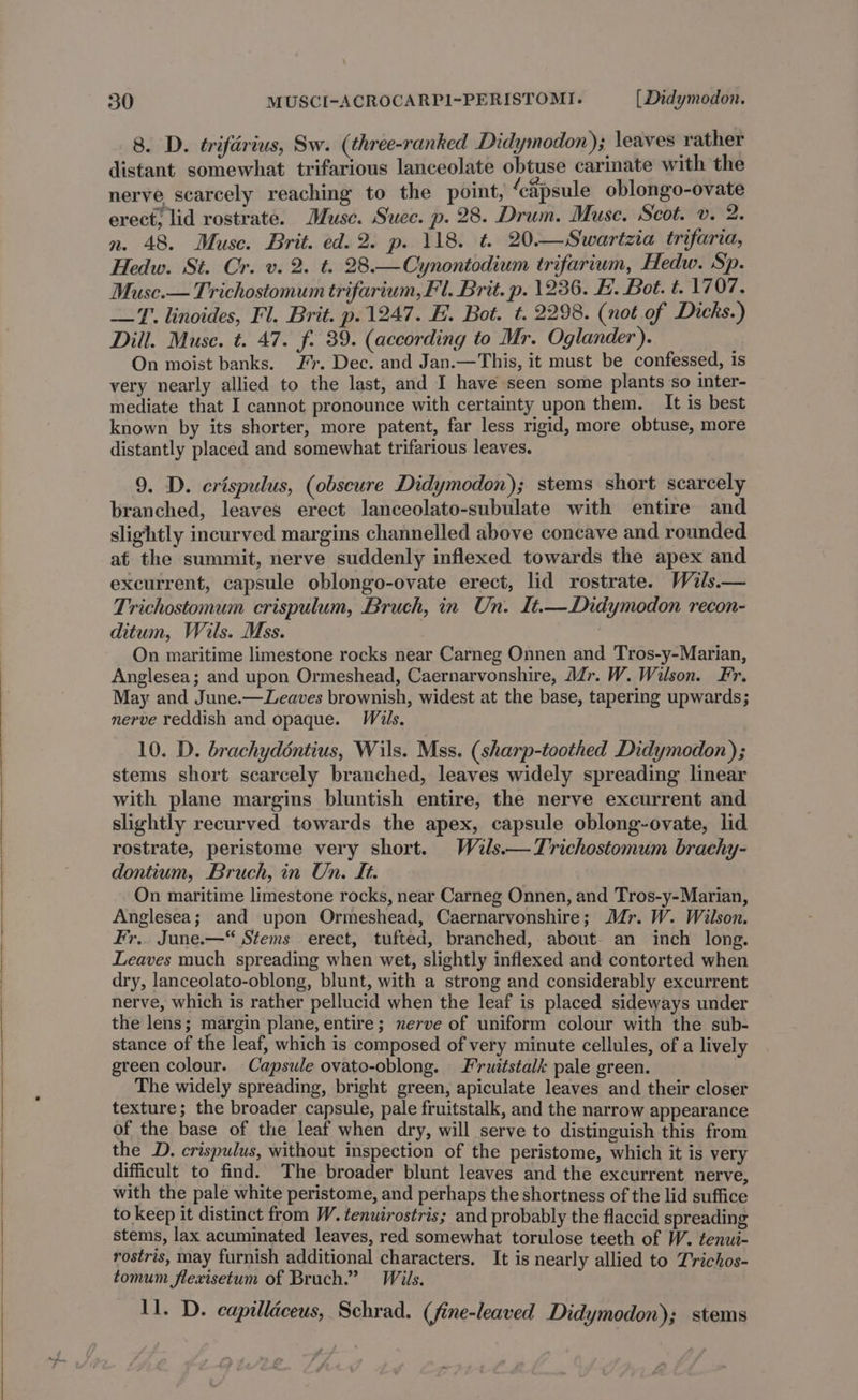 8. D. triférius, Sw. (three-ranked Didymodon); leaves rather distant somewhat trifarious lanceolate obtuse carinate with the nerve scarcely reaching to the point, ‘capsule oblongo-ovate erect, lid rostrate. Muse. Suec. p. 28. Drum. Muse. Scot. v. 2. n. 48. Muse. Brit. ed. 2. p. 118. t 20—Swartzia trifaria, Hedw. St. Cr. v. 2. t. 28.—Cynontodium trifarium, Hedw. Sp. Muse.— Trichostomum trifarium, Fl. Brit. p. 1236. EF. Bot. t. 1707. 1. linoides, Fl. Brit. p. 1247. E. Bot. t. 2298. (not of Dicks.) Dill. Muse. t. 47. f. 39. (according to Mr. Oglander). On moist banks. Jr. Dec. and Jan.—This, it must be confessed, is very nearly allied to the last, and I have seen some plants so inter- mediate that I cannot pronounce with certainty upon them. It is best known by its shorter, more patent, far less rigid, more obtuse, more distantly placed and somewhat trifarious leaves. 9. D. crispulus, (obscure Didymodon); stems short scarcely branched, leaves erect lanceolato-subulate with entire and slightly incurved margins channelled above concave and rounded at the summit, nerve suddenly inflexed towards the apex and excurrent, capsule oblongo-ovate erect, lid rostrate. Wils.— Trichostomum crispulum, Bruch, in Un. It.—Didymodon recon- ditum, Wils. Mss. On maritime limestone rocks near Carneg Onnen and Tros-y-Marian, Anglesea; and upon Ormeshead, Caernarvonshire, Mr. W. Wilson. Fr. May and June.—Leaves brownish, widest at the base, tapering upwards; nerve reddish and opaque. Wils. 10. D. brachydéntius, Wils. Mss. (sharp-toothed Didymodon); stems short scarcely branched, leaves widely spreading linear with plane margins bluntish entire, the nerve excurrent and slightly recurved towards the apex, capsule oblong-ovate, lid rostrate, peristome very short. Wals.—Trichostomum brachy- dontium, Bruch, in Un. It. On maritime limestone rocks, near Carneg Onnen, and Tros-y-Marian, Anglesea; and upon Ormeshead, Caernarvonshire; M€dr. W. Wilson. Fr... June.—“ Stems erect, tufted, branched, about an inch long. Leaves much spreading when wet, slightly inflexed and contorted when dry, lanceolato-oblong, blunt, with a strong and considerably excurrent nerve, which is rather pellucid when the leaf is placed sideways under the lens; margin plane, entire; nerve of uniform colour with the sub- stance of the leaf, which is composed of very minute cellules, of a lively green colour. Capsule ovato-oblong. Frudtstalk pale green. The widely spreading, bright green, apiculate leaves and their closer texture; the broader capsule, pale fruitstalk, and the narrow appearance of the base of the leaf when dry, will serve to distinguish this from the D. crispulus, without inspection of the peristome, which it is very dificult to find. The broader blunt leaves and the excurrent nerve, with the pale white peristome, and perhaps the shortness of the lid suffice to keep it distinct from W. tenuirostris; and probably the flaccid spreading stems, lax acuminated leaves, red somewhat torulose teeth of W. tenui- rostris, may furnish additional characters. It is nearly allied to Trichos- tomum flexisetum of Bruch.” Wiis. 11. D. capilléceus, Schrad. (fine-leaved Didymodon); stems