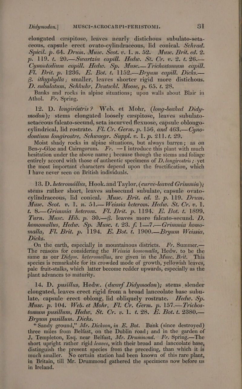 elongated czspitose, leaves nearly distichous subulato-seta- ceous, capsule erect ovato-cylindraceous, lid conical. Schrad. Spicil. p. 64. Drum. Muse. Scot. v. 1. n. 52. Muse. Brit. ed. 2. p. 119. &amp; 20.—Swartzia capill. Hedw. St. Cr. v. 2. t. 26.— Cynontodium capill. Hedw. Sp. Musc.—Trichostomum capill. fl. Brit. p. 1236. FE. Bot. t. 1152.—Bryum capill. Dicks.— 8. tthyphylla; smaller, leaves shorter rigid more distichous. D. subulatum, Schkuhr, Deutschl. Moose, p. 65. t. 28. Banks and rocks in alpine situations; upon walls about Blair in Athol. Fr, Spring. 12. D. longirdstris? Web. et Mohr, (long-beaked Didy- modon); stems elongated loosely cxspitose, leaves subulato- setaceous faleato-secund, seta incurved flexuose, capsule oblongo- cylindrical, lid rostrate. FU. Cr. Germ. p. 156, and 463.— Cyno- dontium longirostre, Schwaegr. Suppl. v. \. p. 211. t. 29. Moist shady rocks in alpine situations, but always barren; as on Ben-y-Gloe and Cairngorum. #r. —TI introduce this plant with much hesitation under the above name ; because though the stems and foliage entirely accord with those of authentic specimens of D. longirostris ; yet the most important characters depend upon the fructification, which I have never seen on British individuals. 13. D. heteromallus, Hook. and Taylor, (eurve-leaved Grimmia); stems rather short, leaves subsecund subulate, capsule ovato- cylindraceous, lid conical. Musc. Brit. ed. 2. p. 119. Drum. Muse. Scot. v. 1. n. 51.—Weissia heterom. Hedw. St. Cr. v. 1. t. 8.—Grimmia heterom. Fl. Brit. p. 1194. HE. Bot. t. 1899. Turn. Muse. Hib. p. 30.—. leaves more falcato-secund. D. homomallus, Hedw. Sp. Muse. t. 23. f. \—7.—Grimmia homo- malla, Fl. Brit. p. 1194. #. Bot. t. 1900.—Bryum Weissia, Dicks. ; On the earth, especially in mountainous districts. 7. Summer.— The reasons for considering the Weissia homomalla, Hedw. to be the same as our Didym. heteromallus, are given in the Musc. Brit. This species is remarkable for its crowded mode of growth, yellowish leaves, pale fruit-stalks, which latter become redder upwards, especially as the plant advances to maturity. 14. D. pusillus, Hedw. (dwarf Didymodon); stems . slender elongated, leaves erect rigid from a broad lanceolate base subu- late, capsule erect oblong, lid obliquely rostrate. Hedw. Sp. Musc. p. 104. Web. et Mohr, Fl. Cr. Germ. p. 157.—Trichos- tomum pusillum, Hedw. St. Cr. v. 1. t. 28. H. Bot. t. 2880.— Bryum pusillum. Dicks. “Sandy ground,” Mr. Dickson, in E. Bot. Bank (since destroyed) three miles from Belfast, on the Dublin road; and in the garden of J. Templeton, Esq. near Belfast, Mr. Drummond. Fr. Spring.—The short upright rather rigid /eaves, with their broad and lanceolate base, distinguish the present species from the preceding, than which it is much smaller. No certain station had been known of this rare plant, in Britain, till Mr. Drummond gathered the specimens now before us in Ireland,