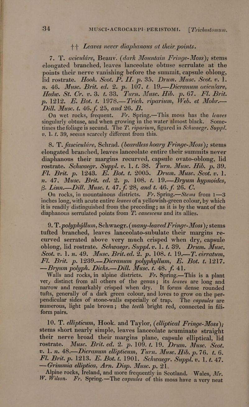 +} Leaves never diaphanous at their points. 7. T. aciculére, Beauy. (dark Mountain Fringe-Moss); stems elongated branched, leaves lanceolate obtuse serrulate at the points their nerve vanishing before the summit, capsule oblong, lid rostrate. Hook. Scot. P. IZ. p. 35. Drum. Muse. Scot. v. 1. n. 46. Muse. Brit. ed. 2. p. 107. ¢. 19.—Dicranum aciculare, Hedw. St. Cr. v. 3. t. 33. Turn. Muse. Hib. p. 67. Fl. Brit. p. 1212. #. Bot. t. 1978.—Trich. riparium, Web. et Mokr— Dill. Muse. t. 46. f. 25, and 26. B. On wet rocks, frequent. Jr. Spring.—This moss has the leaves singularly obtuse, and when growing in the water almost black. Some- times the foliage is secund. The T. riparium, figured in Schwaegr. Suppl. v. 1. t. 39, seems scarcely different from this. 8. T. fasciculdre, Schrad. (beardless hoary Fringe-Moss); stems elongated branched, leaves lanceolate entire their summits never diaphanous their margins recurved, capsule ovato-oblong, lid rostrate. Schwaegr. Suppl. v. 1. t. 38. Turn. Muse. Mb. p. 39. Fl. Brit. p. 12438. #. Bot. ¢t. 2005. Drum. Muse. Scot. v. 1. n. 47. Muse. Brit. ed. 2. p. 108. t. 19.—Bryum hypnoides, 8. Linn.— Dill. Muse. t. 47. f. 28, and t. 46. f. 26. C. On rocks, in mountainous districts. #r. Spring.—Stems from 1—3 inches long, with acute entire /eaves of a yellowish-green colour, by which it is readily distinguished from the preceding; as it is by the want of the diaphanous serrulated points from 7’, canescens and its allies. 9. T. polyphyllum, Schwaegr. (many-leaved Fringe-Moss); stems tufted branched, leaves lanceolato-subulate their margins re- curved serrated above very much crisped when dry, capsule oblong, lid rostrate. Schwaegr. Suppl. v. 1. t. 39. Drum. Muse. Scot. v. 1. n. 49. Muse. Brit.ed. 2. p. 108. ¢. 19.—T. cirratum, Fl. Brit. p.1239.—Dicranum polyphyllum, FE. Bot. t. 1217. —Bryum polyph. Dicks —Dill. Muse. t. 48. f. 41. Walls and rocks, in alpine districts. Fr. Spring.—This is a plant very distinct from all others of the genus; its Jeaves are long and narrow and remarkably crisped when dry. It forms dense rounded tufts, generally of a dark green colour, and loves to grow on the per- pendicular sides of stone-walls especially of trap. The capsules are numerous, light pale brown; the éeeth bright red, connected in fili- form pairs. 10. T. ellipticum, Hook. and Taylor, ae Fringe-Moss); stems short nearly simple, leaves lanceolate acuminate straight their nerve broad their margins plane, capsule elliptical, lid rostrate. Musc. Brit. ed. 2. p. 109. ¢. 19. Drum. Muse. Scot. v. 1. n. 48.—Dicranum ellipticum, Turn. Muse. Hib. p.76. t. 6. Fl. Brit. p. 1213. E. Bot. t. 1901. Schwaegr. Suppl. v. 1. t. 47. —Grimmia elliptica, Arn. Disp. Muse. p. 21. Alpine rocks, Ireland, and more frequently in Scotland. Wales, Afr. W. Wilson. Fr, Spring.—The capsules of this moss have a very neat