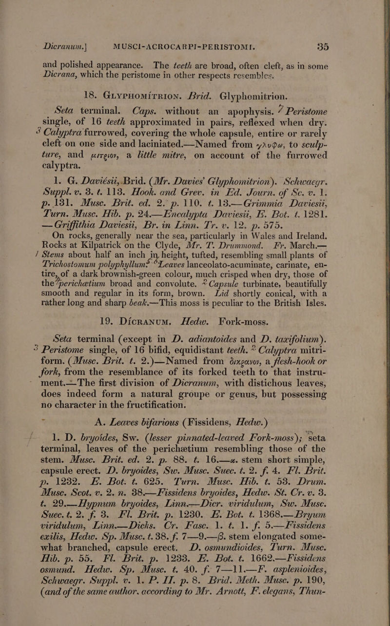 and polished appearance. The teeth are broad, often cleft, as in some Dicrana, which the peristome in other respects resembles. 18. GLiypHomirrion. Brid. Glyphomitrion. Seta terminal. Caps. without an apophysis. 7 Peristome single, of 16 teeth approximated in pairs, reflexed when dry. § Calyptra furrowed, covering the whole capsule, entire or rarely cleft on one side and laciniated——Named from yavdw, to sculp- ture, and use, a little mitre, on account of the furrowed calyptra. 1. G. Daviésii, Brid. (Mr. Davies’ Glyphomitrion). Schwaegr. Suppl. v. 3. t. 113. Hook. and Grev. in Ed. Journ. of Sc. v. 1. p- 181. Muse. Brit. ed. 2. p. 110. t. 18.—Grimmia Daviesii, Turn. Muse. Hib. p. 24.—Encalypta Daviesii, F:. Bot. t. 1281. —Griffithia Daviesti, Br. in Linn. Tr. v. 12. p. 575. On rocks, generally near the sea, particularly in Wales and Ireland. Rocks at Kilpatrick on the Clyde, Mr. T. Drummond. Fr. March.— / Stems about half an inch in, height, tufted, resembling small plants of Trichostomum polyphyllum2*°Leaves lanceolato-acuminate, carinate, en- tire, of a dark brownish-green colour, much crisped when dry, those of the’perichetium broad and convolute. ~ Capsule turbinate, beautifully smooth and regular in its form, brown. Jd shortly conical, with a rather long and sharp deak.—This moss is peculiar to the British Isles. 19. Dicranum. Hedw. Fork-moss. Seta terminal (except in D. adiantoides and D. taxifolium). ’ Peristome single, of 16 bifid, equidistant teeth. ° Calyptra mitri- form. (Muse. Brit. t. 2.)—Named from dixgavov, a flesh-hook or fork, from the resemblance of its forked teeth to that instru- ment.—The first division of Dicranum, with distichous leaves, does indeed form a natural groupe or genus, but possessing no character in the fructification.  A. Leaves bifarious (Fissidens, Hedw.) 1. D. bryoides, Sw. (lesser pinnated-leaved Fork-moss); seta terminal, leaves of the perichetium resembling those of the stem. Muse. Brit. ed. 2. p. 88. t. 16.—«. stem short simple, capsule erect. D. bryoides, Sw. Muse. Suec. t. 2. f. 4. Fl. Brit. p. 1232. FE. Bot. ¢t 625. Turn. Muse. Hib. t. 58. Drum. Muse. Scot. v. 2. n. 38.—Fissidens bryoides, Hedw. St. Cr. v. 3. t. 29._Hypnum bryoides, Linn——Dicr. viridulum, Sw. Muse. Suec.t. 2. f. 3. Fl. Brit. p. 1230. H. Bot. t. 13868.—Bryum viridulum, Linn.—Dicks. Cr. Fase. 1. t. 1. fi 5.—Fissidens exilis, Hedw. Sp. Muse. t. 38. f. 7—9.—f. stem elongated some- what branched, capsule erect. D. osmundioides, Turn. Muse. Hib. p. 55. Fl. Brit. p. 1233. EF. Bot. t. 1662.—Fissidens osmund. Hedw. Sp. Muse. t. 40. f. 7—11.—F. asplenioides, Schwaegr. Suppl. v. 1. P. IT. p. 8. Brid. Meth. Muse. p. 190, (and of the same author. according to Mr. Arnott, F’. elegans, Thun-