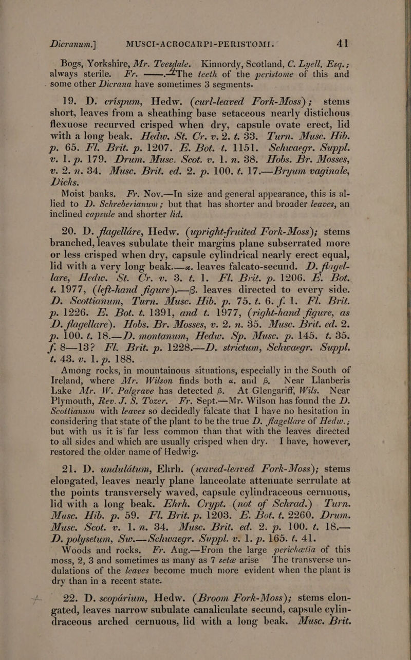 Bogs, Yorkshire, Mr. Teesdale. Kinnordy, Scotland, C. Lyell, Esq. always sterile. Fr. —The teeth of the peristome of this and . some other Dicrana have sometimes 3 segments. 19. D. erispum, Hedw. (curl-leaved Fork-Moss); stems short, leaves from a sheathing base setaceous nearly distichous flexuose recurved crisped when dry, capsule ovate erect, lid with a long beak. Hedw. St. Cr. v. 2. t. 33. Turn. Muse. Hib. p. 65. Fl. Brit. p. 1207. F. Bot. t. 1151. Schwaegr. Suppl. v. 1. p. 179. Drum. Muse. Scot. v. 1. n. 38. Hobs. Br. Mosses, v. 2.n. 34. Muse. Brit. ed. 2. p. 100. ¢. 17.—Bryum vaginale, Dicks. Moist banks. Fr. Nov.—In size and general appearance, this is al- lied to D. Schreberianum; but that has shorter and broader /eaves, an inclined capsule and shorter /id. 20. D. flagellére, Hedw. (upright-fruited Fork-Moss); stems branched, leaves subulate their margins plane subserrated more or less crisped when dry, capsule cylindrical nearly erect equal, lid with a very long beak.—z«. leaves falcato-secund. D. flagel- lare, Hedw. St. Cr. v. 3.61. Fl. Brit. p. 1206. FE. Bot.. t. 1977, (left-hand figure).—. leaves directed to every side. D. Scottianum, Turn. Muse. Hib. p. 75. t. 6. fil. Fl. Brit. p. 1226. &amp;. Bot. t. 1391, and t. 1977, (right-hand figure, as D. flagellare). Hobs. Br. Mosses, v. 2. n. 35. Muse. Brit. ed. 2. p- 100. t. 18.—D. montanum, Hedw. Sp. Muse. p. 145. t. 35. f. 8—138? Fl. Brit. p. 1228.—D. strictum, Schwaegr. Suppl. t. 43. v. 1. p. 188. Among rocks, in mountainous situations, especially in the South of Ireland, where Mr. Wilson finds both « and ~ Near Llanberis Lake Mr. W. Palgrave has detected 8. At Glengariff, Wils. Near Plymouth, Rev. J. S. Tozer. Fr. Sept.—Mr. Wilson has found the D. Scottianum with leaves so decidedly falcate that I have no hesitation in considering that state of the plant to be the true D. flagellare of Hedw.; but with us it is far less common than that with the leaves directed to all sides and which are usually crisped when dry. ' I have, however, restored the older name of Hedwig. 21. D. undulatum, Ehrh. (waved-leaved Fork-Moss); stems elongated, leaves nearly plane lanceolate attenuate serrulate at the points transversely waved, capsule cylindraceous cernuous, lid with a long beak. Ehrh. Crypt..(not of Schrad.) Turn. Muse. Hib. p. 59. Fl. Brit. p. 1203. EF. Bot. t. 2260. Drum. Muse. Scot. v. 1. n. 34. Muse. Brit. ed. 2. p. 100. t. 18.— D. polysetum, Sw.—-Schwaegr. Suppl. v. 1. p. 165. t. 41. Woods and rocks. Fr. Aug.—From the large perichetia of this moss, 2, 3 and sometimes as many as 7 sef@ arise ‘The transverse un- dulations of the deaves become much more evident when the plant is dry than in a recent state. 22. D. scopdrium, Hedw. (Broom Fork-Moss); stems elon- gated, leaves narrow subulate canaliculate secund, capsule cylin- draceous arched cernuous, lid with a long beak. Muse. Brit.