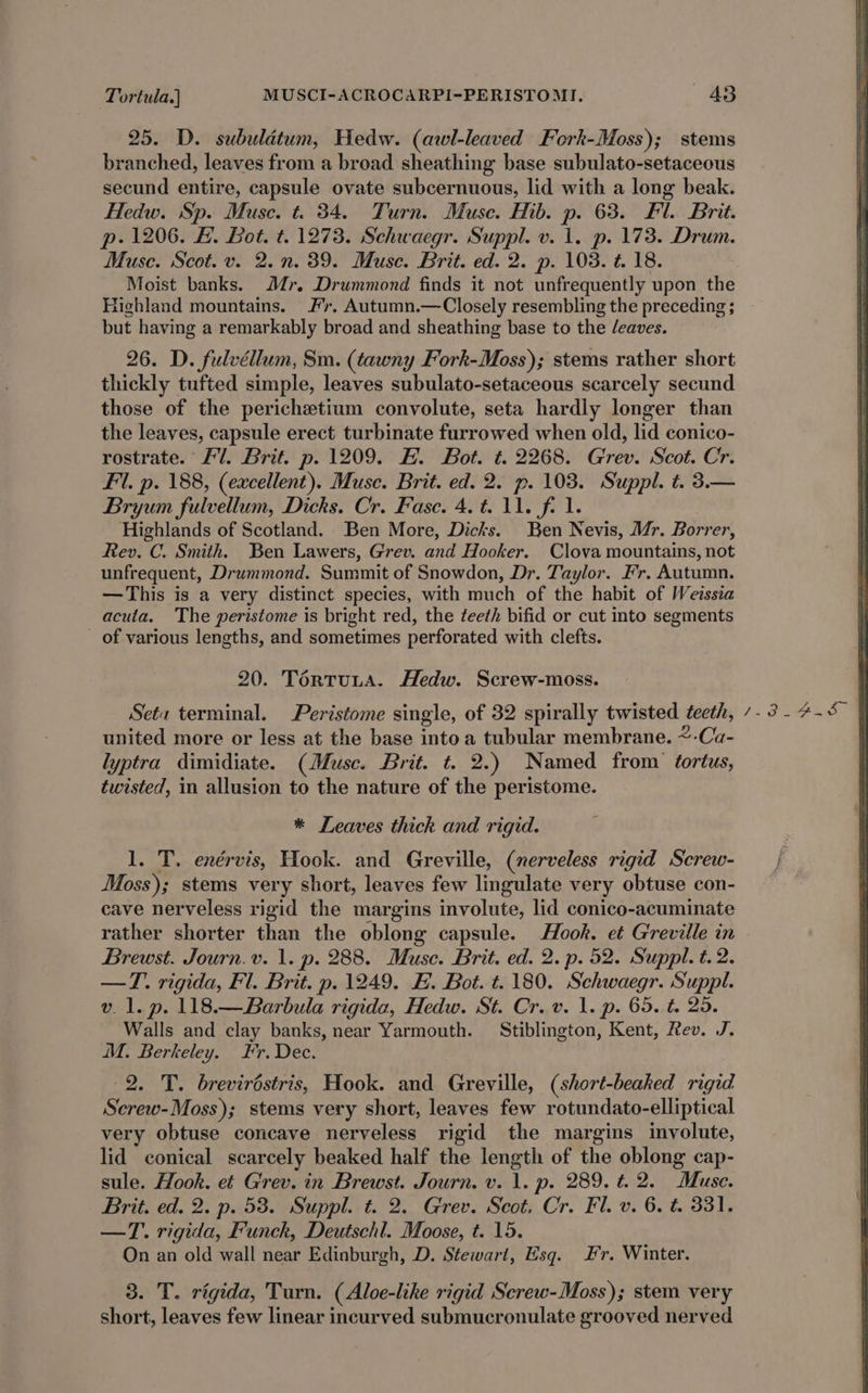 25. D. subuldtum, Hedw. (awl-leaved Fork-Moss); stems branched, leaves from a broad sheathing base subulato-setaceous secund entire, capsule ovate subcernuous, lid with a long beak. Hedw. Sp. Muse. t. 34. Turn. Muse. Hib. p. 63. Fl. Brit. p- 1206. &amp;. Bot. t. 1273. Schwaegr. Suppl. v. 1. p. 173. Drum. Muse. Scot. v. 2.n. 39. Muse. Brit. ed. 2. p. 103. ¢. 18. Moist banks. Mr. Drummond finds it not unfrequently upon the Highland mountains. /’r. Autumn.—Closely resembling the preceding ; but having a remarkably broad and sheathing base to the /eaves. 26. D. fulvéllum, Sm. (tawny Fork-Moss); stems rather short thickly tufted simple, leaves subulato-setaceous scarcely secund those of the perichetium convolute, seta hardly longer than the leaves, capsule erect turbinate furrowed when old, lid conico- rostrate. fl. Brit. p. 1209. EF. Bot. ¢. 2268. Grev. Scot. Cr. Fi. p. 188, (excellent). Muse. Brit. ed. 2. p. 103. Suppl. t. 3.— Bryum fulvellum, Dicks. Cr. Fase. 4. t. 11. f. 1. Highlands of Scotland. Ben More, Dicks. Ben Nevis, Mr. Borrer, Rev. C. Smith. Ben Lawers, Grev. and Hooker. Clova mountains, not unfrequent, Drummond. Summit of Snowdon, Dr. Taylor. Fr. Autumn. —This is a very distinct species, with much of the habit of Weissia acuia. The peristome is bright red, the teeth bifid or cut into segments of various lengths, and sometimes perforated with clefts. 20. Tortuta. Hedw. Screw-moss. Seta terminal. Peristome single, of 32 spirally twisted teeth, united more or less at the base into a tubular membrane. ~-Ca- lyptra dimidiate. (Muse. Brit. t. 2.) Named from ¢ortus, twisted, in allusion to the nature of the peristome. * Leaves thick and rigid. 1. T. enérvis, Hook. and Greville, (nerveless rigid Screw- Moss); stems very short, leaves few lingulate very obtuse con- cave nerveless rigid the margins involute, lid conico-acuminate rather shorter than the oblong capsule. Hook. et Greville in Brewst. Journ. v. 1. p. 288. Muse. Brit. ed. 2. p. 52. Suppl. t. 2. —T. rigida, Fl. Brit. p. 1249. E. Bot. t. 180. Schwaegr. Suppl. v. 1. p. 118.—Barbula rigida, Hedw. St. Cr. v. 1. p. 65. t. 25. Walls and clay banks, near Yarmouth. Stiblington, Kent, Rev. J. MM. Berkeley. Fr. Dec. 2. T. breviréstris, Hook. and Greville, (short-beaked rigid Screw-Moss); stems very short, leaves few rotundato-elliptical very obtuse concave nerveless rigid the margins involute, lid conical scarcely beaked half the length of the oblong cap- sule. Hook. et Grev. in Brewst. Journ. v. 1. p. 289. t. 2. Muse. Brit. ed. 2. p. 53. Suppl. t. 2. Grev. Scot. Cr. Fl. v. 6. t. 331. On an old wall near Edinburgh, D. Stewart, Esq. Fr. Winter. 3. T. rigida, Turn. (Aloe-like rigid Screw-Moss); stem very short, leaves few linear incurved submucronulate grooved nerved 1 POL