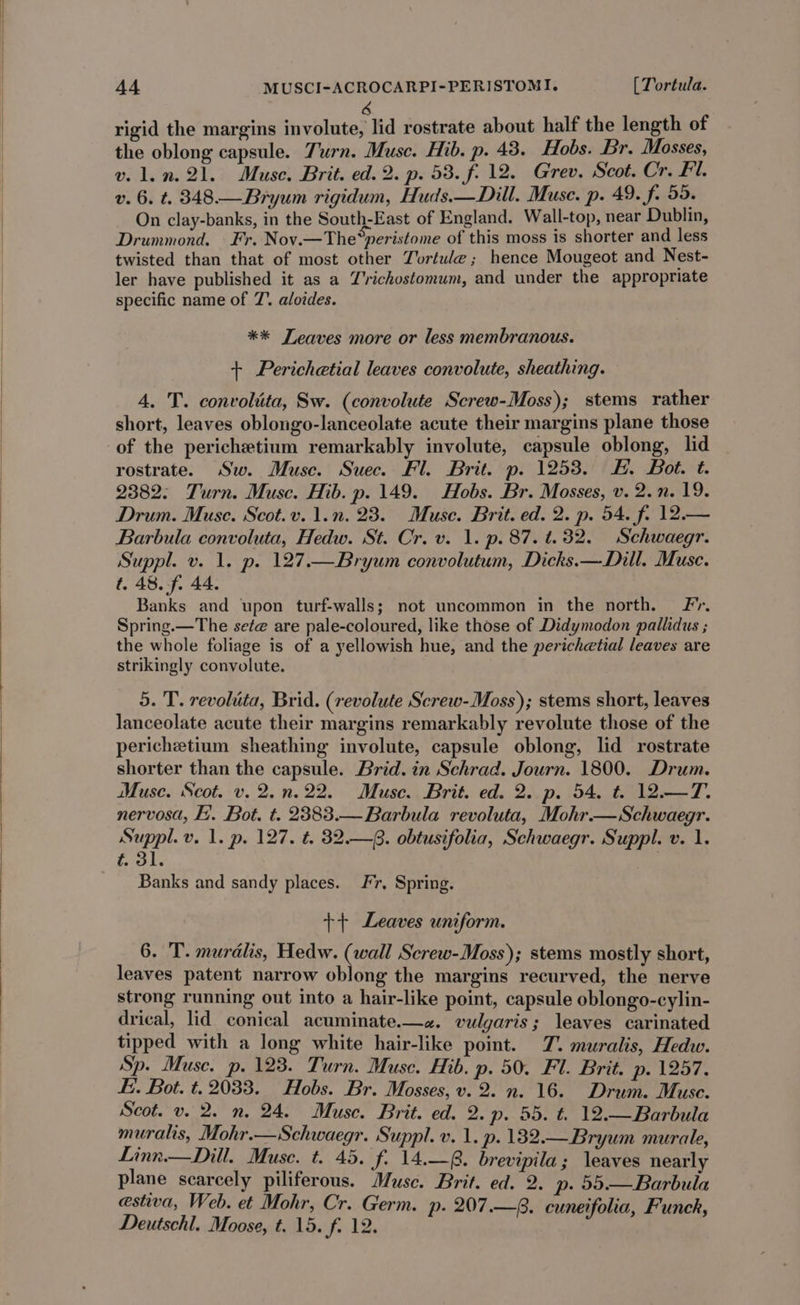 6 rigid the margins involute, lid rostrate about half the length of the oblong capsule. Turn. Muse. Hib. p. 43. Hobs. Br. Mosses, v. len. 21. Muse. Brit. ed. 2. p. 58. f. 12. Grev. Scot. Cr. Fl. v. 6. t. 348.— Bryum rigidum, Huds.—Dill. Muse. p. 49. f. 59. On clay-banks, in the South-East of England. Wall-top, near Dublin, Drummond. Fr. Nov.—The*peristome of this moss is shorter and less twisted than that of most other Tortule; hence Mougeot and Nest- ler have published it as a Y'richostomum, and under the appropriate specific name of 7’. aloides. *%* Leaves more or less membranous. + Perichetial leaves convolute, sheathing. 4. 'T. convolita, Sw. (convolute Screw-Moss); stems rather short, leaves oblongo-lanceolate acute their margins plane those of the perichetium remarkably involute, capsule oblong, lid rostrate. Sw. Muse. Suec. Fl. Brit. p. 1253. HE. Bot. t. 2382: Turn. Muse. Hib. p. 149. Hobs. Br. Mosses, v. 2.n. 19. Drum. Muse. Scot.v. 1.n. 23. Muse. Brit. ed. 2. p. 54. f. 12.— Barbula convoluta, Hedw. St. Cr. v. 1. p. 87. t. 32. Schwaegr. Suppl. v. 1. p. 127.—Bryum convolutum, Dicks.—Dill. Muse. t. 48. f. 44. Banks and upon turf-walls; not uncommon in the north. Fr. Spring.—The sete are pale-coloured, like those of Didymodon pallidus ; the whole foliage is of a yellowish hue, and the perichetial leaves are strikingly convolute. 5. T. revolita, Brid. (revolute Screw-Moss); stems short, leaves lanceolate acute their margins remarkably revolute those of the perichetium sheathing involute, capsule oblong, lid rostrate shorter than the capsule. Brid. in Schrad. Journ. 1800. Drum. Muse. Scot. v. 2.n.22. Muse. Brit. ed. 2. p. 54. t. 12.—T. nervosa, Li. Bot. t. 2383.—Barbula revoluta, Mohr—Schwaegr. Suppl. v. 1. p. 127. t. 32.—8. obtusifolia, Schwaegr. Suppl. v. 1. t. 31. Banks and sandy places. Jr, Spring. ++ Leaves uniform. 6. T. murdlis, Hedw. (wall Screw-Moss); stems mostly short, leaves patent narrow oblong the margins recurved, the nerve strong running out into a hair-like point, capsule oblongo-cylin- drical, lid conical acuminate.—z«. vulgaris; leaves carinated tipped with a long white hair-like point. TZ. muralis, Hedw. Sp. Muse. p. 123. Turn. Muse. Hib. p. 50. Fl. Brit. p. 1257. Ei. Bot. t. 2033. Hobs. Br. Mosses, v. 2. n. 16. Drum. Muse. Scot. v. 2. n. 24. Muse. Brit. ed. 2. p. 55. t. 12.—Barbula muralis, Mohr.—Schwaegr. Suppl. v. 1. p. 182.— Bryum murale, Linn.— Dill. Muse. t. 45. f. 14.—8. brevipila; leaves nearly plane scarcely piliferous. Musc. Brit. ed. 2. p. 55.— Barbula estiva, Web. et Mohr, Cr. Germ. p- 207.—8. cuneifolia, Funck, Deutschl. Moose, t. 15. eles