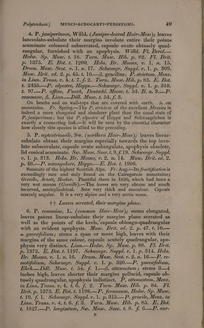 4. P. juniperinum, Willd. (Juniper-leaved Hair-Moss); leaves lanceolato-subulate their margins involute entire their points acuminate coloured subserrated, capsule ovate obtusely quad- rangular, furnished with an apophysis. Willd. Fl. Berol.— Hedw. Sp. Muse. t. 18. Turn. Muse. Hib. p. 82. Fl. Brit. p. 1375. HE. Bot. t. 1200. Hobs. Br. Mosses, v. 1. n. 15. Drum. Muse. Scot. v. 1.n. 17. Schwaegr. Suppl. v.1. p. 309. Muse. Brit. ed. 2. p. 45. t. 10.—6. gracilius; P. strictum, Menz. in Linn. Trans. v. 4. t. 7. f. 2. Turn. Muse. Hib. p. 83. FE. Bot. t. 2435.—P. alpestre, Hoppe-—Schwaegr. Suppl. v. 1. p. 310. t. 97.—P. affine, Funck, Deutschl. Moose, t. 54. B. n. 3.—P. commune, B. Linn.— Dill. Muse. t. 54. f. 3. On heaths and on wall-tops that are covered with earth. #. on mountains. Fr. Spring—The P. strictum of the excellent Menzies is indeed a more elongated and slenderer plant than the usual state of P. juniperinum; but the P. alpestre of Hoppe and Schwaegrichen is exactly a connecting link.—It will be seen by the essential character how closely this species is allied to the preceding. o. P. septentrionale, Sw. (northern Hair-Moss); leaves linear- subulate obtuse their margins especially towards the top invo- lute subserrulate, capsule ovate subangulate, apophysis obsolete, lid conical acuminate. Sw. Muse. Suec.t.9.f.18. Schwaegr. Suppl. v. 1. p. 313. Hobs. Br. Mosses, v. 2. n. 14. Muse. Brit. ed. 2. p. 46.—P. sexangulare, Hoppe-—E. Bot. t. 1906. Summits of the highest Scottish Alps. Fr. Aug.—Its fructification is exceedingly rare and only found on the Cairngorum mountains; Greville, Arnott, Hooker. Plentiful there in 1830, which had been a very wet season (Greville).—The leaves are very obtuse and much incurved, semicylindrical. Sete very thick and succulent. Capsule scarcely angular. It is a very alpine and a very arctic moss. ++ Leaves serrated, their margins plane. 6. P. commine, L. (common Hair-Moss); stems elongated, leaves patent linear-subulate their margins plane serrated as well as the points of the keels,’capsule oblongo-quadrangular with an evident apophysis. Muse. Brit. ed. 2. p. 47. t. 10.— a. yuccefolium; stems a span or more high, leaves with their margins of the same colour, capsule acutely quadrangular, apo- physis very distinct. Linn.—Hedw. Sp. Muse. p. 88. Fl. Brit. p. 1372. H. Bot. t. 1197. Schwaegr. Suppl. v. 1. p. 814. Hobs. Br. Mosses, v. 1. n. 16. Drum. Muse. Scot. v. 2. n. 16.—P. re- motifolium, Schwaegr. Suppl. v. 1. p. 320.—P. yuccefolium, Ehirh.— Dill. Muse. t. 54. fo 1—. atlenuatum ; stems 3—4 ~ inches high, leaves shorter their margins pellucid, capsule ob- tusely quadrangular, apophysis indistinct. P. attenuatum, Menz. in Linn. Trans. v. 4. t. 6. f. 2. Turn. Muse. Hib. p. 84. Fl. Brit. p. 1373. E. Bot. t. 1198.—P. formosum, Hedw. Sp. Muse. t.19. fil. Schwaegr. Suppl. v. 1. p.315.—P. gracile, Menz. in Linn. Trans. v. 4. t. 6. f. 3. Turn. Muse. Hib. p. 85. FE. Bot. t. 1827.—P. longisetum, Sw. Muse. Suec. t. 8. f. 6.—P. aur- E