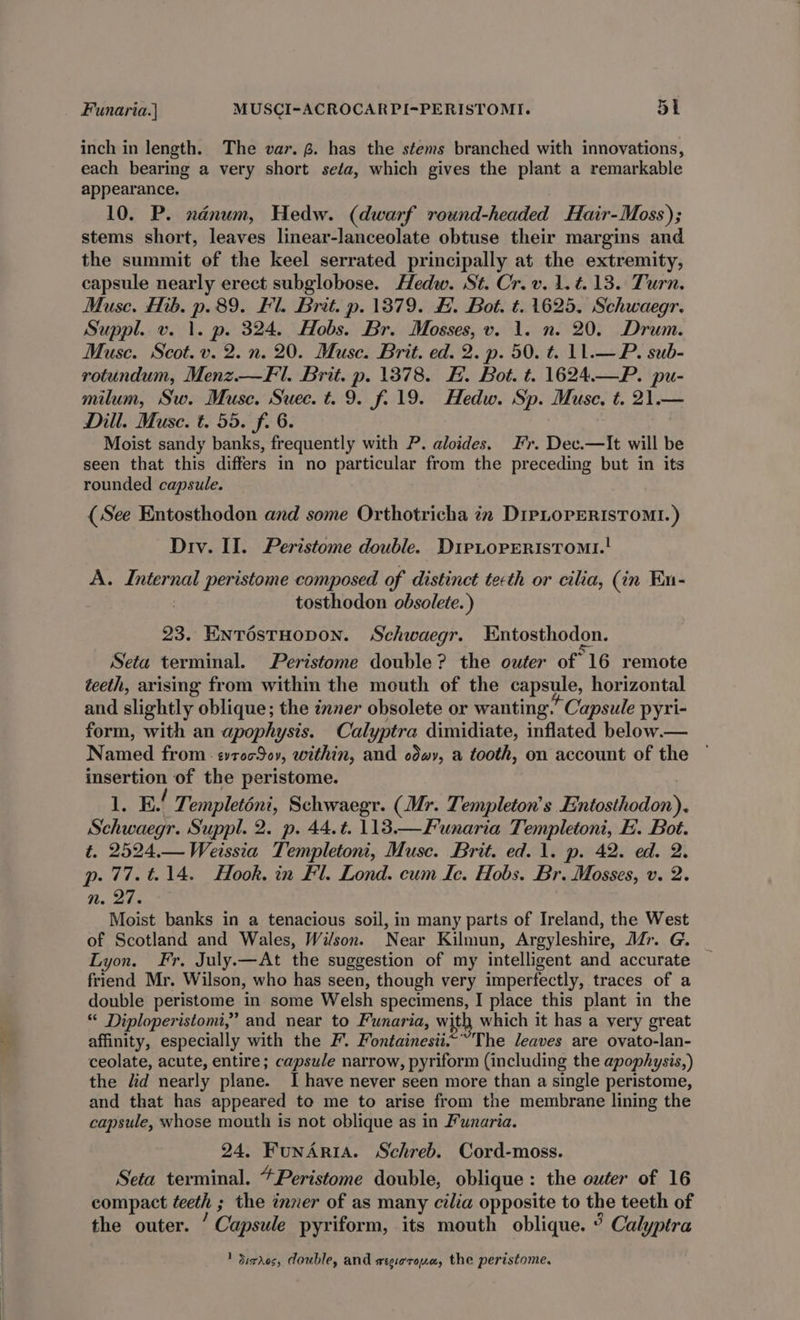 inch in length. The var. g. has the stems branched with innovations, each bearing a very short seta, which gives the plant a remarkable appearance. 10. P. nanum, Hedw. (dwarf round-headed Hair-Moss); stems short, leaves linear-lanceolate obtuse their margins and the summit of the keel serrated principally at the extremity, capsule nearly erect subglobose. Hedw. St. Cr. v. 1.4.13. Turn. Muse. Hib. p. 89. Fl. Brit. p. 1379. £. Bot. t. 1625, Schwaegr. Suppl. v. 1. p. 324. Hobs. Br. Mosses, v. 1. n. 20. Drum. Muse. Scot. v. 2. n. 20. Muse. Brit. ed. 2. p. 50. t. 11.—P. sub- rotundum, Menz.—Fl. Brit. p. 1378. H. Bot. t. 1624.—P. pu- milum, Sw. Muse. Suec. t. 9. f. 19. Hedw. Sp. Muse, t. 21.— Dill. Muse. t. 55. f. 6. Moist sandy banks, frequently with P. aloides. Fr. Dec.—It will be seen that this differs in no particular from the preceding but in its rounded capsule. (See Entosthodon and some Orthotricha in DirLorERIsToMI.) Div. II. Peristome double. DipLoPeRistomi.! A. Internal peristome composed of distinct tecth or cilia, (in Eu- | tosthodon obsolete.) 23. EnréstHoDON. Schwaegr. Entosthodon. Seta terminal. Peristome double? the outer of 16 remote teeth, arising from within the mouth of the capsule, horizontal and slightly oblique; the znner obsolete or wanting.’ Capsule pyri- form, with an apophysis. Calyptra dimidiate, inflated below.— Named from: evroc9ov, within, and odwy, a tooth, on account of the insertion of the peristome. i. E.! Templeténi, Schwaegr. (Mr. Templeton’s Entosthodon), Schwaegr. Suppl. 2. p. 44.t. 1138.—Funaria Templetoni, E. Bot. t. 2524.— Weissia Templetoni, Musc. Brit. ed. 1. p. 42. ed. 2. p. 77.t.14. Hook. in Fl. Lond. cum Ic. Hobs. Br. Mosses, v. 2. nN. 27 Moist banks in a tenacious soil, in many parts of Ireland, the West of Scotland and Wales, Wilson. Near Kilmun, Argyleshire, Mr. G. Lyon. Fr. July.—At the suggestion of my intelligent and accurate friend Mr. Wilson, who has seen, though very imperfectly, traces of a double peristome in some Welsh specimens, I place this plant in the “ Diploperistomi,” and near to Funaria, wit which it has a very great affinity, especially with the F. Fontainesii.“~’The leaves are ovato-lan- ceolate, acute, entire; capsule narrow, pyriform (including the apophysis,) the lid nearly plane. I have never seen more than a single peristome, and that has appeared to me to arise from the membrane lining the capsule, whose mouth is not oblique as in Funaria. 24. FunAr1IA. Schreb. Cord-moss. Seta terminal. *Peristome double, oblique : the outer of 16 compact teeth ; the inner of as many cilia opposite to the teeth of the outer. ’ Capsule pyriform, its mouth oblique. ° Calyptra 1 Sirdos, double, and wecioroen, the peristome,
