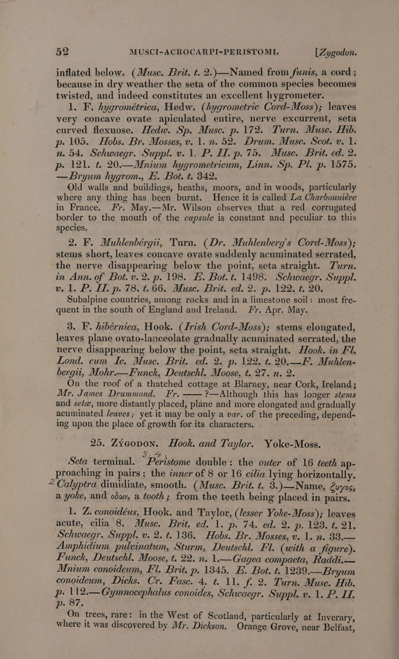 inflated below. (Muse. Brit. t. 2.)—Named from funis, a cord ; because in dry weather the seta of the common species becomes twisted, and indeed constitutes an excellent hygrometer. 1. F. hygrométrica, Hedw. (iygrometrie Cord-Moss); leaves very concave ovate apiculated entire, nerve excurrent, seta curved flexuose. Hedw. Sp. Muse. p. 172. Turn. Muse. Hib. p- 105. Hobs. Br. Mosses, v. 1. n. 52. Drum. Muse. Scot. v. 1. n. 54, Schwaegr. Suppl. v. 1. P. IL. p. 75. Muse. Brit. ed. 2. p. 121. t. 20.—Mnium hygrometricum, Linn. Sp. Pl. p. 1575. —Bryum hygrom., E. Bot. t. 342. Old walls and buildings, heaths, moors, and in woods, particularly where any thing has been burnt. Hence it is called La Charbonniére in France. Fr. May.—Mr. Wilson cbserves that a red corrugated border to the mouth of the capsule is constant and peculiar to this species. 2. F. Muhlenbérgii, Turn. (Dr. Muhlenberg’s Cord-Moss); stems short, leaves concave ovate suddenly acuminated serrated, the nerve disappearing below the point, seta straight. Turn. in Ann. of Bot. v. 2. p. 198. FE. Bot. t. 1498. Schwaegr. Suppl. v. 1. P. IL. p. 78. t. 66. Muse. Brit. ed. 2. p. 122. t. 20. Subalpine countries, among rocks and in a limestone soil: most fre- quent in the south of England and Ireland. #r. Apr. May. 3. F. hibérnica, Hook. (Irish Cord-Moss); stems elongated, leaves plane ovato-lanceolate gradually acuminated serrated, the nerve disappearing below the point, seta straight. Hook. in FI. Lond. cum Ic. Muse. Brit. ed. 2. p. 122. t. 20.—F. Muhlen- bergii, Mohr.—Funck, Deutschl. Moose, t. 27. n. 2. On the roof of a thatched cottage at Blarney, near Cork, Ireland; Mr. James Drummond. Fr. ?-—Although this has longer stems and sete, more distantly placed, plane and more elongated and gradually acuminated Jeaves; yet it may be only a var. of the preceding, depend- ing upon the place of growth for its characters. 25. Zyeopon. Hook. and Taylor. Yoke-Moss. 3.4. Seta terminal. Peristome double: the outer of 16 teeth ap- proaching in pairs; the inner of 8 or 16 cilia lying horizontally. “ Calyptra dimidiate, smooth. (Muse. Brit. t. 3.)—Name, Cuyos, a yoke, and odwy, a tooth; from the teeth being placed in pairs. 1. Z. conoidéus, Hook. and Taylor, (lesser Yoke-Moss); leaves acute, cilia 8. Muse. Brit, ed. 1. p. 74. ed. 2. p. 123, t. 21. Schwaegr. Suppl. v. 2. t. 136. Hobs. Br. Mosses, v. 1. n. 33.— Amphidium pulvinatum, Sturm, Deutschl. Fl. (with a figure). Funck, Deutschl. Moose, t. 22. n. 1.— Gagea compacta, Raddi.— Mnium conoideum, Fl. Brit. p. 1345. E. Bot. t. 1239.— Bryum conoideum, Dicks. Cr. Fasc. 4, t. 11. fi 2. Turn. Muse. Hib. Pp: Dial Gymnocephalus conoides, Schwaegr. Suppl. v. 1. P. I. p- 87. On trees, rare: in the West of Scotland, particularly at Inverary, where it was discovered by Mr. Dickson. Orange Grove, near Belfast,