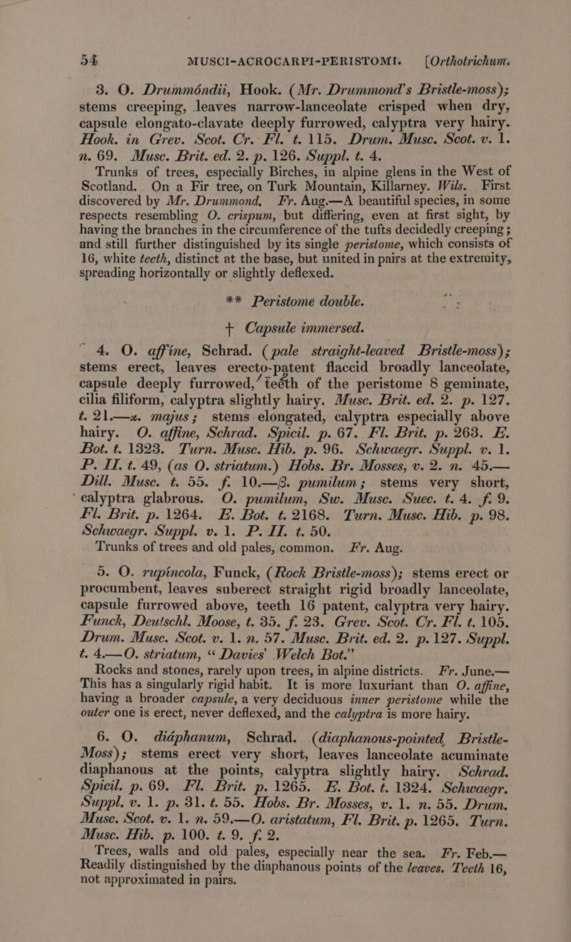 3. O. Drumméndii, Hook. (Mr. Drummond's Bristle-moss); stems creeping, leaves narrow-lanceolate crisped when dry, capsule elongato-clavate deeply furrowed, calyptra very hairy- Hook. in Grev. Scot. Cr. Fl. t. 115. Drum. Muse. Scot. v. 1. n. 69. Muse. Brit. ed. 2. p. 126. Suppl. t. 4. Trunks of trees, especially Birches, in alpine glens in the West of Scotland. On a Fir tree, on Turk Mountain, Killarney. Wils. First discovered by Mr. Drummond, Fr. Aug.—A beautiful species, in some respects resembling O. crispum, but differing, even at first sight, by having the branches in the circumference of the tufts decidedly creeping ; and still further distinguished by its single peristome, which consists of 16, white ¢eeth, distinct at the base, but united in pairs at the extremity, spreading horizontally or slightly deflexed. ** Peristome double. + Capsule immersed. 4. O. affine, Schrad. (pale straight-leaved Bristle-moss) ; stems erect, leaves erecto-patent flaccid broadly lanceolate, capsule deeply furrowed,’ teéth of the peristome § geminate, cilia filiform, calyptra slightly hairy. Musc. Brit. ed. 2. p. 127. t. 21.—xz. majus; stems-elongated, calyptra especially above hairy. O. affine, Schrad. Spicil. p. 67. Fl. Brit. p. 263. H. Bot. t. 1823. Turn. Muse. Hib. p. 96. Schwaegr. Suppl. v. 1. P. IT, t. 49, (as O. striatum.) Hobs. Br. Mosses, v. 2. n. 45.— Dill. Muse. t. 55. f. 10.—8. pumilum; stems very short, ‘ealyptra glabrous. O. pumilum, Sw. Muse. Suec. t. 4. fi 9. fl. Brit. p. 1264. E. Bot. t. 2168. Turn. Muse. Hib. p. 98. Schwaegr. Suppl. v1. P. IT. t. 50. Trunks of trees and old pales, common. Fr. Aug. 5. O. rupincola, Funck, (Rock Bristle-moss); stems erect or procumbent, leaves suberect straight rigid broadly lanceolate, capsule furrowed above, teeth 16 patent, calyptra very hairy. funck, Deutschl. Moose, t. 35. f. 23. Grev. Scot. Cr. Fl. t. 105. Drum. Muse. Scot. v. 1. n. 57. Muse. Brit. ed. 2. p.127. Suppl. t. 4.—O. striatum, “ Davies’ Welch Bot.” Rocks and stones, rarely upon trees, in alpine districts. 77. June. — This has a singularly rigid habit. It is more luxuriant than O. affine, having a broader capsule, a very deciduous inner peristome while the outer one is erect, never deflexed, and the calyptra is more hairy. 6. O. didphanum, Schrad. (diaphanous-pointed Bristle- Moss); stems erect very short, leaves lanceolate acuminate diaphanous at the points, calyptra slightly hairy. Schrad. Spicil. p. 69. Fl. Brit. p. 1265. HE. Bot. t. 1324. Schwaegr. Suppl. v. 1. p. 31. t. 55. Hobs. Br. Mosses, v. 1. n. 55. Drum. Muse, Scot. v. 1. n. 59.—O. aristatum, Fl. Brit. p. 1265. Turn. Muse. Hib. p. 100. t. 9. f. 2. Trees, walls and old pales, especially near the sea. Fr. Feb.— Readily distinguished by the diaphanous points of the leaves. Teeth 16, not approximated in pairs.