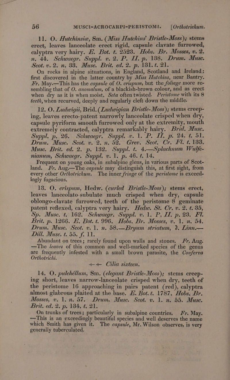 11. O. Autchinsie, Sm. (Miss Hutchins’ Bristle-Moss); stems erect, leaves lanceolate erect rigid, capsule clavate furrowed, cealyptra very hairy. B. Bot. t. 2523. Hobs. Br. Mosses, v. 2. n. 44. Schwaegr. Suppl. v. 2. P. I. p. 138. Drum. Muse. Scot. v. 2. n. 33. Muse. Brit. ed. 2. p. 131. ¢. 21. On rocks in alpine situations, in England, Scotland and Ireland: first discovered in the latter country by Miss Hutchins, near Bantry. Fr, May.—This has the capsule of O. crispum, but the foliage more re- sembling that of O. anomalum, of a blackish-brown colour, and as erect when dry as it is when moist. Seta often twisted. Peristome with its 8 teeth, when recurved, deeply and regularly cleft down the middle. 12. O. Ludwigii, Brid. (Ludwigian Bristle-Moss); stems creep- ing, leaves erecto-patent narrowly lanceolate crisped when dry, capsule pyriform smooth furrowed only at the extremity, mouth extremely contracted, calyptra remarkably hairy. Brid. Muse. Suppl. p. 26. Schwaegr, Suppl. -v. 1. P. I. p. 24. t. dl. Drum. Muse. Scot. v. 2. n. 52. Grev. Scot. Cr. Fl. t. 133. Musc. Brit. ed. 2. p. 132. Suppl. t. 4.—Splachnum Wulfe- nianum, Schwaegr. Suppl. v. 1. p. 46. t. 14. Frequent on young oaks, in subalpine glens, in various parts of Scot- land. Fr. Aug.—The capsule may distinguish this, at first sight, from every other Orthotrichum. The inner fringe of the peristome is exceed- ingly fugacious. 13. O. crispum, Hedw. (curled Bristle-Moss); stems erect, leaves lanceolato-subulate much crisped when dry, capsule oblongo-clavate furrowed, teeth of the peristome 8 geminate patent reflexed, calyptra very hairy. Hedw. St. Cr. v. 2. t. 35, Sp. Muse. t. 162. Schwaegr. Suppl. v. 1. P. I. p. 23. FA. Brit. p. 1266. FB. Bot. t. 996. Hobs. Br. Mosses, v. 1. n. 54. Drum. Muse. Scot. v. 1. n. 58.—Bryum striatum, 9. Linn.— Dill. Muse. t. 55. f. 11. Abundant on trees; rarely found upon walls and stones. Fr. Aug. —The /eaves of this common and well-marked species of the genus are frequently infested with a small brown parasite, the Conferva Orthotrichi. +--+ Cilia sixteen. 14. O. pulchéllum, Sm. (elegant Bristle-Moss); stems creep- ing short, Jeaves narrow-lanceolate crisped when dry, teeth of the peristome 16 approaching in pairs patent (red), calyptra almost glabrous plaited at the base. #. Bot. t. 1787. Hobs. Br. Mosses, v. 1. n. 57. Drum. Muse. Scot. v. 1. n. 55. Muse. Brit. ed. 2. p. 134, #21. On trunks of trees; particularly in subalpine countries. Fr. May. —This is an exceedingly beautiful species and well deserves the name which Smith has given it. The capsule, Mr. Wilson observes, is very generally tuberculated.