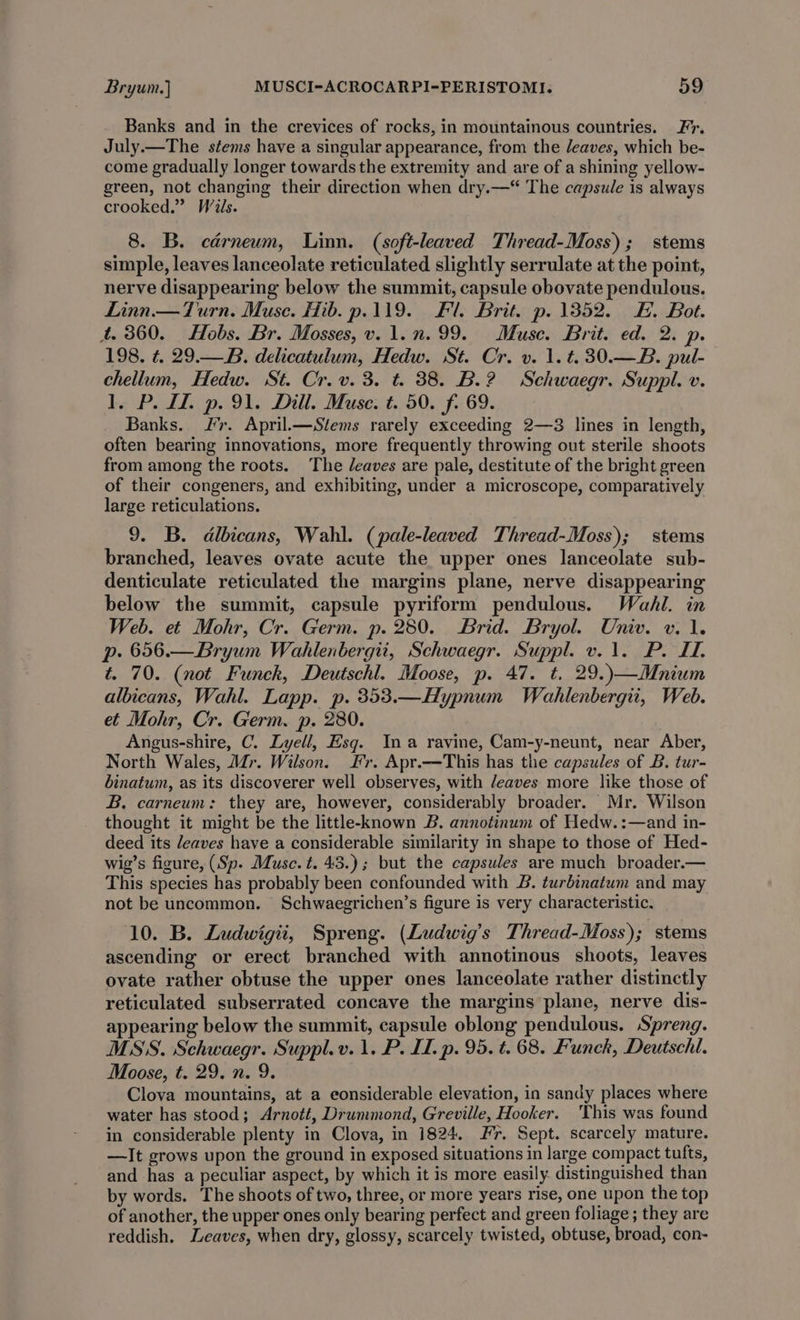 Banks and in the crevices of rocks, in mountainous countries. Fr. July.—The stems have a singular appearance, from the Jeaves, which be- come gradually longer towards the extremity and are of a shining yellow- green, not changing their direction when dry.—* The capsule is always crooked.” Wils. 8. B. carneum, Linn. (soft-leaved Thread-Moss); stems simple, leaves lanceolate reticulated slightly serrulate at the point, nerve disappearing below the summit, capsule obovate pendulous. Linn. — Turn. Muse. Hib. p.119. Fl. Brit. p. 1352. £. Bot. 4. 360. Hobs. Br. Mosses, v.1.n.99. Muse. Brit. ed. 2. p. 198. ¢. 29.—B. delicatulum, Hedw. St. Cr. v. 1. t. 30.—B. pul- chellum, Hedw. St. Cr. v. 3. t. 38. B.2 Schwaegr. Suppl. v. le P. Lh p. 91. Dill. Muse. t. 50. fo 69. Banks. Jr. April.—Stems rarely exceeding 2—3 lines in length, often bearing innovations, more frequently throwing out sterile shoots from among the roots. The /eaves are pale, destitute of the bright green of their congeners, and exhibiting, under a microscope, comparatively large reticulations. 9. B. dlbicans, Wahl. (pale-leaved Thread-Moss); stems branched, leaves ovate acute the upper ones lanceolate sub- denticulate reticulated the margins plane, nerve disappearing below the summit, capsule pyriform pendulous. Wahl. in Web. et Mohr, Cr. Germ. p. 280. Brid. Bryol. Univ. v. 1. p. 656.—Bryum Wahlenbergiit, Schwaegr. Suppl. v. 1. P. I. t. 70. (not Funck, Deutschl. Moose, p. 47. t. 29.)—Mnium albicans, Wahl. Lapp. p. 353.—Hypnum Wahlenbergii, Web. et Mohr, Cr. Germ. p. 280. Angus-shire, C. Lyell, Esq. Ina ravine, Cam-y-neunt, near Aber, North Wales, Mr. Wilson. Fr. Apr.--This has the capsules of B. tur- binatum, as its discoverer well observes, with /eaves more like those of B, carneum: they are, however, considerably broader. Mr. Wilson thought it might be the little-known 2B. annotinum of Hedw.:—and in- deed its /eaves have a considerable similarity in shape to those of Hed- wig’s figure, (Sp. Muse. t. 43.); but the capsules are much broader.— This species has probably been confounded with B. turbinatum and may not be uncommon. Schwaegrichen’s figure is very characteristic. ‘10. B. Ludwigii, Spreng. (Ludwig's Thread-Moss); stems ascending or erect branched with annotinous shoots, leaves ovate rather obtuse the upper ones lanceolate rather distinctly reticulated subserrated concave the margins plane, nerve dis- appearing below the summit, capsule oblong pendulous. Spreng. MSS. Schwaegr. Suppl.v. 1. P. IL. p. 95. t. 68. Funck, Deutschl. Moose, t. 29. n. 9. Clova mountains, at a eonsiderable elevation, in sandy places where water has stood; Arnott, Drummond, Greville, Hooker. This was found in considerable plenty in Clova, in 1824. Fr. Sept. scarcely mature. —It grows upon the ground in exposed situations in large compact tufts, and has a peculiar aspect, by which it is more easily. distinguished than by words. The shoots of two, three, or more years rise, one upon the top of another, the upper ones only bearing perfect and green foliage; they are reddish. eaves, when dry, glossy, scarcely twisted, obtuse, broad, con-