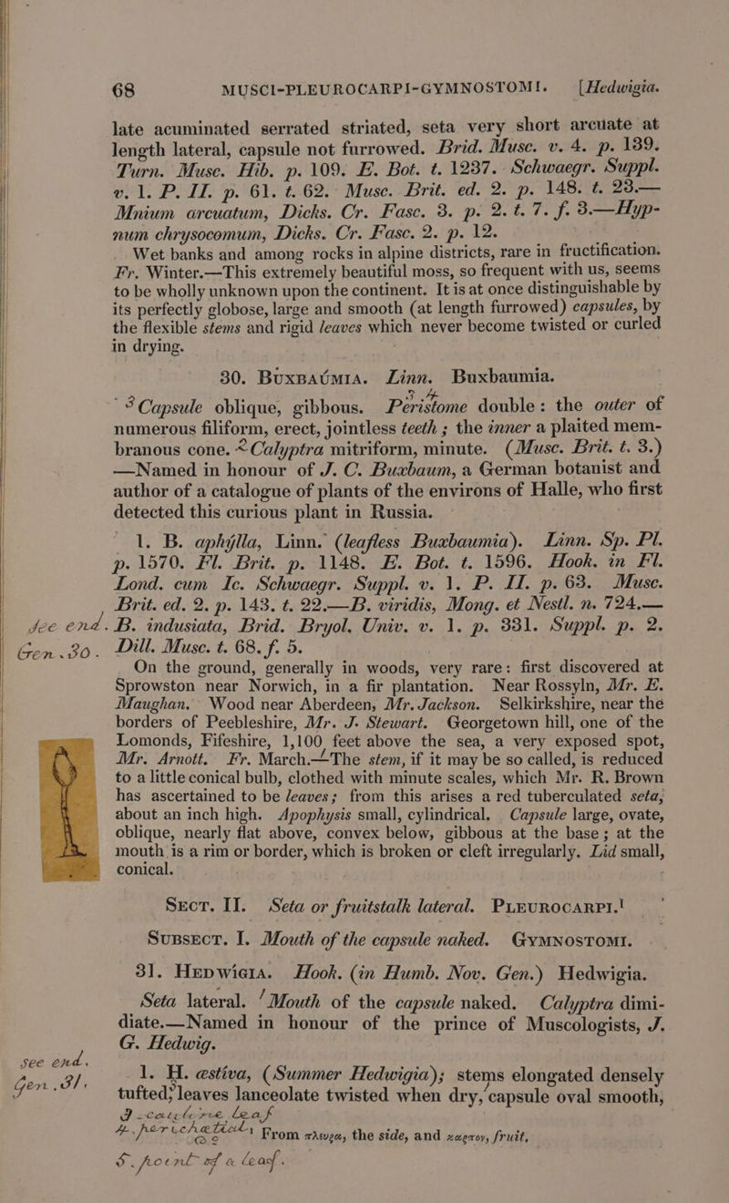Gen .30. see ond , gen. 469i; 68 MUSCI-PLEUROCARPI-GYMNOSTOMI. | Hedwigia. late acuminated serrated striated, seta very short arcuate at length lateral, capsule not furrowed. Brid. Muse. v. 4. p. 139. Turn. Muse. Hib. p. 109. E. Bot. t. 1237. Schwaegr. Suppl. v. 1. P. IL. p. 61. t. 62. Muse. Brit. ed. 2. p. 148. t. 23.— Mnium arcuatum, Dicks. Cr. Fasc. 3. p. 2. t. 7. f. 3.—Hyp- num chrysocomum, Dicks. Cr. Fase. 2. p. 12. Re ah Wet banks and among rocks in alpine districts, rare in fructification. Fr. Winter.—This extremely beautiful moss, so frequent with us, seems to be wholly unknown upon the continent. It is at once distinguishable by its perfectly globose, large and smooth (at length furrowed) capsules, by the flexible stems and rigid /eaves which never become twisted or curled in drying. | 30. Buxpatmia. Linn. Buxbaumia. “Capsule oblique, gibbous. Péristome double : the outer of numerous filiform, erect, jointless teeth ; the inner a plaited mem- branous cone. &lt;Calyptra mitriform, minute. (Muse. Brit. t. 3.) —Named in honour of J. C. Buxbaum, a German botanist and author of a catalogue of plants of the environs of Halle, who first detected this curious plant in Russia. | 1. B. aphylla, Linn. (leafless Buxbaumia). Linn. Sp. Pl. p. 1570. Fl. Brit. p. 1148. E. Bot. t. 1596. Hook, in Fl. Lond. cum Ic. Schwaegr. Suppl. v. 1. P. II. p. 63. Muse. Brit. ed. 2. p. 143. t. 22.—B. viridis, Mong. et Nestl. n. 724,— Dill. Muse. t. 68. f. 5. On the ground, generally in woods, very rare: first discovered at Sprowston near Norwich, in a fir plantation. Near Rossyln, Mr. E. Maughan. Wood near Aberdeen, Mr. Jackson. Selkirkshire, near the borders of Peebleshire, Mr. J. Stewart. Georgetown hill, one of the Lomonds, Fifeshire, 1,100 feet above the sea, a very exposed spot, Mr. Arnott. Fr. March.‘The stem, if it may be so called, is reduced to a little conical bulb, clothed with minute scales, which Mr. R. Brown has ascertained to be leaves; from this arises a red tuberculated seta, about an inch high. Apophysis small, cylindrical. Capsule large, ovate, oblique, nearly flat above, convex below, gibbous at the base; at the mouth is a rim or border, which is broken or cleft irregularly. Zid small, conical. . ; Sect. II. Seta or fruitstalk lateral. Pururocarri.! Sussect. I. Mouth of the capsule naked. GYMNOSTOMI. 31. Hepwiera. Hook. (in Humb. Nov. Gen.) Hedwigia. Seta lateral. ‘Mouth of the capsule naked. Calyptra dimi- diate.—Named in honour of the prince of Muscologists, J. G. Hedwig. 1. H. e@stiva, (Summer Hedwigia); stems elongated densely tufted; leaves lanceolate twisted when dry, ‘capsule oval smooth, Jecawh re leaf 4 per ue peti From satvea, the side, and zeersy, fruit, S pocnl of a leas.