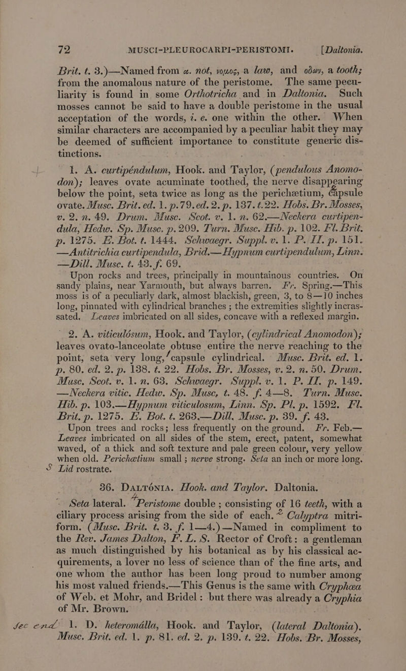 Brit. t. 3.) —Named from a. not, vowog, a law, and oday, a tooth; from the anomalous nature of the peristome. The same pecu- liarity is found in some Orthotricha and in Daltonia. Such mosses cannot be said to have a double peristome in the usual acceptation of the words, 4. e. one within the other. When similar characters are accompanied by a peculiar habit they may be deemed of sufficient importance to constitute generic dis- tinctions. t. A. ecurtipéndulum, Hook. and Taylor, (pendulous Anomo- don); leaves ovate acuminate toothed, the nerve disappearing below the point, seta twice as long as the perichetium, ¢apsule ovate. Muse. Brit. ed. 1. p.79.ed. 2. p. 187. ¢.22. Hobs. Br. Mosses, v. 2.n.49. Drum. Muse. Scot. v. 1. n. 62.—Neckera curtipen- dula, Hedw. Sp. Muse. p.209. Turn. Muse. Hib. p. 102. Fl. Brit. p. 1275. FE. Bot. t.1444, Schwaegr. Suppl. v. 1. P. £1, p. 151. —Antitrichia curtipendula, Brid.— Hypnum eurtipendulum, Linn. —Dill. Muse. t. 48. f. 69. Upon rocks and trees, principally in mountainous countries. On sandy plains, near Yarmouth, but always barren. Jr. Spring.—This moss is of a peculiarly dark, almost blackish, green, 3, to 8—10 inches long, pinnated with cylindrical branches ; the extremities slightly incras- sated. Leaves imbricated on all sides, concave with a reflexed margin. 2. A. viticulésum, Hook. and Taylor, (cylindrical Anomodon); leaves ovato-lanceolate obtuse entire the nerve reaching to the point, seta very long,’ capsule cylindrical. Muse. Brit. ed. 1. p. 80. ed. 2. p. 138. t. 22. Hobs. Br. Mosses, v. 2. n. 50. Drum. Muse. Scot. v. 1. n. 63. Schwaegr. Suppl. v.1. P.M. p. 149. —WNeckera vitic. Hedw. Sp. Muse, t. 48. f. 4—8. Turn. Muse. Mib. p. 103.—Hypnum viticulosum, Linn. Sp. Pl. p. 1592. Fl. Brit. p. 1275. H. Bot. t. 263.—Dill, Muse. p. 39. f. 43. Upon trees and rocks; less frequently on the ground. Fr. Feb.— Leaves imbricated on all sides of the stem, erect, patent, somewhat waved, of a thick and soft texture and pale green colour, very yellow when old. Perichetium small ; nerve strong. Seta an inch or more long. ° Lid rostrate. ; 36. Dauronta. Hook. and Taylor. Daltonia. Seta lateral. Derestoile double ; consisting of 16 teeth, with a ciliary process arising from the side of each. ~ Calyptra mitri- form. (Muse. Brit. t. 3. f. 1—4.)—Named in compliment to the Rev. James Dalton, F. L. S. Rector of Croft: a gentleman as much distinguished by his botanical as by his classical ac- quirements, a lover no less of science than of the fine arts, and one whom the author has been long proud to number among his most valued friends.—This Genus is the same with Cryphaa of Web. et Mohr, and Bridel: but there was already a Cryphia of Mr. Brown. Jec end’ \. D. heteromdlla, Hook. and Taylor, (lateral Daltonia), Muse. Brit. ed. 1. p. 81. ed. 2. p. 139, t. 22. Hobs. Br. Mosses,