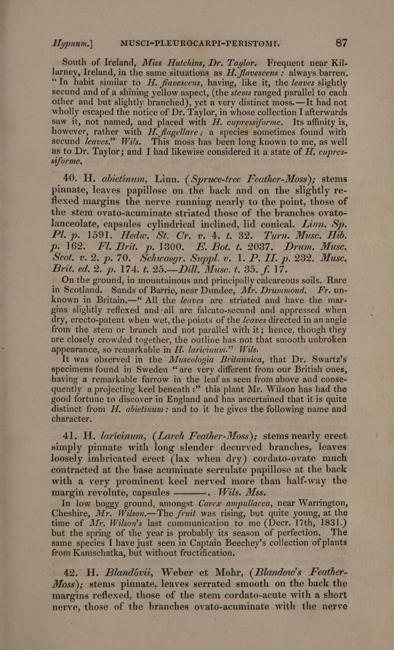 YP South of Ireland, Miss Hutchins, Dr. Taylor. Frequent near Kil- larney, Ireland, in the same situations as H. flavescens : always barren, “In habit similar to H. flavescens, having, like it, the leaves slightly secund and of a shining yellow aspect, (the stems ranged parallel to each other and but slightly branched), yet a very distinct moss.—It had not wholly escaped the notice of Dr. Taylor, in whose collection I afterwards saw it, not named, and placed with H. cupressiforme. Its affinity is, however, rather with H. flagellare; a species sometimes found with secund /eaves.” Wils. This moss has been long known to me, as well as to Dr. Taylor; and I had likewise considered it a state of H. cupres- siforme. | 40. H. abietinum, Linn. (Spruce-tree Feather-Moss); stems pinnate, leaves papillose on the back and on the slightly re- flexed margins the nerve running nearly to the point, those of the stem ovato-acuminate striated those of the branches ovato- lanceolate, capsules cylindrical inclined, lid conical. Linn. Sp. Pl. p. 1591. Hedw. St. Cr. v. 4. t. 32. Turn. Muse. Hib. p. 162. Fl. Brit. p. 1300. £. Bot. t. 2037. Drum. Muse. Scot. v. 2. p. 70. Schwaegr. Suppl. v. 1. P. IT. p. 232. Muse. Brit. ed. 2. p. 174. t. 25.— Dill. Muse. t. 35. f. 17. On the ground, in mountainous and principally calcareous soils. Rare in Scotland. Sands of Barrie, near Dundee, Mr. Drummond. Fr. un- known in Britain.—* All the leaves are striated and have the mar- gins slightly reflexed and-all are falcato-secund and appressed when dry, erecto-patent when wet, the points of the deaves directed in an angle from the stem or branch and not parallel with it; hence, though they are closely crowded together, the outline has not that smooth unbroken appearance, so remarkable in H. laricinum.” Wiis. It was observed in the Muscologia Britannica, that Dr. Swartz’s specimens found in Sweden “are very different from our British ones, having a remarkable furrow in the leaf as seen from above and conse- quently a projecting keel beneath :” this plant Mr. Wilson has had the good fortune to discover in England and has ascertained that it is quite distinct from H, abietinum: and to it he gives the following name and character. 41. H. laricinum, (Larch Feather-Moss); stems nearly erect, simply pinnate with long slender decurved branches, leaves loosely imbricated erect (lax when dry) cordato-ovate much contracted at the base acuminate serrulate papillose at the back with a very prominent keel nerved more than half-way the margin revolute, capsules Wils. Mss. In low boggy ground, amongst Carew ampullacea, near Warrington, Cheshire, Mr. Wilson.—The fruit was rising, but quite young, at the time of Jr. Wilson’s last communication to me (Decr. 17th, 1831.) but the spring of the year is probably its season of perfection. The same species I have just seen in Captain Beechey’s collection of plants from Kamschatka, but without fructification. . 42. H. Blandévii, Weber et Mohr, (Blandow’s Feather- Moss); stems pinnate, leaves serrated smooth on the back the margins reflexed, those of the stem cordato-acute with a short nerve, those of the branches ovato-acuminate with the nerve