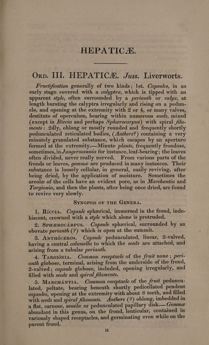 HEPATIC. Orp. III. HEPATIC. Juss. Liverworts. Fructification generally of two kinds; Ist. Capsules, in an early stage covered with a calyptra, which is tipped with an apparent style, often surrounded by a perianth or calyx, at length bursting the calyptra irregularly and rising on a pedun- cle, and opening at the extremity with 2 or 4, or many valves, destitute of operculum, bearing within numerous seeds, mixed (except in Ficcia and perhaps Spherocarpus) with spiral /ila- ments: 2dly, oblong or mostly rounded and frequently shortly pedunculated reticulated bodies, (Anthers?) containing a very minutely granulated substance, which escapes by an aperture formed at the extremity.—Minute plants, frequently frondose, sometimes, in Jungermannia for instance, leaf-bearing ; the leaves often divided, never really nerved. From various parts of the fronds or leaves, gemme are produced in many instances. Their substance is loosely cellular, in general, easily reviving, after being dried, by the application of moisture. Sometimes the areole of the cells have an evident pore, as in Marchantia and Targionia, and then the plants, after being once dried, are found to revive very slowly. SYNOPSIS OF THE GENERA. 1. Riccia. Capsule spherical, immersed in the frond, inde- hiscent, crowned with a style which alone is protruded. 2. SpHzrocArpus. Capsule spherical, surrounded by an obovate perianth (?) which is open at the summit. 3. AnTHécEROs. Capsule pedunculated, linear, 2-valved, having a central columella to which the seeds are attached, and arising from a tubular perianth. 4. Tareionta. Common receptacle of the fruit none ; pert- anth globose, terminal, arising from the underside of the frond, 2-valved ; capsule globose, included, opening irregularly, and filled with seeds and spiral filaments. 5. MarcHAntT1a. Common receptacle of the fruit peduncu- lated, peltate, bearing beneath shortly pedicellated pendent capsules, opening at the extremity with about 8 teeth, and filled with seeds and spiral filaments. Anthers (?) oblong, imbedded in a flat, carnose, sessile or pedunculated papillary disk.— Gemme abundant in this genus, on the frond, lenticular, contained in variously shaped receptacles, and germinating even while on the parent frond. H