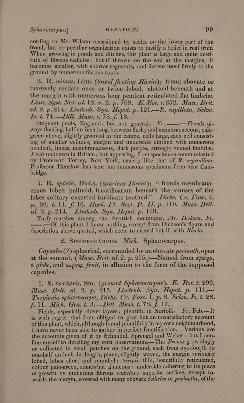 cording to Mr. Wilson occasioned by scales on the lower part of the frond, but no peculiar organization exists to justify a belief in real fruit. When growing in ponds and ditches, this plant is large and quite desti- tute of fibrous radicles: but if thrown on the soil at the margins, it becomes smaller, with shorter segments, and fastens itself firmly to the ground by numerous fibrous roots. 3. R. ndtans, Linn. (broad floating Riccia); frond obovate or inversely cordate once or twice lobed, clothed beneath and at the margin with numerous long pendent reticulated flat fimbrie. Linn, Syst. Nat. ed. 12. v. 2. p. 708, E. Bot. t.252. Muse. Brit. ed. 2. p. 214. Lindenb. Syn. Hepat. p. 121.—R. capillata, Schm. fe. t. 74.—Dill. Muse. t. 78. fo 18. Stagnant pools, England; but not general. Fr. .—Fronds al- ways floating, half an inch long, between fleshy and membranaceous, pale- green above, slightly grooved in the centre, cells large, each cell consist- ing of smaller cellules, margin and underside clothed with numerous pendent, linear, membranaceous, dark purple, strongly veined fimbrie. Fruit unknown in Britain ; but appearing, from specimens communicated by Professor Torrey, New York, exactly like that of R. crystallina. Professor Henslow has sent me numerous specimens from near Cam- bridge. 4. R. spuria, Dicks. (spurious Riccia); “ fronds membrana- ceous lobed pellucid, fructification beneath the sinuses of the lobes solitary exserted turbinate toothed.” Dicks. Cr. Fasc. 4. p. 20. &amp; 11. f. 16. Hook. Fl. Scot. P. I. p. 110. Muse. Brit. ed. 2. p.214. Lindenb. Syn. Hepat. p. 119. Turfy marshes among the Scottish mountains, Mr, Dickson. Fr. .— Of this plant I know nothing, except from Dickson’s figure and description above quoted, which seem to accord but ill with Riccia. 2. SpomrocArpus. Mich. Spherocarpus. Capsules (?) spherical, surrounded by an obovate perianth, open at the summit. (Muse. Brit. ed. 2. p.215.)—Named from paige, a globe, and xaeros, fruit, in allusion to the form of the supposed capsules. 1. S. terréstris, Sm. (ground Spherocarpus). E. Bot. t. 299. Muse. Brit. ed. 2. p. 215. Lindenb. Syn. Hepat. p. 111— Targionia spherocarpa, Dicks. Cr. Fase. 1. p. 8. Schm. Ic, t. 28. f. ll. Mich. Gen. t. 3.— Dill. Muse. t. 78. f. 17. Fields, especially clover layers: plentiful in Norfolk. #7. Feb.—It is with regret that I am obliged to give but an unsatisfactory account of this plant, which, although found plentifully in my own neighbourhood, I have never been able to gather in perfect fructification. Various are the accounts given of it by Schmidel, Sprengel and Weber: but I con- fine myself to detailing my own observations.—The Fronds grow singly or collected in small patches on the ground, each from one-fourth to one-half an inch in length, plane, slightly waved, the margin variously lobed, lobes short and rounded: texture thin, beautifully reticulated, colour pale-green, somewhat glaucous: underside adhering to its place of growth by numerous fibrous radicles ; superior surface, except to- wards the margin, covered with many obovate follicles or perianths, of the