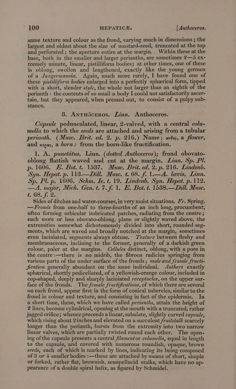 same texture and colour as the frond, varying much in dimensions ; the largest and oldest about the size of mustard-seed, truncated at the top and perforated ; the aperture entire at the margin. Within these at the base, both in the smaller and larger perianths, are sometimes 2—5 ex- tremely minute, linear, pistilliform bodies; at other times, one of these is oblong, swollen and lengthened, exactly like the young germen of a Jungermannia. Again, much more rarely, I have found one of these pistilliform bodies enlarged into a perfectly sphzerical form, tipped with a short, slender style, the whole not larger than an eighth of the perianth : the contents of so small a body I could not satisfactorily ascer- tain, but they appeared, when pressed out, to consist of a pulpy sub- stance. 3. ANTHOcEROS. Linn. Anthoceros. Capsule pedunculated, linear, 2-valved, with a central colu- mella to which the seeds are attached and arising from a tubular perianth. (Muse. Brit. ed. 2. p. 216.) Name; wos, a flower, and xége;, a horn: from the horn-like fructification. 1. A. punctatus, Linn. (dotted Anthoceros); frond obovato- oblong flattish waved and cut at the margin. Linn. Sp. Pl. p- 1606. FH. Bot. t. 1537. Muse. Brit. ed. 2. p. 216. Lindenb. Syn. Hepat. p. 113.—Dill. Muse. t. 68. f. 1.—A. levis, Linn. Sp. Pl. p. 1606. Schm. Ie. t. 19. Lindenb. Syn. Hepat. p. 112. —A. major, Mich. Gen. t. 7. f. 1, E. Bot. t. 15388.—Dill. Muse. t, 68. f. 2. Sides of ditches and water-courses, in very moist situations. Fr. Spring. —Fronds from one-half to three-fourths of an inch long, procumbent, often forming orbicular imbricated patches, radiating from the centre ; each more or less obovato-oblong, plane or slightly waved above, the extremities somewhat dichotomously divided into short, rounded seg- ments, which are waved and broadly notched at the margin, sometimes even laciniated, segments always obtuse. Texture between fleshy and membranaceous, inclining to the former, generally of a darkish green colour, paler at the margins. Cellules distinct, oblong, with a pore in the centre :—there is no midrib, the fibrous radicles springing from various parts of the under surface of the fronds; male and female fructi- Jication generally abundant on the same individual. Anthers exactly spheerical, shortly pedicellated, of a yellowish-orange colour, included in cup-shaped, deeply and sharply laciniated receptacles, on the upper sur- face of the fronds. The female fructifications, of which there are several on each frond, appear first in the form of conical tubercles, similar to the frond in colour and texture, and consisting in fact of the epidermis. In a short time, these, which we have called perianths, attain the height of 2 lines, become cylindrical, opening at the mouth with a truncated, rather jagged orifice; whence proceeds a linear, subulate, slightly curved capsule, which rising about 2 inches and elevated on a succulent fruitstalk scarcely longer than the perianth, bursts from the extremity into two narrow linear valves, which are partially twisted round each other. The open- ing of the capsule presents a central filament or columella, equal in length to the capsule, and covered with numerous roundish, opaque, brown seeds, each of which is marked by lines, indicating its being composed of 3 or 4 smaller bodies :—these are attached by means of short, simple or forked, rather flat, brownish, semipellucid stalks, which have no ap- pearance of a double spiral helix, as figured by Schmidel.