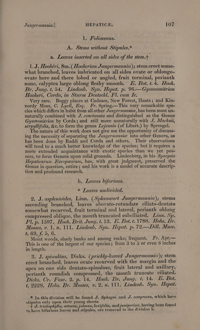 1. Foliaceous. A. Stems without Stipules.* a. Leaves inserted on all sides of the stem 1. J. Hookéri, Sm.(Hookerian Jungermannia); stem erect some- what branched, leaves imbricated on all sides ovate or oblongo- ovate here and there lobed or angled, fruit terminal, perianth none, calyptra large oblong fleshy smooth. H. Bot. t. 4. Hook. Br. Jung. t. 54. Lindenb. Syn. Hepat. p. 96.—Gymnomitrion Hookeri, Corda, in Sturm Deutschl. Fl. cum Le. Very rare. Boggy places at Cadnam, New Forest, Hants; and Kin- nordy Moss, C. Lyell, Esq. Fr. Spring.—This very remarkable spe- cies which differs in habit from all other Jungermannia, has been most un- naturally combined with J. concinnata and distinguished as the Genus Gymnomitrion by Corda; and still more unnaturally with J. Mackaii, serpyllifolia, &amp;c. to form the genus Lejeunia (of Libert.) by Sprengel. The nature of this work does not give me the opportunity of discuss- ing the necessity of separating the Jungermannie into other Genera, as has been done by Raddi and Corda and others. Their observations will tend to a much better knowledge of the species; but it requires a more extended acquaintance with exotic species than we yet pos- sess, to form Genera upon solid grounds. Lindenberg, in his Synopsis. Hepaticarum Europearum, has, with great judgment, preserved the Genus in question, entire; and his work is a model of accurate descrip- tion and profound research. b. Leaves bifarious. * Leaves undivided. 2. J. asplenioides, Linn. (Spleenwort Jungermannia); stems ascending branched, leaves obovato-rotundate ciliato-dentate somewhat recurved, fruit terminal and lateral, perianth oblong compressed oblique, the mouth truncated subciliated. Linn. Sp. Pl. p. 1597. Hook. Brit. Jung. t. 13. H. Bot. t. 1788. Hobs. Br. Mosses, v. 1. n. 111. Lindenb. Syn. Hepat. p.72—Dill. Muse. é. 69. f. 5, 6. Moist woods, shady banks and among rocks; frequent. Fr. Apr.— This is one of the largest of our species; from 3 to 5 or even 6 inches in length. ; 3. J. spinulésa, Dicks. (prickly-leaved Jungermannia); stem erect branched, leaves ovate recurved with the margin and the apex on one side dentato-spinulose, fruit lateral and axillary, perianth roundish compressed, the mouth truncate ciliated. Dicks. Cr. Fasc. 2. p. 14. Hook. Br. Jung. t. 14. &amp;. Bot. t, 2228. Hobs. Br. Mosses, v. 2. n. 111. Lindenb. Syn. Hepat. _* In this division will be found J. Sphagni and J. compressa, which have stipules only upon their young shoots. arcane k + J. trichophylla, setacea, julacea, laxifolia, and juniperina, having been found to have bifarious leaves and stipules, are removed to the division b.