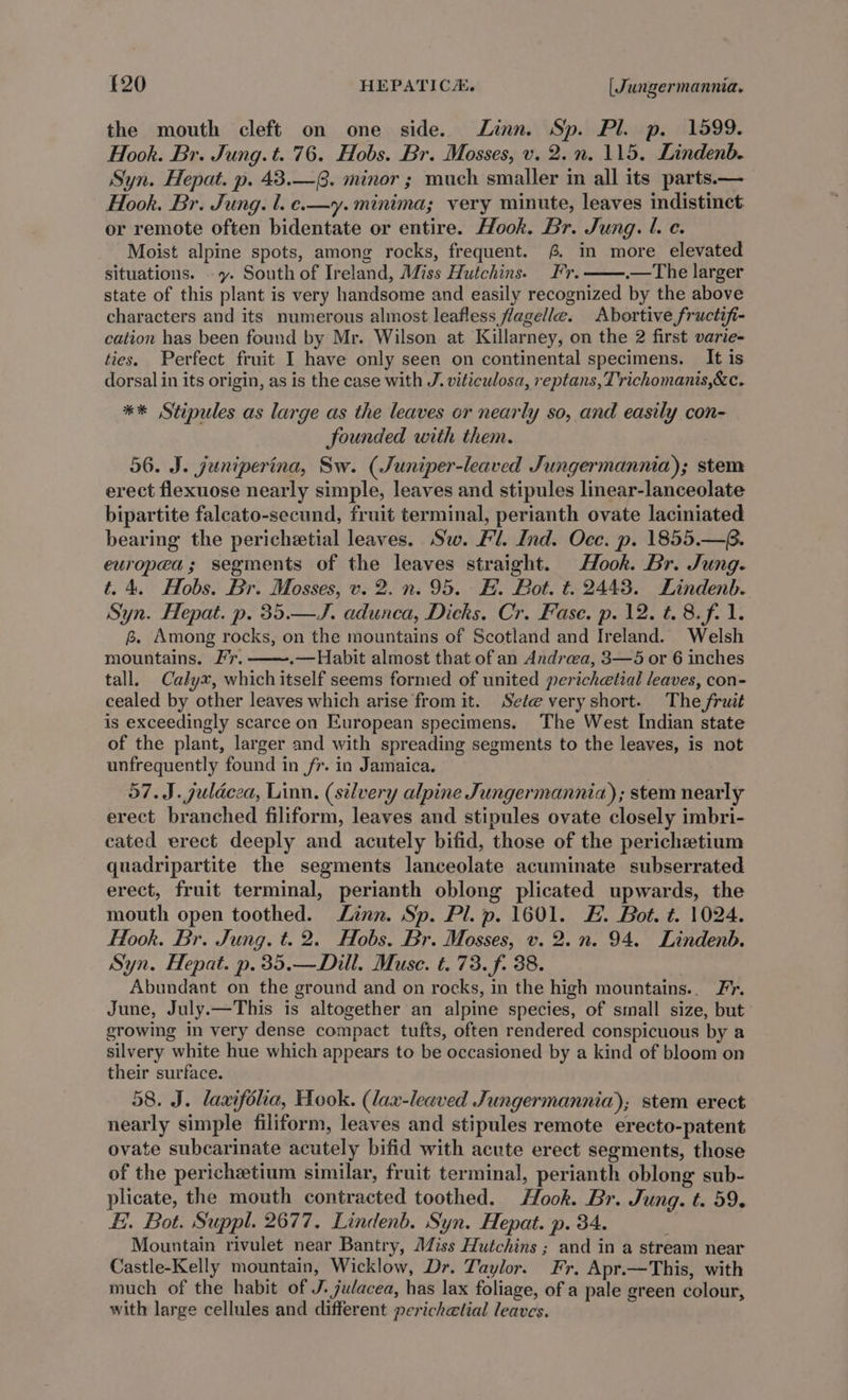 the mouth cleft on one side. Linn. Sp. Pl. p. 1599. Hook. Br. Jung. t. 76. Hobs. Br. Mosses, v. 2. n. 115. Lindenb. Syn. Hepat. p. 43.—. minor ; much smaller in all its parts.— Hook. Br. Jung. l. e.—y. minima; very minute, leaves indistinct or remote often bidentate or entire. Hook. Br. Jung. l. c. Moist alpine spots, among rocks, frequent. (@ in more elevated situations. -y. South of Ireland, Miss Hutchins. Fr. .—The larger state of this plant is very handsome and easily recognized by the above characters and its numerous almost leafless flagella. Abortive fructifi- cation has been found by Mr. Wilson at Killarney, on the 2 first varie- ties. Perfect fruit I have only seen on continental specimens. It is dorsal in its origin, as is the case with J. viticulosa, reptans, Trichomanis,&amp;c. ** Stipules as large as the leaves or nearly so, and easily con- founded with them. 56. J. guniperina, Sw. (Juniper-leaved Jungermannia); stem erect flexuose nearly simple, leaves and stipules linear-lanceolate bipartite falcato-secund, fruit terminal, perianth ovate laciniated bearing the perichetial leaves. Sw. Fl. Ind. Occ. p. 1855.—. europea; segments of the leaves straight. Hook. Br. Jung. t. 4. Hobs. Br. Mosses, v. 2. n. 95. H. Bot. t. 2443. Lindenb. Syn. Hepat. p. 35.— J. adunca, Dicks. Cr. Fase. p. 12. t. 8.f. 1. &amp;. Among rocks, on the mountains of Scotland and Ireland. Welsh mountains. Fr. .—Habit almost that of an Andrea, 3—5 or 6 inches tall. Calyx, which itself seems formed of united perichetial leaves, con- cealed by other leaves which arise fromit. Sete very short. The fruit is exceedingly scarce on European specimens. The West Indian state of the plant, larger and with spreading segments to the leaves, is not unfrequently found in fr. in Jamaica. 57. J. guldcea, Linn. (silvery alpine Jungermannia); stem nearly erect branched filiform, leaves and stipules ovate closely imbri- cated erect deeply and acutely bifid, those of the perichetium quadripartite the segments lanceolate acuminate subserrated erect, fruit terminal, perianth oblong plicated upwards, the mouth open toothed. Linn. Sp. Pl. p. 1601. £. Bot. t. 1024. Hook. Br. Jung. t. 2. Hobs. Br. Mosses, v. 2.n. 94. Lindenb. Syn. Hepat. p.35.—Dill. Muse. t. 73. f. 38. Abundant on the ground and on rocks, in the high mountains.. Fr. June, July.—This is altogether an alpine species, of small size, but growing in very dense compact tufts, often rendered conspicuous by a silvery white hue which appears to be occasioned by a kind of bloom on their surface. 58. J. laxifolia, Hook. (lax-leaved Jungermannia); stem erect nearly simple filiform, leaves and stipules remote erecto-patent ovate subcarinate acutely bifid with acute erect segments, those of the pericheetium similar, fruit terminal, perianth oblong sub- plicate, the mouth contracted toothed. Hook. Br. Jung. t. 59. Ei. Bot. Suppl. 2677. Lindenb. Syn. Hepat. p. 34. Mountain rivulet near Bantry, Miss Hutchins ; and in a stream near Castle-Kelly mountain, Wicklow, Dr. Taylor. Fr, Apr.—This, with much of the habit of J. judacea, has lax foliage, of a pale green colour, with large cellules and different perichetial leaves.