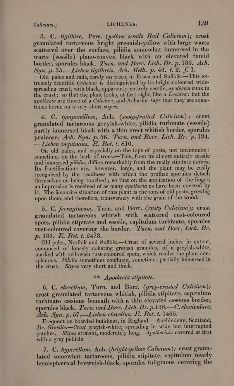 3. C. tigilldre, Pers. (yellow sessile Rail Calicium); crust granulated tartareous bright greenish-yellow with large warts scattered over the surface, pilidia somewhat immersed in the warts (sessile) plano-convex black with an elevated tumid border, sporules black. Turn. and Borr. Lich. Br. p.133. Ach. Syn. p. 55.—Lichen tigillaris, Ach. Meth. p. 46. t. 2. f. 1. Old pales and rails, rarely on trees, in Essex and Suffolk.—This ex- tremely beautiful Calicium is distinguished by its bright-coloured wide- spreading crust, with black, apparently entirely sessile, apothecia sunk in the crust; so that the plant looks, at first sight, like a Lecidea: but the apothecia are those of a Calicium, and Acharius says that they are some- times borne on a very short stipes. 4. ©. tympanéllum, Ach. (sooty-fruited Calicium); crust granulated tartareous greyish-white, pilidia turbinate (sessile) partly immersed black with a thin erect whitish border, sporules pruinose. Ach. Syn. p.56. Turn. and Borr. Lich. Br. p. 134. —Lichen inquinans, E. Bot. t. 810. On old pales, and especially on the tops of posts, not uncommon: sometimes on the bark of trees.—This, from its almost entirely sessile and immersed pilidia, differs remarkably from the really stipitate Calicia, Its fructifications are, however, large, and the plant may be easily recognized by the readiness with which the profuse sporules detach themselves on being touched ; so that on the application of the finger, an impression is received of as many apothecia as have been covered by it. The favourite situation of this plant is the tops of old posts, growing upon them, and therefore, transversely with the grain of the wood. 5. C. ferrugineum, Turn. and Borr. (rusty Calicium); crust granulated tartareous whitish with scattered rust-coloured spots, pilidia stipitate and sessile, capitulum turbinate, sporules rust-coloured covering the border. Zurn. and Borr, Lich. Br. p. 136. H. Bot. t. 2473. Old pales, Norfolk and Suffolk.—Crust of several inches in extent, composed of loosely cohering greyish granules, of a greyish-white, marked with yellowish rust-coloured spots, which render the plant con- spicuous. Pilidia sometimes confluent, sometimes partially immersed in the crust. Stipes very short and thick. ** Anpothecia stipitate. 6. C. clavéllum, Turn. and Borr. (grey-crusted Calicium); crust granulated tartareous whitish, pilidia stipitate, capitulum turbinate cesious beneath with a thin elevated cesious border, sporules black. Turn. and Borr. Lich. Br. p.138.— C. claviculare, Ach. Syn. p. 57.—Lichen clavellus, EL. Bot. t. 1465. Frequent on boarded buildings, in England. Auchindeny, Scotland, Dr. Greville-—Crust greyish-white, spreading in wide but interrupted patches. Stipes straight, moderately long. Apothecium covered at first with a grey pellicle. 7. C. hyperéllum, Ach. (bright-yellow Calicium); crust granu- lated somewhat tartareous, pilidia stipitate, capitulum nearly hemispherical brownish-black, sporules fuligmous covering the