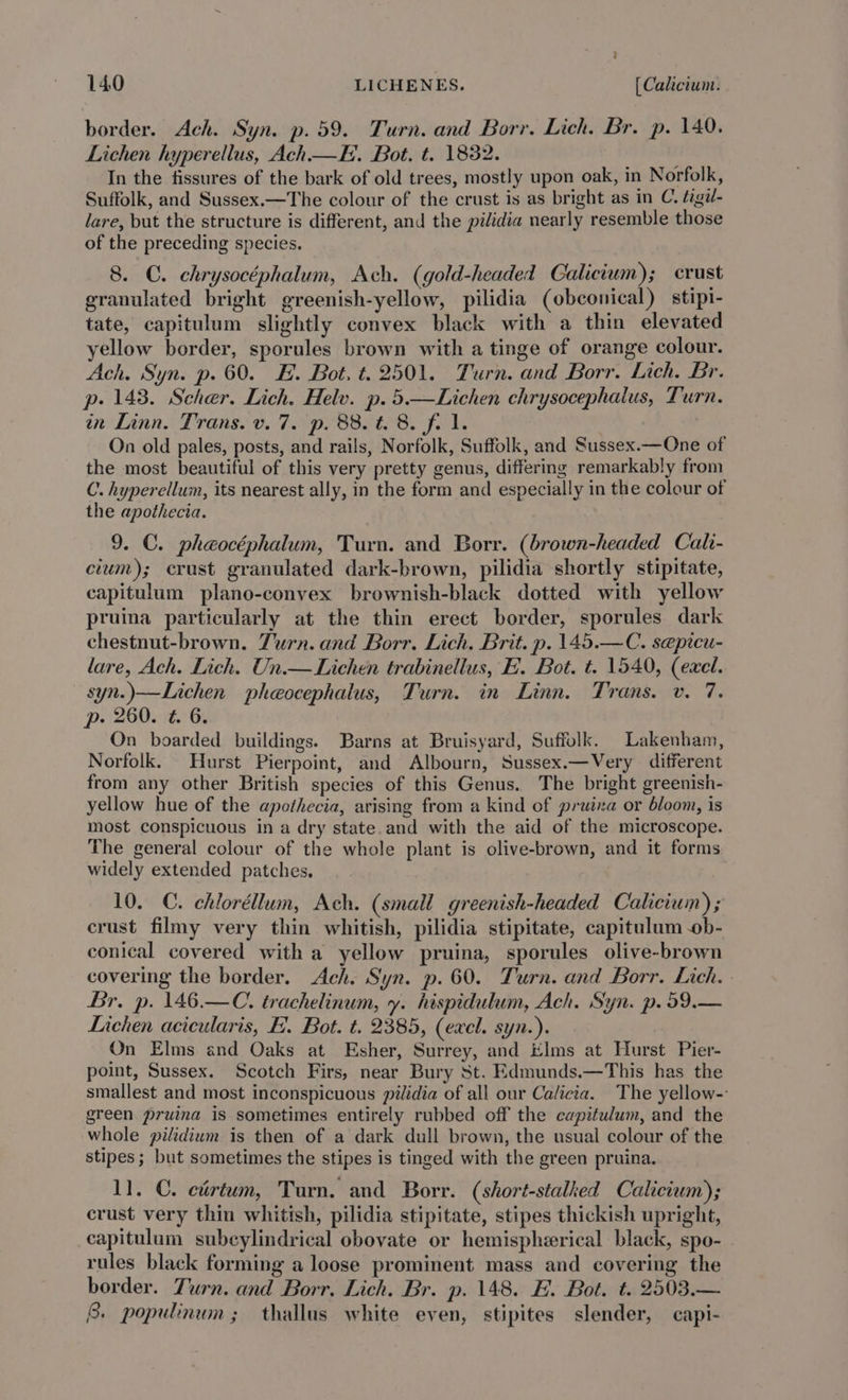 border. Ach. Syn. p. 59. Turn. and Borr. Lich. Br. p. 140. Lichen hyperellus, Ach—E. Bot. t. 1832. In the fissures of the bark of old trees, mostly upon oak, in Norfolk, Suffolk, and Sussex.—The colour of the crust is as bright as in C. figil- lare, but the structure is different, and the pilidia nearly resemble those of the preceding species. 8. C. chrysocéphalum, Ach. (gold-headed Galicium); crust granulated bright greenish-yellow, pilidia (obconical) stipi- tate, capitulum slightly convex black with a thin elevated yellow border, sporules brown with a tinge of orange colour. Ach. Syn. p. 60. E. Bot, t. 2501. Turn. and Borr. Lich. Br. p- 143. Scher. Lich. Helv. p. 5.—Lichen chrysocephalus, Turn. in Linn. Trans. v. 7. p. 88. t. 8. f. 1. On old pales, posts, and rails, Norfolk, Suffolk, and Sussex.—One of the most beautiful of this very pretty genus, differmg remarkably from C. hyperellum, its nearest ally, in the form and especially in the colour of the apothecia. 9. C. phaocéphalum, Turn. and Borr. (brown-headed Cali- cium); crust granulated dark-brown, pilidia shortly stipitate, capitulum plano-convex brownish-black dotted with yellow pruina particularly at the thin erect border, sporules dark chestnut-brown. Turn. and Borr. Lich. Brit. p. 145.—C. sepicu- lare, Ach. Lich. Un.— Lichen trabinellus, EF. Bot. t. 1540, (excel. syn.)—Lichen pheocephalus, Turn. in Linn. Trans. v. 7. p. 260. @ 6. On boarded buildings. Barns at Bruisyard, Suffolk. Lakenham, Norfolk. Hurst Pierpoint, and Albourn, Sussex.—Very different from any other British species of this Genus. The bright greenish- yellow hue of the apothecia, arising from a kind of pruina or bloom, is most conspicuous in a dry state.and with the aid of the microscope. The general colour of the whole plant is olive-brown, and it forms widely extended patches, 10. C. chloréllum, Ach. (small greenish-headed Calicium); crust filmy very thin whitish, pilidia stipitate, capitulum -ob- conical covered with a yellow pruina, sporules olive-brown covering the border. Ach. Syn. p.60. Turn. and Borr. Lich. - Br. p. 146.—C. trachelinum, y. hispidulum, Ach. Syn. p.59.— Lichen acicularis, EB. Bot. t. 2385, (excl. syn.). On Elms and Oaks at Esher, Surrey, and Elms at Hurst Pier- point, Sussex. Scotch Firs, near Bury St. Edmunds.—This has the smallest and most inconspicuous pilidia of all our Calicia. The yellow-- green pruina is sometimes entirely rubbed off the capitulum, and the whole pitidium is then of a dark dull brown, the usual colour of the stipes; but sometimes the stipes is tinged with the green pruina. 11. C. ctéirtum, Turn. and Borr. (short-stalked Calicium); crust very thin whitish, pilidia stipitate, stipes thickish upright, capitulum subcylindrical obovate or hemispherical black, spo- rules black forming a loose prominent mass and covering the border. Turn. and Borr, Lich. Br. p. 148. E. Bot. t. 2503.— 8. populinum; thallus white even, stipites slender, capi-