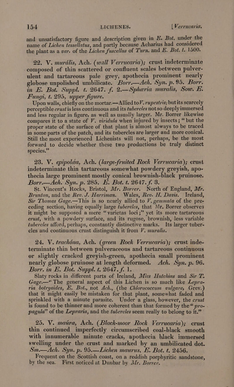and unsatisfactory figure and description given in H. Bot. under the name of Lichen tessellatus, and partly because Acharius had considered the plant as a var. of the Lichen fuscellus of Turn. and E. Bot, t. 1500. 22. V. murdlis, Ach. (wall Verrucaria); crust indeterminate -composed of thin scattered or confluent scales between pulver- ulent and tartareous pale grey, apothecia prominent nearly globose unpolished umbilicate. Borr.—Ach. Syn. p. 95. Borr. in E. Bot. Suppl. t. 2647. f. 2.—Spheria muralis, Sow. E. Fungi, t. 295, upper figure. Upon walls, chiefly on the mortar.—Allied toV. rupestris; but its scarcely perceptible crust is less continuous and its tubercles not so deeply immersed and less regular in figure, as well as usually larger. Mr. Borrer likewise compares it to a state of V. viridula when injured by insects ; “ but the proper state of the surface of that plant is almost always to be traced in some parts of the patch, and its tubercles are larger and more conical. Still the most experienced Lichenists will not, perhaps, be the most forward to decide whether these two productions be truly distinct species.” 23. V. epipoleéa, Ach. (large-fruited Rock Verrucaria); crust indeterminate thin tartareous somewhat powdery greyish, apo- thecia large prominent mostly conical brownish-black pruinose. Borr—Ach. Syn. p. 285. EH. Bot. t. 2647. f. 3. St. Vincent’s Rocks, Bristol, Afr. Borrer. North of England, Mr. Brunton, and the Rev. J. Harriman. Wales, Rev. H. Davis. Ireland, Sir Thomas Gage.—This is so nearly allied to V. gemmata of the pre- ceding section, having equally large tubercles, that Mr. Borrer observes it might be supposed a mere “varietas loci;” yet its more tartareous crust, with a powdery surface, and its rugose, brownish, less variable tubercles afford, perhaps, constantly distinctive marks. Its larger tuber- cles and continuous crust distinguish it from V. muralis. 24. V. trachéna, Ach. (green Rock Verrucaria); crust inde- terminate thin between pulveraceous and tartareous continuous or slightly cracked greyish-green, apothecia small prominent nearly globose pruinose at length deformed. Ach. Syn. p. 96. Borr. in EF. Bot. Suppl. t. 2647. f. 1. Slaty rocks in different parts of Ireland, Miss Hutchins and Sir T. Gage.—“ The general aspect of this Lichen is so much like Lepra- ria botryoides, EH. Bot., not Ach., (the Chlorococeum vulgare, Grev.) that it might easily be mistaken for that plant, somewhat faded and sprinkled with a minute parasite. Under a glass, however, the crust is found to be thinner and more coherent than that formed by the“ pro- . pagula” of the Lepraria, and the tuercles seem really to belong to it.” 25. V. matra, Ach. (Black-moor Rock Verrucaria); crust thin continued imperfectly circumscribed coal-black smooth with innumerable minute cracks, apothecia black immersed swelling under the crust and marked by an umbilicated dot. Sm.—Ach. Syn. p. 95.—Lichen maurus, E. Bot. t. 2456. Frequent on the Scottish coast, on a reddish porphyritic sandstone, by the sea. First noticed at Dunbar by Jr. Borrer.