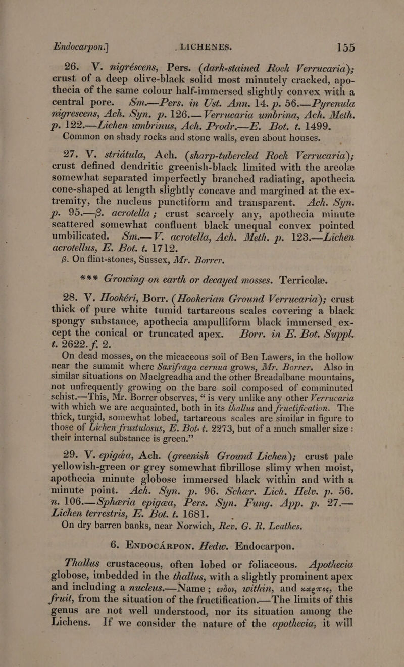 26. V. nigréscens, Pers. (dark-stained Rock V errucaria); crust of a deep olive-black solid most minutely cracked, apo- thecia of the same colour half-immersed slightly convex with a central pore. Sim.—Pers. in Ust. Ann. 14. p. 56.—Pyrenula nigrescens, Ach, Syn. p. 126.—Verrucaria umbrina, Ach. Meth. p. 122.—Lichen umbrinus, Ach. Prodr.—E. Bot. t. 1499. Common on shady rocks and stone walls, even about houses. 27. V. stridtula, Ach. (sharp-tubercled Rock Verrucaria); crust defined dendritic greenish-black limited with the areole somewhat separated imperfectly branched radiating, apothecia cone-shaped at length slightly concave and margined at the ex- tremity, the nucleus punctiform and transparent. Ach. Syn. p- 95.—8. acrotella ; crust scarcely any, apothecia minute scattered somewhat confluent black unequal convex pointed umbilicated. Sm.—V. acrotella, Ach. Meth. p. 123.—Lichen acrotellus, FE. Bot. t. 1712. 6. On flint-stones, Sussex, Mr. Borrer. *** G'rowing on earth or decayed mosses. Terricole. 28. V. Hookéri, Borr. ( Hookerian Ground Verrucaria); crust thick of pure white tumid tartareous scales covering a black spongy substance, apothecia ampulliform black immersed_ex- cept the conical or truncated apex. Borr. in E. Bot. Suppl. t. 2622. f. 2. On dead mosses, on the micaceous soil of Ben Lawers, in the hollow near the summit where Sazifraga cernua grows, Mr. Borrer. Also in similar situations on Maelgreadha and the other Breadalbane mountains, not unfrequently growing on the bare soil composed of comminuted schist.—This, Mr. Borrer observes, “is very unlike any other Verrucaria with which we are acquainted, both in its ¢hallus and fructification. The thick, turgid, somewhat lobed, tartareous scales are similar in figure to those of Lichen frustulosus, E. Bot. t. 2273, but of a much smaller size : their internal substance is green.” 29. V. epigea, Ach. (greenish Ground Lichen); crust pale yellowish-green or grey somewhat fibrillose slimy when moist, apothecia minute globose immersed black within and with a minute point. Ach. Syn. p. 96. Scher. Lich. Helv. p. 56. n. 106.—Spheria epigea, Pers. Syn. Fung. App. p. 27.— Lichen terrestris, E. Bot. t. 1681. ; On dry barren banks, near Norwich, Rev. G. R. Leathes. 6. EnpocArpon. Hedw. Endocarpon. Thallus crustaceous, often lobed or foliaceous. Apothecia globose, imbedded in the thallus, with a slightly prominent apex and including a nucleus.—Name ; ¢vdov, within, and xagres, the Jruit, from the situation of the fructification—The limits of this genus are not well understood, nor its situation among the Lichens. If we consider the nature of the apothecia, it will