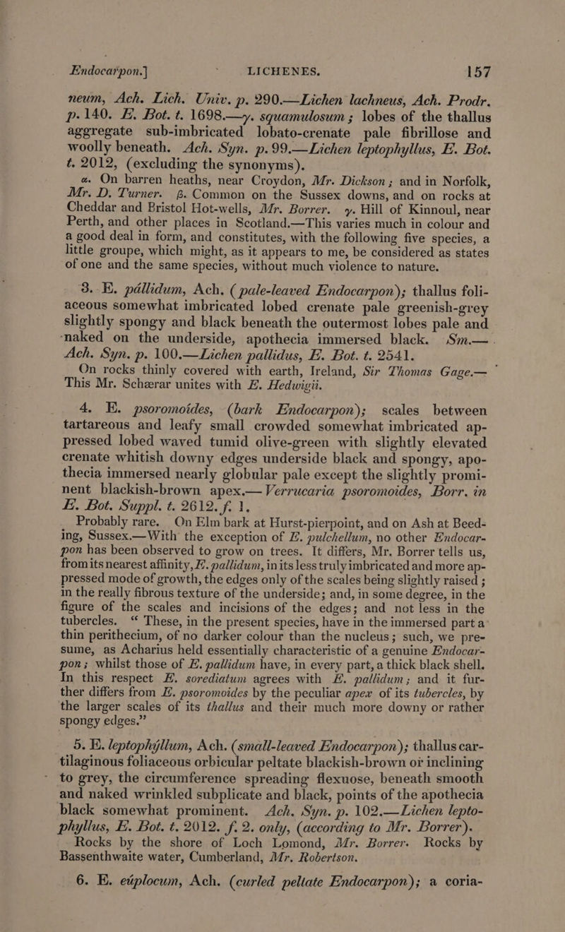 neum, Ach. Lich, Univ. p. 290.—Lichen lachneus, Ach. Prodr. p- 140. &amp;. Bot. t. 1698.—y. squamulosum ; lobes of the thallus aggregate sub-imbricated lobato-crenate pale fibrillose and woolly beneath. Ach. Syn. p.99.—Lichen leptophyllus, E. Bot. é, 2012, (excluding the synonyms). #. On barren heaths, near Croydon, Mr. Dickson ; and in Norfolk, Mr, D. Turner. ~. Common on the Sussex downs, and on rocks at Cheddar and Bristol Hot-wells, Mr. Borrer. y. Hill of Kinnoul, near Perth, and other places in Scotland.—This varies much in colour and a good deal in form, and constitutes, with the following five species, a little groupe, which might, as it appears to me, be considered as states of one and the same species, without much violence to nature. 3. KE. pallidum, Ach, ( pale-leaved Endocarpon); thallus foli- aceous somewhat imbricated lobed crenate pale greenish-grey slightly spongy and black beneath the outermost lobes pale and ‘naked on the underside, apothecia immersed black. Sm—. Ach. Syn. p. 100.—Lichen pallidus, E. Bot. t. 2541. On_ rocks thinly covered with earth, Ireland, Sir Thomas Gage.— This Mr. Scheerar unites with E. Hedwigii. 4. E. psoromoides, (bark Endocarpon); scales between tartareous and leafy small crowded somewhat imbricated ap- pressed lobed waved tumid olive-green with slightly elevated crenate whitish downy edges underside black and spongy, apo- thecia immersed nearly globular pale except the slightly promi- nent blackish-brown apex.—Verrucaria psoromoides, Borr, in &amp;. Bot. Suppl. t. 2612. f. 1, Probably rare. On Elm bark at Hurst-pierpoint, and on Ash at Beed- ing, Sussex.— With the exception of 2. pulchellum, no other Endocar- pon has been observed to grow on trees. It differs, Mr. Borrer tells us, from its nearest affinity, . pallidum, in its less truly imbricated and more ap- pressed mode of growth, the edges only of the scales being slightly raised ; in the really fibrous texture of the underside; and, in some degree, in the figure of the scales and incisions of the edges; and not less in the tubercles. ‘“ These, in the present species, have in the immersed part a thin perithecium, of no darker colour than the nucleus; such, we pre- sume, as Acharius held essentially characteristic of a genuine Endocar- pon; whilst those of E. pallidum have, in every part, a thick black shell. In this respect EH. sorediatum agrees with EH. pallidum; and it fur- ther differs from Z. psoromoides by the peculiar apex of its tubercles, by the larger scales of its thallus and their much more downy or rather spongy edges.” 5. Ei. leptophylium, Ach. (small-leaved Endocarpon); thallus car- tilaginous foliaceous orbicular peltate blackish-brown of inclining to grey, the circumference spreading flexuose, beneath smooth and naked wrinkled subplicate and black, points of the apothecia black somewhat prominent. Ach. Syn. p. 102.—Lichen lepto- phyllus, E. Bot. t. 2012. f. 2. only, (according to Mr, Borrer). Rocks by the shore of Loch Lomond, Mr. Borrer. Rocks by Bassenthwaite water, Cumberland, Mr. Robertson. 6. E. ewplocum, Ach. (curled peltate Endocarpon); a coria-