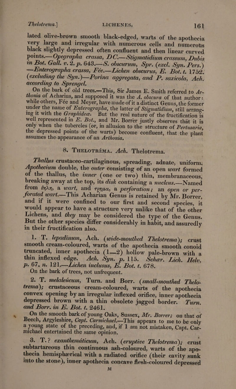 lated olive-brown smooth black-edged, warts of the apothecia very large and irregular with numerous cells and numerots black slightly depressed often confluent and then linear curved points.—Opegrapha crassa, DC.—Stigmatidium crassum, Dubis n Bot. Gall. v.2. p. 643.—S. obscurum, Spr. (excl. Syn. Pers.) —Enterographa crassa, Fée.—Lichen obscurus, E. Bot. t. 1759. (excluding the Syn.)—Porina aggregata, and P. saxicola, Ach. according ta Sprengel. On the bark of old trees.—This, Sir James E. Smith referred to Ar- thonia of Acharius, and supposed it was the A. obscura of that author : while others, Fée and Meyer, have made of it a distinct Genus, the former under the name of Enterographa, the latter of Stigmatidium, still arrang- Ing it with the Graphidee. But the real nature of the fructification is well represented in Z. Bot., and Mr. Borrer justly observes that it is only when the tubercles (or, in allusion to the structure of Pertusaria, the depressed points of the warts) become confluent, that the plant assumes the-appearance of an Arthonia, 8. THELOTRiMA. Ach. Thelotrema. Thallus crustaceo-cartilaginous, spreading, adnate, uniform: Apothecium double, the outer consisting of an open wart formed of the thallus, the inner (one or two) thin, membranaceous, breaking away at the top, its disk containing a nucleus.—Named from $yAn, a wart, and Tena, &amp; perforation; an open or per- Jorated wart—This Acharian Genus is retained by Mr. Borrer, and if it were confined to our first and second species, it would appear to have a structure very unlike that of the other Lichens, and they may be considered the type of the Genus. But the other species differ considerably in habit, and assuredly in their fructification also. 1. T. lepadinum, Ach. (wide-mouthed Thelotrema); crust smooth cream-coloured, warts of the apothecia smooth conoid truncated, inner apothecia Gen?) hollow pale-brown with a thin inflexed edge. Ach. Syn. p.115. Scher. Lich. Helv, p- 67, n. 121,—Lichen inclusus, E. Bot. t. 678. On the bark of trees, not unfrequent. 2. T. melaleticum, Turn. and Borr. (small-mouthed Thelo- trema); erustaceous cream-coloured, warts of the apothecia convex opening by an irregular inflexed orifice, inner apothecia depressed brown with a thin obsolete jagged border. Turn. and Borr. in E. Bot. t. 2461. aah On the smooth bark of young Oaks, Sussex, Mr. Borrer; on that of Beech, Argyleshire, Capt. Carmichael.—This appears to me to be only a young state of the preceding, and, if 1 am not mistaken, Capt. Car- michael entertained the same opinion. 3. T.? exanthemdticum, Ach. (eruptive Thelotrema); crust subtartareous thin continuous ash-coloured, warts of the apo- thecia hemispherical with a radiated orifice (their cavity sunk into the stone), inner apothecia concave flesh-coloured depressed M