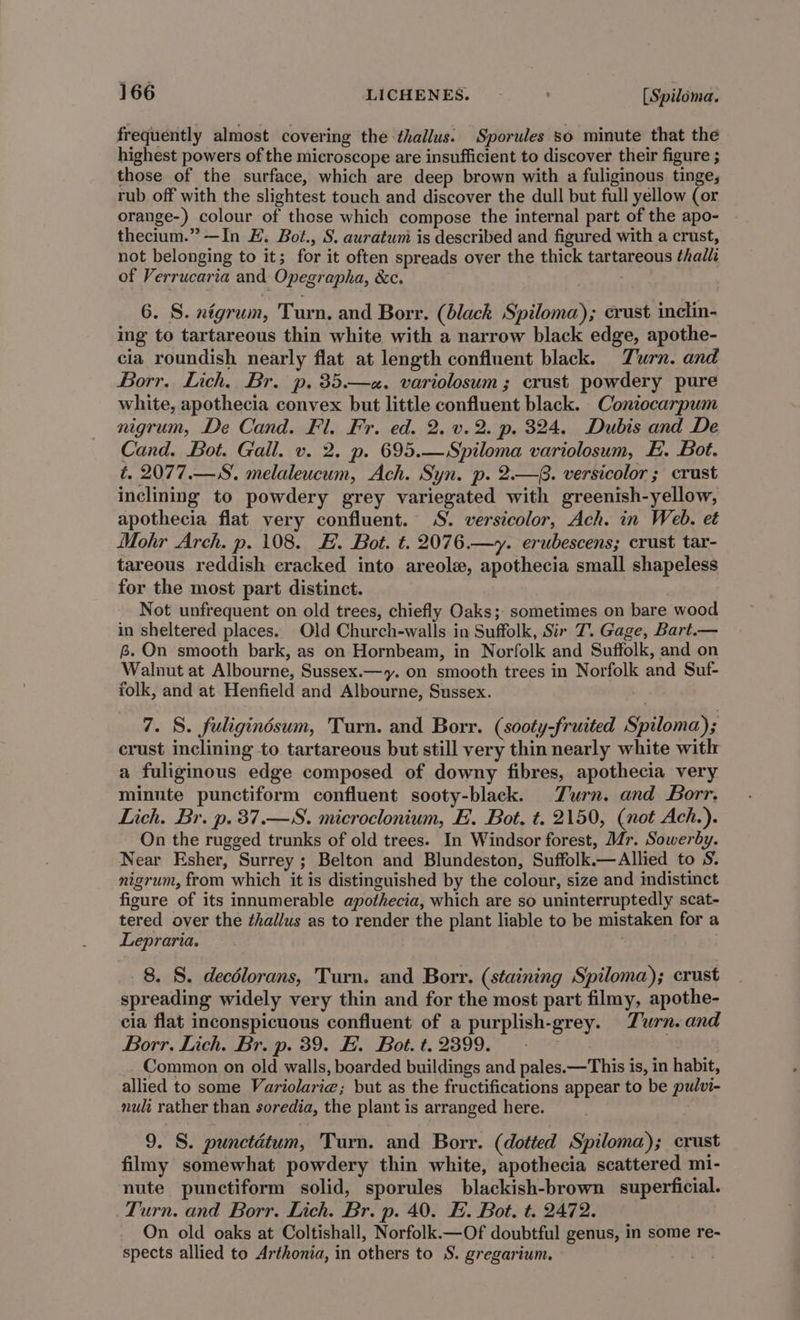frequently almost covering the thallus. Sporules 8o minute that the highest powers of the microscope are insufficient to discover their figure ; those of the surface, which are deep brown with a fuliginous tinge, rub off with the slightest touch and discover the dull but full yellow (or orange-) colour of those which compose the internal part of the apo- thecium.” —In F. Bot., S. auratum is described and figured with a crust, not belonging to it; for it often spreads over the thick tartareous thalli of Verrucaria and Opegrapha, &amp;c. 6. S. xégrum, Turn. and Borr. (black Spiloma); crust inclin- ing to tartareous thin white with a narrow black edge, apothe- cia roundish nearly flat at length confluent black. Turn. and Borr. Lich. Br. p.35.—z«. variolosum ; crust powdery pure white, apothecia convex but little confluent black. Contocarpum nigrum, De Cand. Fl. Fr. ed. 2. v.2. p. 324. Dubis and De Cand. Bot. Gall. v. 2. p. 695.—Spiloma variolosum, E. Bot. ¢. 2077.—S. melaleucum, Ach. Syn. p. 2.—8. versicolor ; crust inclining to powdery grey variegated with greenish-yellow, apothecia flat very confluent. S. versicolor, Ach. in Web. et Mohr Arch. p. 108. E. Bot. t. 2076.—y. erubescens; crust tar- tareous reddish cracked into areole, apothecia small shapeless for the most part distinct. Not unfrequent on old trees, chiefly Oaks; sometimes on bare wood in sheltered places. Old Church-walls in Suffolk, Sir T. Gage, Bart.— £. On smooth bark, as on Hornbeam, in Norfolk and Suffolk, and on Walnut at Albourne, Sussex.—y. on smooth trees in Norfolk and Suf- folk, and at Henfield and Albourne, Sussex. 7. S. fuligindsum, Turn. and Borr. (sooty-fruited Spiloma); crust inclining to tartareous but still very thin nearly white with a fuliginous edge composed of downy fibres, apothecia very minute punctiform confluent sooty-black. Turn. and Borr, Lich. Br. p.37.—S. microclonium, FE. Bot. t. 2150, (not Ach.). On the rugged trunks of old trees. In Windsor forest, Mr. Sowerby. Near Esher, Surrey ; Belton and Blundeston, Suffolk.—Allied to S. nigrum, from which it is distinguished by the colour, size and indistinct figure of its innumerable apothecia, which are so uninterruptedly scat- tered over the thallus as to render the plant liable to be mistaken for a Lepraria. : 8. S. decdlorans, Turn. and Borr. (staining Spiloma); crust spreading widely very thin and for the most part filmy, apothe- cia flat inconspicuous confluent of a purplish-grey. Zwrn. and Borr. Lich. Br. p. 39. H. Bot.t.2399. - © Common on old walls, boarded buildings and pales.—This is, in habit, allied to some Variolarie; but as the fructifications appear to be pulvi- nult rather than soredia, the plant is arranged here. 9. S. punctétum, Turn. and Borr. (dotted Spiloma); crust filmy somewhat powdery thin white, apothecia scattered mi- nute punctiform solid, sporules blackish-brown superficial. Turn. and Borr. Lich. Br. p. 40. E. Bot. t. 2472. On old oaks at Coltishall, Norfolk.—Of doubtful genus, in some re- spects allied to Arthonia, in others to S. gregarium. .