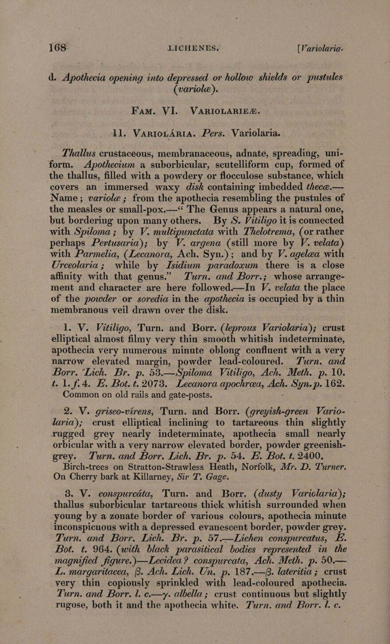 d. Apothecia opening into depressed or hollow shields or pustules (variole). Fam. VI. VARIOLARIE. 11. VARIOLARIA. Pers. Variolaria. Thallus crustaceous, membranaceous, adnate, spreading, uni- form. Apothecium a suborbicular, scutelliform cup, formed of the thallus, filled with a powdery or flocculose substance, which covers an immersed waxy disk containing imbedded thece.— Name; variole ; from the apothecia resembling the pustules of the measles or small-pox.—“ The Genus appears a natural one, but bordering upon many others. By S. Vitiligo it is connected with Spiloma; by V. multipunctata with Thelotrema, (or rather perhaps Pertusaria); by V. argena (still more by V. velata) with Parmelia, (Lecanora, Ach. Syn.); and by V. agelea with Ureeolaria; while by Isidiwm paradoxum there is a close affinity with that genus.” Turn. and Borr.; whose arrange- ment and character are here followed.—In V. velata the place of the powder or soredia in the apothecia is occupied by a thin membranous veil drawn over the disk. 1. V. Vitiligo, Turn. and Borr. (leprous Variolaria); crust elliptical almost filmy very thin smooth whitish indeterminate, apothecia very numerous minute oblong confluent with a very narrow elevated margin, powder lead-coloured. Turn. and Borr. ‘Lich. Br. p. 53.—Spiloma Vitiligo, Ach. Meth. p. 10. iw1f4. #. Bot. t. 2073. Lecanora apochrea, 26h Syn. p. 162. Common on old rails and gate-posts. 2. V. griseo-virens, Turn. and Borr. (greyish-green Vario- laria); crust elliptical inclining to tartareous thin slightly rugged grey nearly indeterminate, apothecia small nearly orbicular with a very narrow elevated border, powder greenish- grey. Turn. and Borr. Lich. Br. p. 54. E. Bot. t. 2400. Birch-trees on Stratton-Strawless Heath, Norfolk, Mr. D. Turner. On Cherry bark at Killarney, Sir T. Gage. 3. V. conspurcdta, Turn. and Borr. (dusty Variclaria); thallus suborbicular tartareous thick whitish surrounded when young by a zonate border of various colours, apothecia minute inconspicuous with a depressed evanescent border, powder grey. Turn. and Borr. Lich. Br. p. 57.—Lichen conspureatus, E. Bot. t. 964. (with black parasitical bodies represented in the magnified figure.)—Lecidea? conspurcata, Ach. Meth. p. 50.— L.. margaritacea, 8. Ach. Lich. Un. p, 187.—8. lateritia ; crust very thin copiously sprinkled with lead-coloured apothecia. Turn. and Borr. l. e.—y. albella; crust continuous but slightly rugose, both it and the apothecia white. Zurn. and Borr. l. e.