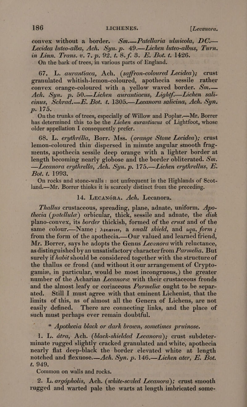 convex without a border. Sm.—FPatellaria ulmicola, DC— Lecidea luteo-alba, Ach. Syn. p. 49.—Lichen luteo-albus, Turn. in Linn. Trans. v. 7. p. 92. t. 8. f. 3. E. Bot. t. 1426. On the bark of trees, in various parts of England. 67, L. aurantiaca, Ach. (saffron-coloured Lecidea); crust granulated whitish-lemon-coloured, apothecia sessile rather convex orange-coloured with a yellow waved border. Sm.— Ach, Syn. p. 50.—Lichen aurantiacus, Lightf—Lichen sali- cinus, Schrad.—E. Bot. t. 1805.—Lecanora salicina, Ach. Syn. wb75. si On the trunks of trees, especially of Willow and Poplar.—Mr. Borrer has determined this to be the Lichen aurantiacus of Lightfoot, whose older appellation I consequently prefer. 68. L. erythrélla, Borr. Mss. (orange Stone Lecidea); crust lemon-coloured thin dispersed in minute angular smooth frag- ments, apothecia sessile deep orange with a lighter border at length becoming nearly globose and the border obliterated. Sm. —Lecanora erythrella, Ach. Syn. p. 175.—Lichen erythrellus, E. Bot. t. 1993. On rocks and stone-walls: not unfrequent in the Highlands of Scot- land.—Mr. Borrer thinks it is scarcely distinct from the preceding. 14. Lecanora. Ach. Lecanora. Thallus crustaceous, spreading, plane, adnate, uniform. Apo- thecia (patellule) orbicular, thick, sessile and adnate, the disk plano-convex, its border thickish, formed of the crust and of the same colour.—Name ; Asxaviov, a small shield, and wea, form ; from the form of the apothecia.—Our valued and learned friend, Mr. Borrer, says he adopts the Genus Lecanora with reluctance, as distinguished by an unsatisfactory characterfrom Parmelia. But surely if habit should be considered together with the structure of the thallus or frond (and without it our arrangement of Crypto- gamiz, in particular, would be most incongruous, ) the greater number of the Acharian Lecanore with their crustaceous fronds and the almost leafy or coriaceous Parmelie ought to be separ- ated. Still I must agree with that eminent Lichenist, that the limits of this, as of almost all the Genera of Lichens, are not easily defined. There are connecting links, and the place of such must perhaps ever remain doubtful. * Apothecia black or dark brown, sometimes pruinose. 1. L. dtra, Ach. (black-shielded Lecanora); crust subdeter- minate rugged slightly cracked granulated and white, apothecia nearly flat deep-black the border elevated white at length notched and flexuose.—Ach. Syn. p. 146.—Lichen ater, E. Bot. t. 949. Common on walls and rocks. _ 2. L. argdpholis, Ach. (white-scaled Lecanora); crust smooth rugged and warted pale the warts at length imbricated some-