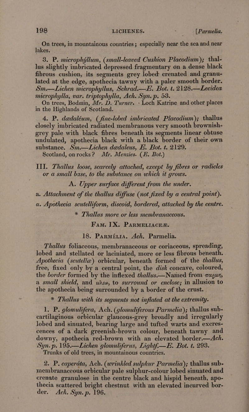 On trees, in mountainous countries ; especially near the sea and near lakes. 3. P. microphyllum, (small-leaved Cushion Placodium); thal- lus slightly imbricated depressed fragmentary on a dense black fibrous cushion, its segments grey lobed crenated and granu- lated at the edge, apothecia tawny with a paler smooth border. Sm.—Lichen microphyllus, Schrad.—E. Bot. t. 2128.—Lecidea microphylla, var. triptophylia, Ach. Syn. p. 53. On trees, Bodmin, Mr. D. Turner. - Loch Katrine and other places in the Highlands of Scotland. 4. P. dedaléum, (fine-lobed imbricated Placodium); thallus closely imbricated radiated membranous very smooth brownish- grey pale with black fibres beneath its segments linear obtuse undulated, apothecia black with a black border of their own substance. Sm.—Lichen dedaleus, EF. Bot. t. 2129. Scotland, onrocks? Mr. Menzies. (. Bot.) III. Thallus loose, scarcely attached, except by fibres or radicles or a small base, to the substance on which it grows. A. Upper surface different from the under. a. Attachment of the thallus diffuse (not fixed by a central point). a. Apothecia scutelliform, discoid, bordered, attached by the centre. * Thallus more or less membranaceous. | Fam. IX. PARMELIACEA. 18. Parmévia. Ach. Parmelia. Thallus foliaceous, membranaceous or coriaceous, spreading, lobed and stellated or laciniated, more or less fibrous beneath. ‘Apothecia (scutelle) orbicular, beneath formed of the thallus, free, fixed only by a central point, the disk concave, coloured, the border formed by the inflexed thallus—Named from zagun, a small shield, and «drew, to surround or enclose; in allusion to the apothecia being surrounded by a border of the crust. * Thallus with its segments not inflated at the extremity. 1. P. glomulifera, Ach. (glomuliferous Parmelia); thallus sub- cartilaginous orbicular glaucous-grey broadly and irregularly lobed and sinuated, bearing large and tufted warts and excres- cences of a dark greenish-brown colour, beneath tawny and downy, apothecia red-brown with an elevated border.—Ach. Syn. p. 195.—Lichen glomuliferus, Lighif.—E. Bot. t. 293. Trunks of old trees, in mountainous countries. 2. P. caperata, Ach. (wrinkled sulphur Parmelia); thallus sub- membranaceous orbicular pale sulphur-colour lobed sinuated and crenate granulose in the centre black and hispid beneath, apo- thecia scattered bright chestnut withan elevated incurved bor- der. Ach. Syn. p. 196.