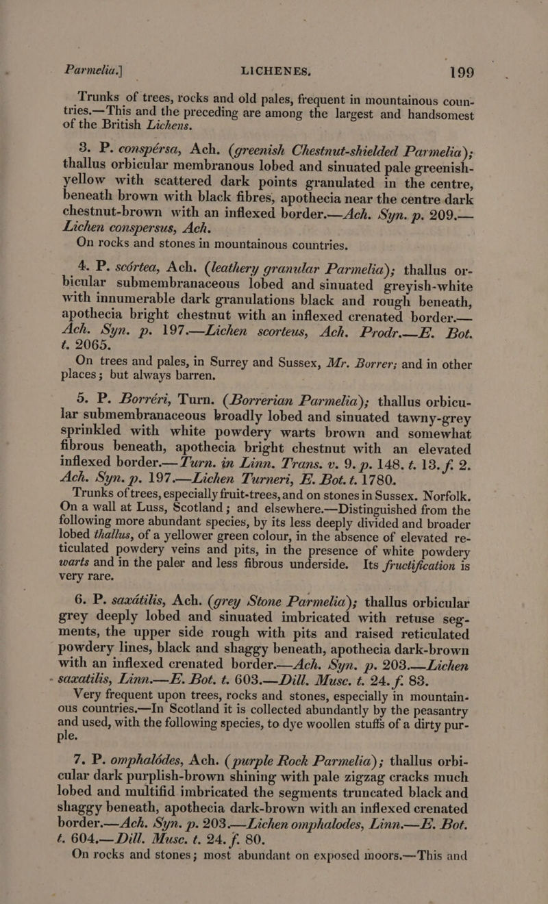 Trunks of trees, rocks and old pales, frequent in mountainous coun: tries.—This and the preceding are among the largest and handsomest of the British Lichens. 3. P. conspérsa, Ach. (greenish Chestnut-shielded Parmelia); thallus orbicular membranous lobed and sinuated pale greenish- yellow with scattered dark points granulated in the centre, beneath brown with black fibres, apothecia near the centre dark chestnut-brown with an inflexed border.—Ach. Syn. p. 209.— Lichen conspersus, Ach. — On rocks and stones in mountainous countries. 4. P. scdrtea, Ach. (leathery granular Parmelia); thallus or- bicular submembranaceous lobed and sinuated greyish-white with innumerable dark granulations black and rough beneath, apothecia bright chestnut with an inflexed crenated border.— Ach. Syn. p. 197.—Lichen scorteus, Ach. Prodr.—E. Bot. t. 2065. On trees and pales, in Surrey and Sussex, Mr. Borrer; and in other places; but always barren. o. P. Borréri, Turn. (Borrerian Parmelia); thallus orbicu- lar submembranaceous broadly lobed and sinuated tawny-grey sprinkled with white powdery warts brown and somewhat fibrous beneath, apothecia bright chestnut with an elevated inflexed border.— Turn. in Linn. Trans. v. 9. p. 148. t. 13. f. 2. Ach. Syn. p. 197.—Lichen Turneri, E. Bot. t. 1780. Trunks of trees, especially fruit-trees, and on stones in Sussex. Norfolk. On a wall at Luss, Scotland; and elsewhere.—Distinguished from the following more abundant species, by its less deeply divided and broader lobed thallus, of a yellower green colour, in the absence of elevated re- ticulated powdery veins and pits, in the presence of white powdery warts and in the paler and less fibrous underside. Its fructification is very rare. 6. P. saxdtilis, Ach. (grey Stone Parmelia); thallus orbicular grey deeply lobed and sinuated imbricated with retuse seg- ments, the upper side rough with pits and raised reticulated powdery lines, black and shaggy beneath, apothecia dark-brown with an inflexed crenated border.—Ach. Syn. p. 203.—Lichen - saxatilis, Linn.—E. Bot. t. 603.—Dill. Muse. t. 24. f. 83. Very frequent upon trees, rocks and stones, especially in mountain- ous countries.—In Scotland it is collected abundantly by the peasantry ana used, with the following species, to dye woollen stuffs of a dirty pur- ple. 7. P. omphalédes, Ach. ( purple Rock Parmelia); thallus orbi- cular dark purplish-brown shining with pale zigzag cracks much lobed and multifid imbricated the segments truncated black and shaggy beneath, apothecia dark-brown with an inflexed crenated border.—Ach. Syn. p. 203.—Lichen omphalodes, Linn —E. Bot. é. 604,— Dill. Muse. t. 24. f. 80. On rocks and stones; most abundant on exposed moors.—This and
