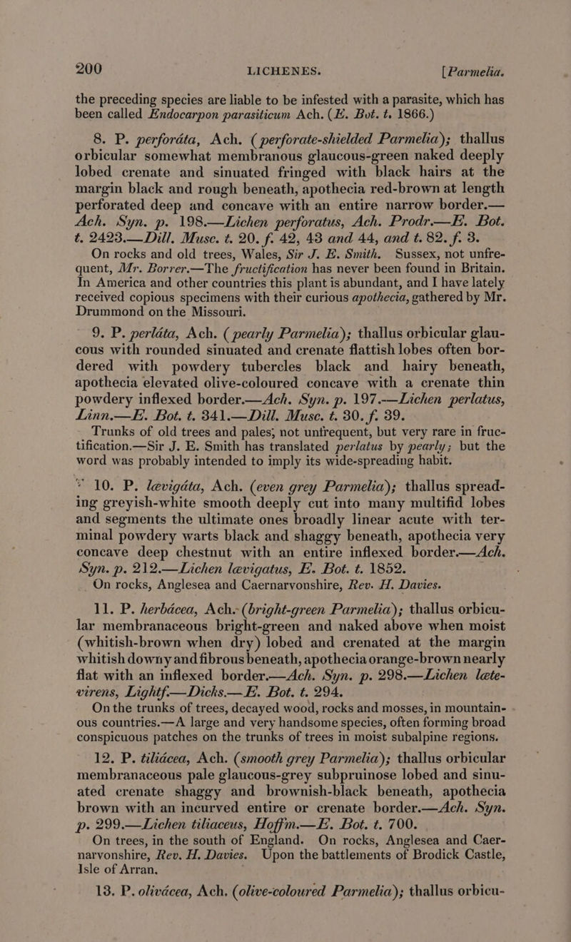the preceding species are liable to be infested with a parasite, which has been called Endocarpon parasiticum Ach. (EH. Bot. t. 1866.) 8. P. perfordta, Ach. ( perforate-shielded Parmelia); thallus orbicular somewhat membranous glaucous-green naked deeply lobed crenate and sinuated fringed with black hairs at the margin black and rough beneath, apothecia red-brown at length perforated deep and concave with an entire narrow border.— Ach. Syn. p. 198.—Lichen perforatus, Ach. Prodr.—E. Bot. t. 2423.— Dill. Muse. t. 20. f. 42, 43 and 44, and t. 82. f. 3. On rocks and old trees, Wales, Sir J. E. Smith. Sussex, not unfre- quent, Mr. Borrer.—The fructification has never been found in Britain. In America and other countries this plant is abundant, and I have lately received copious specimens with their curious apothecia, gathered by Mr. Drummond on the Missouri. 9. P. perlata, Ach. ( pearly Parmelia); thallus orbicular glau- cous with rounded sinuated and crenate flattish lobes often bor- dered with powdery tubercles black and hairy beneath, apothecia elevated olive-coloured concave with a crenate thin powdery inflexed border.—Ach. Syn. p. 197.-—Lichen perlatus, Linn.—F. Bot. t. 341.—Dill. Muse. t. 30. f. 39. Trunks of old trees and pales; not untrequent, but very rare in fruc- tification.—Sir J. E. Smith has translated perlatus by pearly; but the word was probably intended to imply its wide-spreading habit. 10. P. levigata, Ach. (even grey Parmelia); thallus spread- ing greyish-white smooth deeply cut into many multifid lobes and segments the ultimate ones broadly linear acute with ter- minal powdery warts black and shaggy beneath, apothecia very concave deep chestnut with an entire inflexed border.—Ach. Syn. p. 212.—Lichen levigatus, E. Bot. t. 1852. _ On rocks, Anglesea and Caernarvonshire, Rev. H. Davies. 11. P. herbacea, Ach. (bright-green Parmelia); thallus orbicu- lar membranaceous bright-green and naked above when moist (whitish-brown when dry) lobed and crenated at the margin whitish downy and fibrous beneath, apothecia orange-brown nearly flat with an inflexed border.—Ach. Syn. p. 298.—Lichen lete- virens, Lightf—Dicks.— FE. Bot. t. 294. : On the trunks of trees, decayed wood, rocks and mosses, in mountain- ous countries.—A large and very handsome species, often forming broad conspicuous patches on the trunks of trees in moist subalpine regions. 12. P. tilidcea, Ach. (smooth grey Parmelia); thallus orbicular membranaceous pale glaucous-grey subpruinose lobed and sinu- ated crenate shaggy and brownish-black beneath, apothecia brown with an incurved entire or crenate border.—Ach. Syn. p. 299.—Lichen tiliaceus, Hoffm.—E. Bot. t. 700. On trees, in the south of England. On rocks, Anglesea and Caer- narvonshire, Rev. H. Davies. Upon the battlements of Brodick Castle, Isle of Arran, 13. P. olivdcea, Ach. (olive-colowred Parmelia); thallus orbicu-