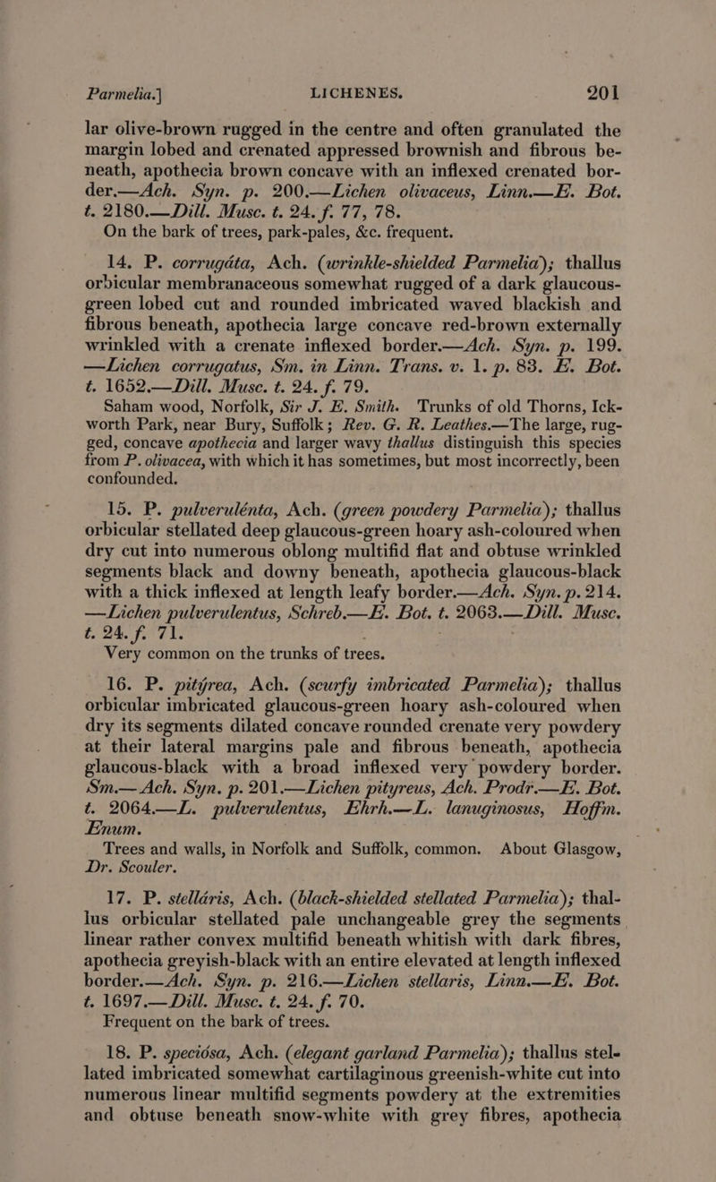 lar olive-brown rugged in the centre and often granulated the margin lobed and crenated appressed brownish and fibrous be- neath, apothecia brown concave with an inflexed crenated bor- der.—Ach. Syn. p. 200.—Lichen olivaceus, Linn.—E. Bot. t. 2180.—Dill. Muse. t. 24. f. 77, 78. On the bark of trees, park-pales, &amp;c. frequent. 14, P. corrugdta, Ach. (wrinkle-shielded Parmelia); thallus orbicular membranaceous somewhat rugged of a dark glaucous- green lobed cut and rounded imbricated waved blackish and fibrous beneath, apothecia large concave red-brown externally wrinkled with a crenate inflexed border.—Ach. Syn. p. 199. —Lichen corrugatus, Sm. in Linn. Trans. v. 1. p. 83. H. Bot. t. 1652.— Dill. Muse. t. 24. f. 79. Saham wood, Norfolk, Sir J. E. Smith. Trunks of old Thorns, Ick- worth Park, near Bury, Suffolk; Rev. G. R. Leathes.—The large, rug- ged, concave apothecia and larger wavy thallus distinguish this species from P. olivacea, with which it has sometimes, but most incorrectly, been confounded. 15. P. pulverulénta, Ach. (green powdery Parmelia); thallus orbicular stellated deep glaucous-green hoary ash-coloured when dry cut into numerous oblong multifid flat and obtuse wrinkled segments black and downy beneath, apothecia glaucous-black with a thick inflexed at length leafy border.—Ach. Syn. p. 214. —Lichen pulverulentus, Schreb—H. Bot. t. 2063.—Dill. Muse. t 25, fora ke | . Very common on the trunks of trees. 16. P. pityrea, Ach. (scurfy imbricated Parmelia); thallus orbicular imbricated glaucous-green hoary ash-coloured when dry its segments dilated concave rounded crenate very powdery at their lateral margins pale and fibrous beneath, apothecia glaucous-black with a broad inflexed very powdery border. Sm.— Ach. Syn. p. 201.—Lichen pityreus, Ach. Prodr.—E. Bot. t. 2064.—L. pulverulentus, Ehrh.—JL. lanuginosus, Hoffm. Enum. Trees and walls, in Norfolk and Suffolk, common. About Glasgow, Dr. Scouler. 17. P. stelléris, Ach. (black-shielded stellated Parmelia); thal- lus orbicular stellated pale unchangeable grey the segments | linear rather convex multifid beneath whitish with dark fibres, apothecia greyish-black with an entire elevated at length inflexed border.—Ach. Syn. p. 216.—Lichen stellaris, Linn.—E. Bot. t. 1697.— Dill. Muse. t. 24. f. 70. Frequent on the bark of trees. 18. P. speciosa, Ach. (elegant garland Parmelia); thallus stel- lated imbricated somewhat cartilaginous greenish-white cut into numerous linear multifid segments powdery at the extremities and obtuse beneath snow-white with grey fibres, apothecia