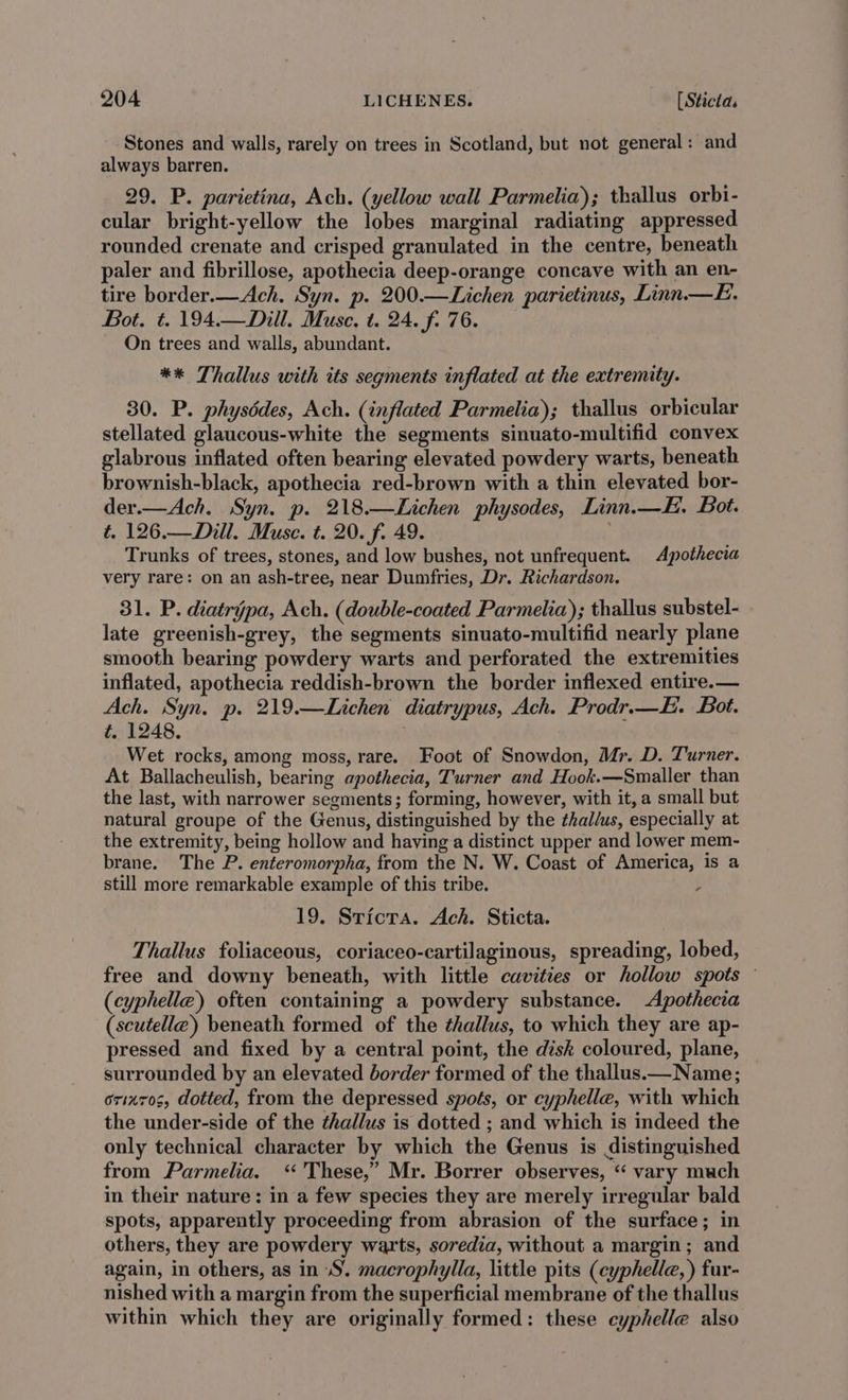 Stones and walls, rarely on trees in Scotland, but not general: and always barren. 29. P. parietina, Ach. (yellow wall Parmelia); thallus orbi- cular bright-yellow the lobes marginal radiating appressed rounded crenate and crisped granulated in the centre, beneath paler and fibrillose, apothecia deep-orange concave with an en- tire border.—Ach. Syn. p. 200.—Lichen parietinus, Linn.—H. Bot. t. 194.—Dill. Muse, t. 24. f. 76. On trees and walls, abundant. ** Thallus with its segments inflated at the extremity. 30. P. physdédes, Ach. (inflated Parmelia); thallus orbicular stellated glaucous-white the segments sinuato-multifid convex glabrous inflated often bearing elevated powdery warts, beneath brownish-black, apothecia red-brown with a thin elevated bor- der.—Ach. Syn. p. 218.—Lichen physodes, Linn.—H. Bot. ¢t. 126.—Dill. Muse. t. 20. f. 49. Trunks of trees, stones, and low bushes, not unfrequent. Apothecia very rare: on an ash-tree, near Dumfries, Dr. Richardson. 31. P. diatrypa, Ach. (double-coated Parmelia); thallus substel- late greenish-grey, the segments sinuato-multifid nearly plane smooth bearing powdery warts and perforated the extremities inflated, apothecia reddish-brown the border inflexed entire.— Ach. Syn. p. 219.—Lichen diatrypus, Ach. Prodr.—E. Bot. t 1248. Wet rocks, among moss, rare. Foot of Snowdon, Mr. D. Turner. At Ballacheulish, bearing apothecia, Turner and Hook.—Smaller than the last, with narrower segments; forming, however, with it, a small but natural groupe of the Genus, distinguished by the thal/us, especially at the extremity, being hollow and having a distinct upper and lower mem- brane. The P. enteromorpha, from the N. W. Coast of America, is a still more remarkable example of this tribe. , 19. Sricra. Ach. Sticta. Thallus foliaceous, coriaceo-cartilaginous, spreading, lobed, free and downy beneath, with little cavities or hollow spots (cyphelle) often containing a powdery substance. &lt;Apothecia (scutelle) beneath formed of the thallus, to which they are ap- pressed and fixed by a central point, the disk coloured, plane, surrounded by an elevated border formed of the thallus.— Name; orinz0s, dotted, from the depressed spots, or cyphelle, with which the under-side of the thallus is dotted ; and which is indeed the only technical character by which the Genus is distinguished from Parmelia. ‘ These,” Mr. Borrer observes, “ vary much in their nature: in a few species they are merely irregular bald spots, apparently proceeding from abrasion of the surface; in others, they are powdery warts, soredia, without a margin; and again, in others, as in \S. macrophylla, little pits (cyphelle, ) fur- nished with a margin from the superficial membrane of the thallus within which they are originally formed: these cyphelle also