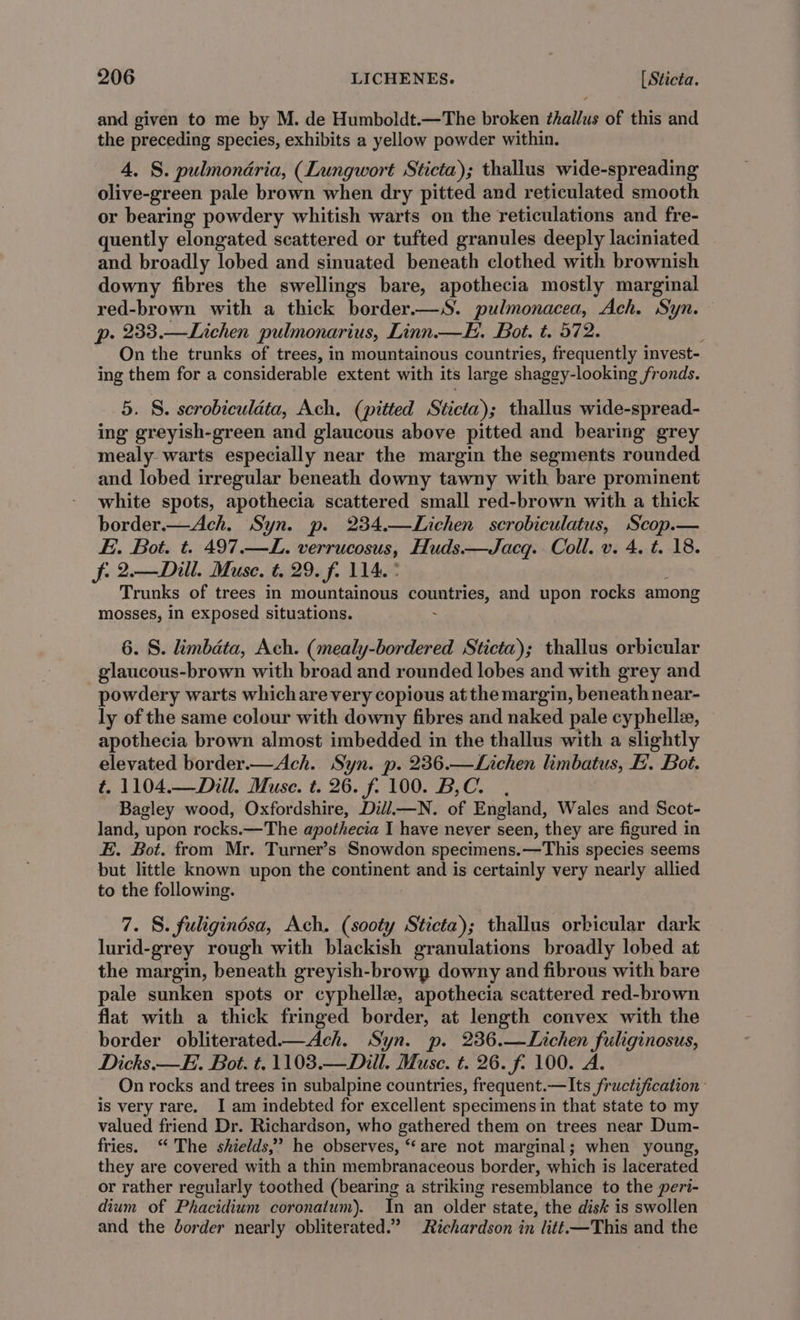 and given to me by M. de Humboldt.—The broken thallus of this and the preceding species, exhibits a yellow powder within. 4. S. pulmonéria, (Lungwort Sticta); thallus wide-spreading olive-green pale brown when dry pitted and reticulated smooth or bearing powdery whitish warts on the reticulations and fre- quently elongated scattered or tufted granules deeply laciniated and broadly lobed and sinuated beneath clothed with brownish downy fibres the swellings bare, apothecia mostly marginal red-brown with a thick border.—S. pulmonacea, Ach. Syn. p. 233.—Lichen pulmonarius, Linn. Bot. t. 572. On the trunks of trees, in mountainous countries, frequently invest- ing them for a considerable extent with its large shaggy-looking fronds. 5. §. serobiculata, Ach. (pitted Sticta); thallus wide-spread- ing greyish-green and glaucous above pitted and bearing grey mealy- warts especially near the margin the segments rounded and lobed irregular beneath downy tawny with bare prominent white spots, apothecia scattered small red-brown with a thick border.—Ach. Syn. p. 234.—Lichen scrobiculatus, Scop.— E.. Bot. t. 497.—L. verrucosus, Huds.—Jacq. Coll. v. 4. t. 18. f. 2.—Dill. Muse. t, 29. f. 114. ° Trunks of trees in mountainous countries, and upon rocks among mosses, in exposed situations. - 6. S. limbata, Ach. (mealy-bordered Sticta); thallus orbicular glaucous-brown with broad and rounded lobes and with grey and powdery warts whichare very copious at the margin, beneath near- ly of the same colour with downy fibres and naked pale cyphelle, apothecia brown almost imbedded in the thallus with a slightly elevated border.—Ach. Syn. p. 236.—Lichen limbatus, L. Bot. t. 1104.—Dill. Muse. t. 26. f. 100. B,C. , Bagley wood, Oxfordshire, Dil/——N. of England, Wales and Scot- land, upon rocks.—The apothecia I have never seen, they are figured in E. Bot. from Mr. Turner’s Snowdon specimens.—This species seems but little known upon the continent and is certainly very nearly allied to the following. 7. S. fuligindsa, Ach. (sooty Sticta); thallus orbicular dark lurid-grey rough with blackish granulations broadly lobed at the margin, beneath greyish-browp downy and fibrous with bare pale sunken spots or cyphelle, apothecia scattered red-brown flat with a thick fringed border, at length convex with the border obliterated—Ach. Syn. p. 236.—Lichen fuliginosus, Dicks.—E. Bot. t, 1103.—Dill. Muse. t. 26. f. 100. A. On rocks and trees in subalpine countries, frequent.—Its fructification is very rare. I am indebted for excellent specimens in that state to my valued friend Dr. Richardson, who gathered them on trees near Dum- fries. ‘“ The shields,’ he observes, “are not marginal; when young, they are covered with a thin membranaceous border, which is lacerated or rather regularly toothed (bearing a striking resemblance to the peri- dium of Phacidium coronatum). In an older state, the disk is swollen and the border nearly obliterated.” Richardson in litt—This and the