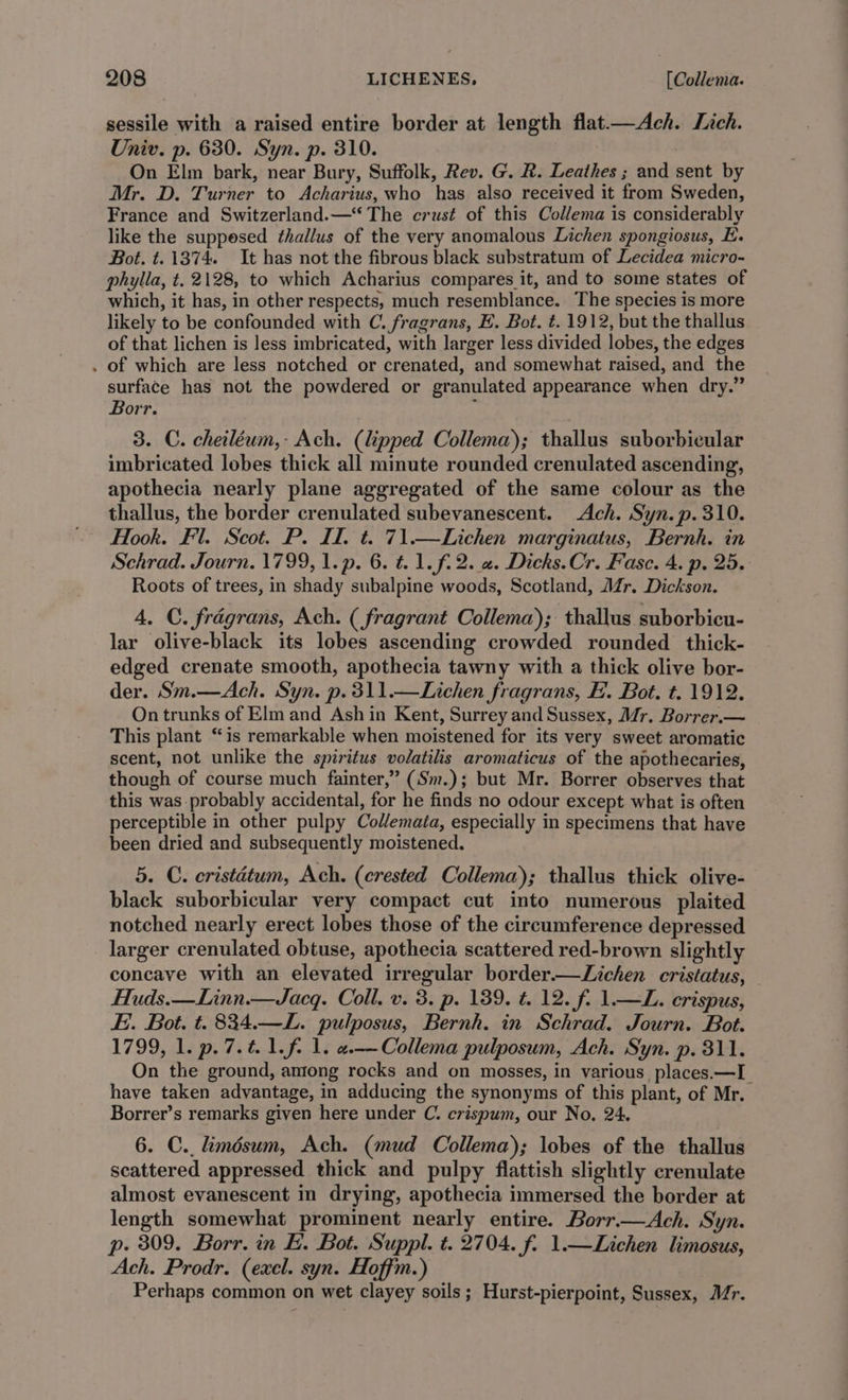sessile with a raised entire border at length flat.—Ach. Lich. Univ. p. 630. Syn. p. 310. On Elm bark, near Bury, Suffolk, Rev. G. R. Leathes ; and sent by Mr. D. Turner to Acharius, who has also received it from Sweden, France and Switzerland.— The crust of this Collema is considerably like the suppesed thallus of the very anomalous Lichen spongiosus, EH. Bot. t. 1374. It has not the fibrous black substratum of Lecidea micro- phylla, t. 2128, to which Acharius compares it, and to some states of which, it has, in other respects, much resemblance. The species is more likely to be confounded with C. fragrans, E. Bot. t. 1912, but the thallus of that lichen is less imbricated, with larger less divided lobes, the edges . of which are less notched or crenated, and somewhat raised, and the surface has not the powdered or granulated appearance when dry.” Borr. : 3. C. cheiléum,- Ach. (lipped Collema); thallus suborbicular imbricated lobes thick all minute rounded crenulated ascending, apothecia nearly plane aggregated of the same colour as the thallus, the border crenulated subevanescent. Ach. Syn. p. 310. Hook. Fl. Scot. P. II. t. 71.—Lichen marginatus, Bernh. in Schrad. Journ. 1799, l.p. 6. t=. 1.f.2. «. Dicks.Cr. Fase. 4. p. 25. Roots of trees, in shady subalpine woods, Scotland, Mr. Dickson. 4, C. fragrans, Ach. ( fragrant Collema); thallus suborbicu- lar olive-black its lobes ascending crowded rounded _thick- edged crenate smooth, apothecia tawny with a thick olive bor- der. Sm.—Ach. Syn. p.311.—Lichen fragrans, EH. Bot. t. 1912. On trunks of Elm and Ash in Kent, Surrey and Sussex, Mr. Borrer.— This plant “is remarkable when moistened for its very sweet aromatic scent, not unlike the spiritus vodatilis aromaticus of the apothecaries, though of course much fainter,” (Sm.); but Mr. Borrer observes that this was probably accidental, for he finds no odour except what is often perceptible in other pulpy Colemata, especially in specimens that have been dried and subsequently moistened. 5. C. eristdtum, Ach. (crested Collema); thallus thick olive- black suborbicular very compact cut into numerous plaited notched nearly erect lobes those of the circumference depressed larger crenulated obtuse, apothecia scattered red-brown slightly concave with an elevated irregular border— Lichen cristatus, Huds.—Linn.—Jacq. Coll. v. 3. p. 189. t. 12. f. 1.—L. crispus, Ei. Bot. t.834.—L. pulposus, Bernh. in Schrad. Journ. Bot. 1799, 1. p.7.t.1.f. 1. «.——Collema pulposum, Ach. Syn. p. 311. On the ground, among rocks and on mosses, in various places.—I_ have taken advantage, in adducing the synonyms of this plant, of Mr. Borrer’s remarks given here under C. crispum, our No. 24. 6. C.. limésum, Ach. (mud Collema); lobes of the thallus scattered appressed thick and pulpy flattish slightly crenulate almost evanescent in drying, apothecia immersed the border at length somewhat prominent nearly entire. Borr.—Ach. Syn. p. 309. Borr. in E. Bot. Suppl. t. 2704. f. 1—Lichen limosus, Ach. Prodr. (excl. syn. Hoffm.) Perhaps common on wet clayey soils; Hurst-pierpoint, Sussex, Mr.